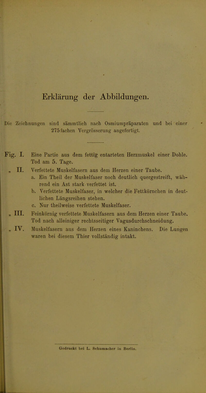 Erklärung der Abbildungen. Die Zeichnungen sind sämmtlieh nach Osmiumpräparaten und bei einer 275 fachen Vergrösserung angefertigt. Fig. I. Eine Partie aus dem fettig entarteten Herzmuskel einer Dohle. Tod am 5. Tage. „ II. Verfettete Muskelfasern aus dem Herzen einer Taube. a. Ein Theil der Muskelfaser noch deutlich quergestreift, wäh- rend ein Ast stark verfettet ist. b. Verfettete Muskelfaser, in welcher die Fettkörnchen in deut- lichen Längsreihen stehen. c. Nur theilweise verfettete Muskelfaser. „ in. Feinkörnig verfettete Muskelfasern aus dem Herzen einer Taube. Tod nach alleiniger rechtsseitiger Vagusdurchschneidung. „ IV. Muskelfasern aus dem Herzen eines Kaninchens. Die Lungen waren bei diesem Thier vollständig intakt. Gedruckt bei L. Schumiiühor in Berlin.