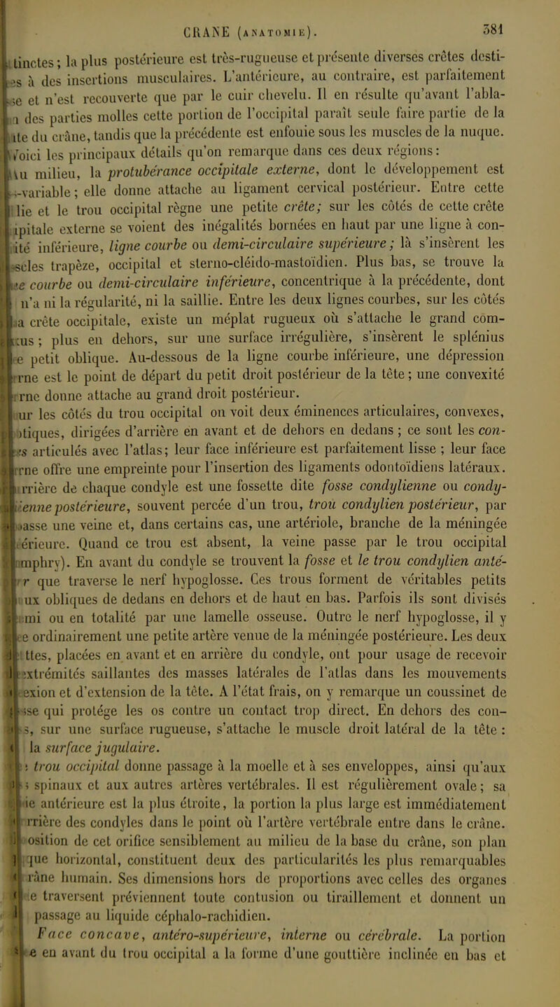 Ltinctes ; la plus postérieure est très-rugueuse et présente diverses crêtes desti- ;s à des insertions musculaires. L'antérieure, au contraire, est parfaitement e et n'est recouverte que par le cuir chevelu. Il en résulte qu'avant l'abla- i des parties molles cette porlion de l'occipital paraît seule faire partie de la te du crâne, tandis que la précédente est enfouie sous les muscles de la nuque, /oici les principaux détails qu'on remarque dans ces deux régions : Ui milieu, la protubérance occipitale externe, dont le développement est variable ; elle donne attache au ligament cervical postérieur. Entre cette I lie et le trou occipital règne une petite crête; sur les côtés de cette crête ipitale externe se voient des inégalités bornées en haut par une ligne à con- ité inférieure, ligne courbe ou demi-circulaire supérieure; là s'insèrent les •«des trapèze, occipital et sterno-cléido-mastoïdien. Plus bas, se trouve la te courbe ou demi-circulaire inférieure, concentrique à la précédente, dont n'a ni la régularité, ni la saillie. Entre les deux lignes courbes, sur les côtés ia crête occipitale, existe un méplat rugueux où s'attache le grand corn- ais ; plus en dehors, sur une surface irrégulière, s'insèrent le splénius rie petit oblique. Au-dessous de la ligne courbe inférieure, une dépression i rne est le point de départ du petit droit postérieur de la tête ; une convexité i rne donne attache au grand droit postérieur. ur les côtés du trou occipital on voit deux éminences articulaires, convexes, itiques, dirigées d'arrière en avant et de dehors en dedans ; ce sont les con- ts articulés avec l'atlas; leur face inférieure est parfaitement lisse ; leur face irrne offre une empreinte pour l'insertion des ligaments odontoïdiens latéraux, irrière de chaque condyle est une fossette dite fosse condylienne ou condy- ■enne postérieure, souvent percée d'un trou, troïi condylien postérieur, par ,»asse une veine et, dans certains cas, une artériole, branche de la méningée térieure. Quand ce trou est absent, la veine passe par le trou occipital mphrv). En avant du condyle se trouvent la fosse et le trou condylien anté- r que traverse le nerf hypoglosse. Ces trous forment de véritables petits ux obliques de dedans en dehors et de haut en bas. Parfois ils sont divisés ini ou en totalité par une lamelle osseuse. Outre le nerf hypoglosse, il y ee ordinairement une petite artère venue de la méningée postérieure. Les deux '. ttes, placées en avant et en arrière du condyle, ont pour usage de recevoir extrémités saillantes des masses latérales de l'atlas dans les mouvements exion et d'extension de la tête. A l'état frais, on y remarque un coussinet de •;se qui protège les os contre un contact trop direct. En dehors des con- s, sur une surface rugueuse, s'attache le muscle droit latéral de la tête : la surface jugulaire. trou occipital donne passage à la moelle et à ses enveloppes, ainsi qu'aux •■> spinaux et aux autres artères vertébrales. Il est régulièrement ovale ; sa ie antérieure est la plus étroite, la portion la plus large est immédiatement rrière des condyles dans le point où l'artère vertébrale entre dans le crâne, osition de cet orifice sensiblement au milieu de la base du crâne, son plan que horizontal, constituent deux des particularités les plus remarquables râne humain. Ses dimensions hors de proportions avec celles des organes e traversent préviennent toute contusion ou tiraillement et donnent un passage au liquide céphalo-rachidien. Face concave, antéro-supérieure, interne ou cérébrale. La portion e en avant du trou occipital a la forme d'une gouttière inclinée en bas et •