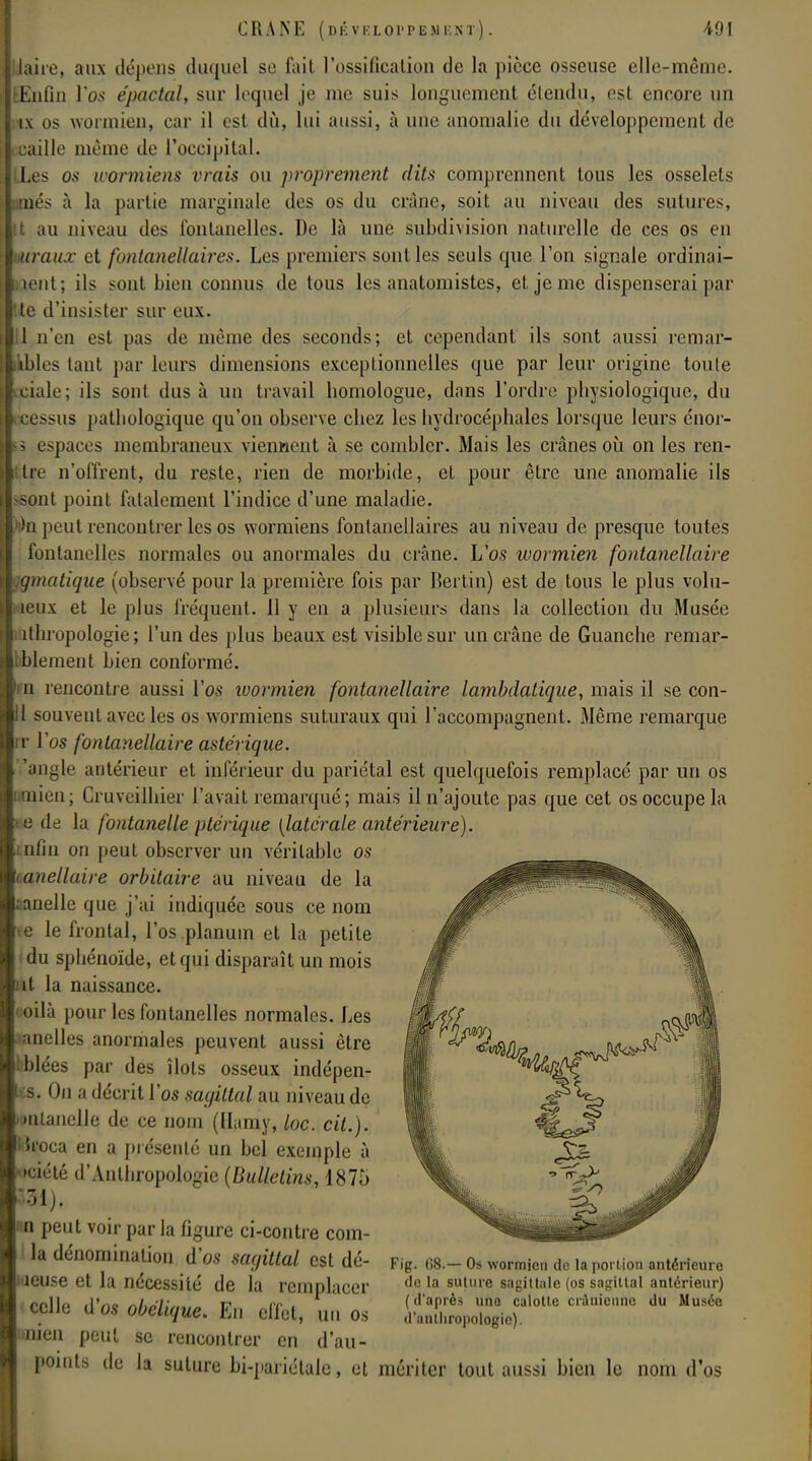 laite, aux dépens duquel se fait l'ossification de la pièce osseuse elle-même. Enfin l'os épactal, sur lequel je me suis longuement étendu, est encore un i\ os wormien, car il est dù, lui aussi, à une anomalie du développement de caille même de l'occipital. Les os wormiens vrais ou proprement dits comprennent tous les osselets paés à la partie marginale des os du crâne, soit au niveau des sutures, Il au niveau des fontanelles. De là une subdivision naturelle de ces os en Viraux et fontanellaires. Les premiers senties seuls que l'on signale ordinai- u lent ; ils sont bien connus de tous les anatomistes, et je me dispenserai par lie d'insister sur eux. Il n'en est pas de même des seconds; et cependant ils sont aussi remar- ■kbles tant par leurs dimensions exceptionnelles que par leur origine toute eciale; ils sont dus à un travail homologue, dans l'ordre physiologique, du cessus pathologique qu'on observe chez les hydrocéphales lorsque leurs énor- 5 espaces membraneux viennent à se combler. Mais les crânes où on les ren- ia n'offrent, du reste, rien de morbide, et pour être une anomalie ils sont point fatalement l'indice d'une maladie, in peut rencontrer les os wormiens fontanellaires au niveau de presque toutes fontanelles normales ou anormales du crâne. L'os wormien fontanellaire ■:gma tique (observé pour la première fois par Berlin) est de tous le plus volu- leux et le plus fréquent. 11 y en a plusieurs dans la collection du Musée bthropologie ; l'un des plus beaux est visible sur un crâne de Guanche remar- bblement bien conformé. m rencontre aussi Vos ivormien fontanellaire lambda-tique, mais il se con- l souvent avec les os wormiens suturaux qui l'accompagnent. Même remarque ir l'os fontanellaire astérique. 'angle antérieur et inférieur du pariétal est quelquefois remplacé par un os fimien; Cruveilhier l'avait remarqué; mais il n'ajoute pas que cet os occupe la e de la fontanelle ptérique [latérale antérieure). infm on peut observer un véritable os nellaire orbitaire au niveau de la ;anelle que j'ai indiquée sous ce nom e le frontal, l'os planum et la petite du sphénoïde, et qui disparaît un mois it la naissance. oilà pour les fontanelles normales. Les wnelles anormales peuvent aussi être bblées par des îlots osseux indépen- s. On a décrit l'os sagittal au niveau de tolaneUe de ce nom (Hamy, loc. cit.). iJroca en a présenté un bel exemple à >ciété d'Anthropologie (Bulletins, 1875 131). n peut voir par la figure ci-contre com- I la dénomination d'os sagittal est dé- icuse et la nécessité de la remplacer celle d'os obélique. En effet, un os mien peut se rencontrer en d'au- pomts de la suture bi-pariétalc, et mériter tout aussi bien le nom d'os Fig. 08.— Os wormien de la portion antérieure de la suture sagittale (os sagittal antérieur) (d'après uno calotte crânienne du Musée d'anthropologie).