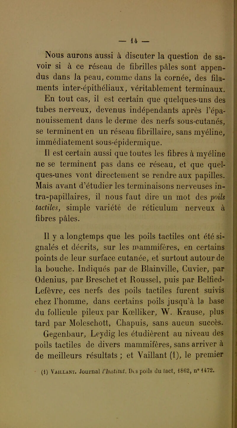 Nous aurons aussi à discuter la question de sa- voir si à ce réseau de fibrilles pâles sont appen- dus dans la peau, comme dans la cornée, des fila- ments inter-épithéliaux, véritablement terminaux. En tout cas, il est certain que quelques-uns des tubes nerveux, devenus indépendants après l'épa- nouissement dans le derme des nerfs sous-cutanés, se terminent en un réseau fibrillaire, sans myéline, immédiatement sous-épidermique. 11 est certain aussi que toutes les fibres à myéline ne se terminent pas dans ce réseau, et que quel- ques-unes vont directement se rendre aux papilles. Mais avant d'étudier les terminaisons nerveuses in- tra-papillaires, il nous faut dire un mot des poils tactiles, simple variété de réticulum nerveux à fibres pâles. Il y a longtemps que les poils tactiles ont été si- gnalés et décrits, sur les mammifères, en certains points de leur surface cutanée, et surtout autour de la bouche. Indiqués par de Blainville, Cuvier, par Odenius, par Breschet et Roussel, puis par Belfied- Lefèvre, ces nerfs des poils tactiles furent suivis chez rhomme, dans certains poils jusqu'à la base du follicule pileux par Kœlliker, W. Krause, plus tard par Moleschott, Chapuis, sans aucun succès. Gegenbaur, Leydig les étudièrent au niveau des poils tactiles de divers mammifères, sans arriver à de meilleurs résultats ; et Vaillant (1), le premier (1) Vaillant. Journal l'lubtUut. Dis poils du lact, 1862, n 1472.