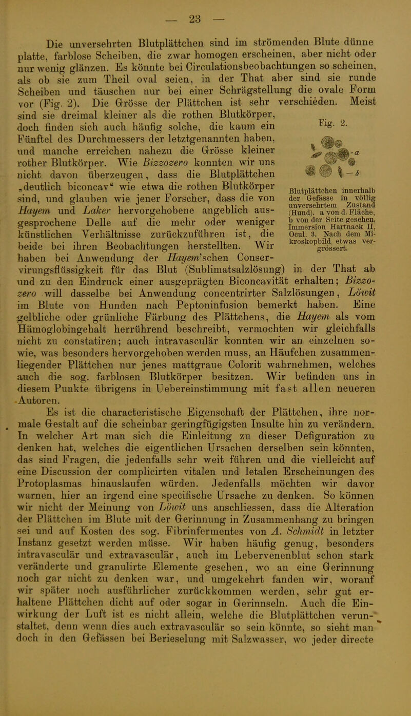 — 28 — Die unversehrten Blutplättchen sind im strömenden Blute dünne platte, farblose Scheiben, die zwar homogen erscheinen, aber nicht oder nur wenig glänzen. Es könnte bei Circulationsbeobachtungen so scheinen, als ob sie zum Theil oval seien, in der That aber sind sie runde Scheiben und täuschen nur bei einer Schrägstellung die ovale Form vor (Fig. 2). Die Grösse der Plättchen ist sehr verschieden. Meist sind sie dreimal kleiner als die rothen Blutkörper, doch finden sich auch häufig solche, die kaum ein Fünftel des Durchmessers der letztgenannten haben, und manche erreichen nahezu die Grösse kleiner rother Blutkörper. Wie Bizzozero konnten wir uns nicht davon überzeugen, dass die Blutplättchen „deutlich biconcav wie etwa die rothen Blutkörper sind, und glauben wie jener Forscher, dass die von Hayem und Laker hervorgehobene angeblich aus- gesprochene Delle auf die mehr oder weniger künstlichen Verhältnisse zurückzuführen ist, die beide bei ihren Beobachtungen herstellten. Wir haben bei Anwendung der Hayem''sGhen Conser- virungsflüssigkeit für das Blut (Sublimatsalzlösung) in der That ab und zu den Eindruck einer ausgeprägten Biconcavität erhalten; Bizzo- zero will dasselbe bei Anwendung concentrirter Salzlösungen, Lötvit im Blute von Hunden nach Peptoninfusion bemerkt haben. Eine gelbliche oder grünliche Färbung des Plättchens, die Hayem als vom Hämoglobingehalt herrührend beschreibt, vermochten wir gleichfalls nicht zu constatiren; auch intravasculär konnten wir an einzelnen so- wie, was besonders hervorgehoben werden muss, an Häufchen zusammen- liegender Plättchen nur jenes mattgraue Colorit wahrnehmen, welches auch die sog. farblosen Blutkörper besitzen. Wir befinden uns in diesem Punkte übrigens in üebereinstimmung mit fast allen neueren Autoren. Es ist die characteristische Eigenschaft der Plättchen, ihre nor- , male Gestalt auf die scheinbar geringfügigsten Insulte hin zu verändern. In welcher Art man sich die Einleitung zu dieser Defiguration zu <lenken hat, welches die eigentlichen Ursachen derselben sein könnten, das sind Fragen, die jedenfalls sehr weit führen und die vielleicht auf eine Discussion der complicirten vitalen und letalen Erscheinungen des Protoplasmas hinauslaufen würden. Jedenfalls möchten wir davor warnen, hier an irgend eine specifische Ursache zu denken. So können wir nicht der Meinung von Löivit uns anschliessen, dass die Alteration der Plättchen im Blute mit der Gerinnung in Zusammenhang zu bringen sei und auf Kosten des sog. Fibrinfermentes von A. Schmidt in letzter Instanz gesetzt werden müsse. Wir haben häufig genug, besonders intravasculär und extravasculär, auch im Lebervenenblut schon stark veränderte und granulirte Elemente gesehen, wo an eine Gerinnung noch gar nicht zu denken war, und umgekehrt fanden wir, worauf wir später noch ausführlicher zurückkommen werden, sehr gut er- haltene Plättchen dicht auf oder sogar in Gerinnseln. Auch die Ein- wirkung der Luft ist es nicht allein, welche die Blutplättchen verun- staltet, denn wenn dies auch extravasculär so sein könnte, so sieht man ^ doch in den Gefässen bei Berieselung mit Salzwasser, wo jeder directe Fig. 2. Blutplättchen innerhalb der Gefässe in völlig unversehrtem Zustand (Hund), a von d. Fläche, b von der Seite gesehen. Immersion Hartnack II, Ocul. 3. Nach dem Mi- kroskopbild etwas ver- grössert.