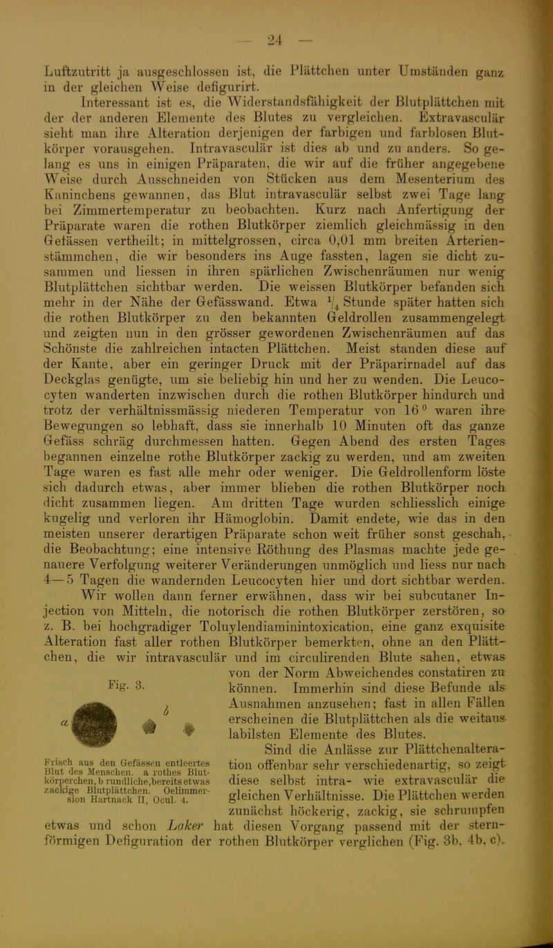 Luftzutritt ja ausgeschlossen ist, die Plättclien unter Umständen ganz in der gleichen Weise defigurirt. Interessant ist es, die Widerstandsfähigkeit der Blutplättchen mit der der anderen Elemente des Blutes zu vergleichen. Extravasculär sieht man ihre Alteration derjenigen der farbigen und farblosen Blut- körper vorausgehen. Intravasculär ist dies ab und zu anders. So ge- lang es uns in einigen Präparaten, die wir auf die früher angegebene Weise durch Ausschneiden von Stücken aus dem Mesenterium des Kaninchens gewannen, das Blut intravasculär selbst zwei Tage lang bei Zimmertemperatur zu beobachten. Kurz nach Anfertigung der Präparate waren die rothen Blutkörper ziemlich gleichmässig in den Gelassen vertheilt; in mittelgrossen, circa 0,01 mm breiten Arterien- stämmchen, die wir besonders ins Auge fassten, lagen sie dicht zu- sammen und Hessen in ihren spärlichen Zwischenräumen nur wenig Blutplättchen sichtbar werden. Die weissen Blutkörper befanden sich mehr in der Nähe der Gefässwand. Etwa \ Stunde später hatten sich die rothen Blutkörper zu den bekannten Geldrollen zusammengelegt und zeigten nun in den grösser gewordenen Zwischenräumen auf das Schönste die zahlreichen intacten Plättchen. Meist standen diese auf der Kante, aber ein geringer Druck mit der Präparirnadel auf das Deckglas genügte, um sie beliebig hin und her zu wenden. Die Leuco- cyten wanderten inzwischen durch die rothen Blutkörper hindurch und trotz der verhältnissmässig niederen Temperatur von 16° waren ihre Bewegungen so lebhaft, dass sie innerhalb 10 Minuten oft das ganze Gefäss schräg durchmessen hatten. Gegen Abend des ersten Tages begannen einzelne rothe Blutkörper zackig zu werden, und am zweiten Tage waren es fast alle mehr oder weniger. Die Geldrollenform löste sich dadurch etwas, aber immer blieben die rothen Blutkörper noch dicht zusammen liegen. Am dritten Tage wurden schliesslich einige kugelig und verloren ihr Hämoglobin. Damit endete; wie das in den meisten unserer derartigen Präparate schon weit früher sonst geschah, die Beobachtung; eine intensive Röthung des Plasmas machte jede ge- nauere Verfolgung weiterer Veränderungen unmöglich und liess nur nach 4—5 Tagen die wandernden Leucocyten hier und dort sichtbar werden. Wir wollen dann ferner erwähnen, dass wir bei subcutaner In- jection von Mitteln, die notorisch die rothen Blutkörper zerstören, so z. B. bei hochgradiger Toluylendiaminintoxication, eine ganz exquisite Alteration fast aller rothen Blutkörper bemerkten, ohne an den Plätt- chen, die wir intravasculär und im circulirenden Blute sahen, etwas von der Norm Abweichendes constatiren zu Fig. 3. können. Immerhin sind diese Befunde als j Ausnahmen anzusehen; fast in allen Fällen erscheinen die Blutplättchen als die weitaus labilsten Elemente des Blutes. Sind die Anlässe zur Plättchenaltera- Frisch aus den Gefässen entleertes tiou offenbar sehr verschiedenartig, so zeigt Blut des Menschen, a rotlies Blut- n , • , • i- j- körperchen,b rundliche.bereitsetwas diese selbst mtra- Wie extravascular die 'slonTaSfiT' OcSl T' gleichen Verhältnisse. Die Plättchen werden zunächst höckerig, zackig, sie schrumpfen etwas und schon Laker hat diesen Vorgang passend mit der stern- förmigen Defiguration der rothen Blutkörper verglichen (Fig. 3b, 4b, c).