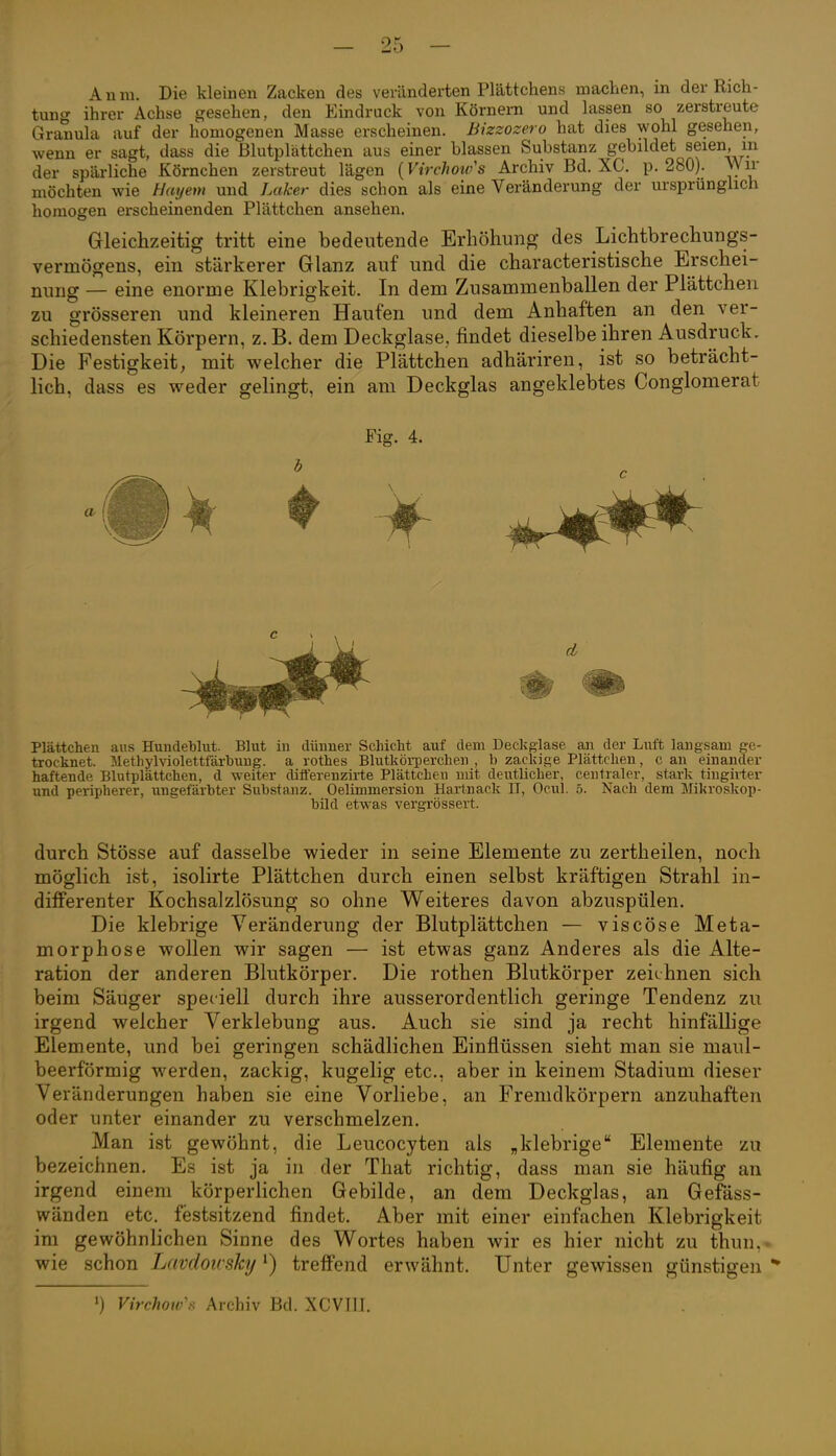 Anm. Die kleinen Zacken des veränderten Plättchens machen, in der Rich- tung ihrer Achse gesehen, den Eindruck von Körnem und lassen so zerstreute Granula auf der homogenen Masse erscheinen. Bizzozero hat dies wohl gesehen, wenn er sagt, dass die Blutplättchen aus einer blassen Substanz gebildet seien m der spärliche Körnchen zerstreut lägen {Virchow's Archiv Bd. XC. p. 280). \)ir möchten wie Hayem und Laker dies schon als eine Veränderung der ursprunglich homogen erscheinenden Plättchen ansehen. Gleichzeitig tritt eine bedeutende Erhöhung des Lichtbrechungs- vermögens, ein stärkerer Glanz auf und die characteristische Erschei- nung — eine enorme Klebrigkeit. In dem Zusammenballen der Plättchen zu grösseren und kleineren Haufen und dem Anhaften an den ver- schiedensten Körpern, z. B. dem Deckglase, findet dieselbe ihren Ausdruck. Die Festigkeit, mit welcher die Plättchen adhäriren, ist so beträcht- lich, dass es weder gelingt, ein am Deckglas angeklebtes Conglomerat Fig. 4. # m Plättchen aus Hundeblut. Blut in dünner Schicht auf dem Deckgiase an der Luft langsam ge- trocknet. Methylviolettfärbung, a rothes Blutkörperchen , b zackige Plättchen, c au einander haftende Blutplättchen, d weiter differenzirte Plättchen mit deutlicher, centraler, stark tingivter und peripherer, ungefärbter Substanz. Oelimmersion Hartnack II, Ocul. 5. Nach dem Mikroskop- bild etwas vergrössert. durch Stösse auf dasselbe wieder in seine Elemente zu zertheilen, noch möglich ist, isolirte Plättchen durch einen selbst kräftigen Strahl in- differenter Kochsalzlösung so ohne Weiteres davon abzuspülen. Die klebrige Veränderung der Blutplättchen — viscöse Meta- morphose wollen wir sagen — ist etwas ganz Anderes als die Alte- ration der anderen Blutkörper. Die rothen Blutkörper zeichnen sich beim Säuger speciell durch ihre ausserordentlich geringe Tendenz zu irgend welcher Verklebung aus. Auch sie sind ja recht hinfällige Elemente, und bei geringen schädlichen Einflüssen sieht man sie maul- beerförmig werden, zackig, kugelig etc., aber in keinem Stadium dieser Veränderungen haben sie eine Vorliebe, an Fremdkörpern anzuhaften oder unter einander zu verschmelzen. Man ist gewöhnt, die Leucocyten als „klebrige Elemente zu bezeichnen. Es ist ja in der That richtig, dass man sie häufig an irgend einem körperlichen Gebilde, an dem Deckglas, an Gefäss- wänden etc. festsitzend findet. Aber mit einer einfachen Klebrigkeit im gewöhnlichen Sinne des Wortes haben wir es hier nicht zu thun,. wie schon Lavdoirsky ^) treffend erwähnt. Unter gewissen günstigen