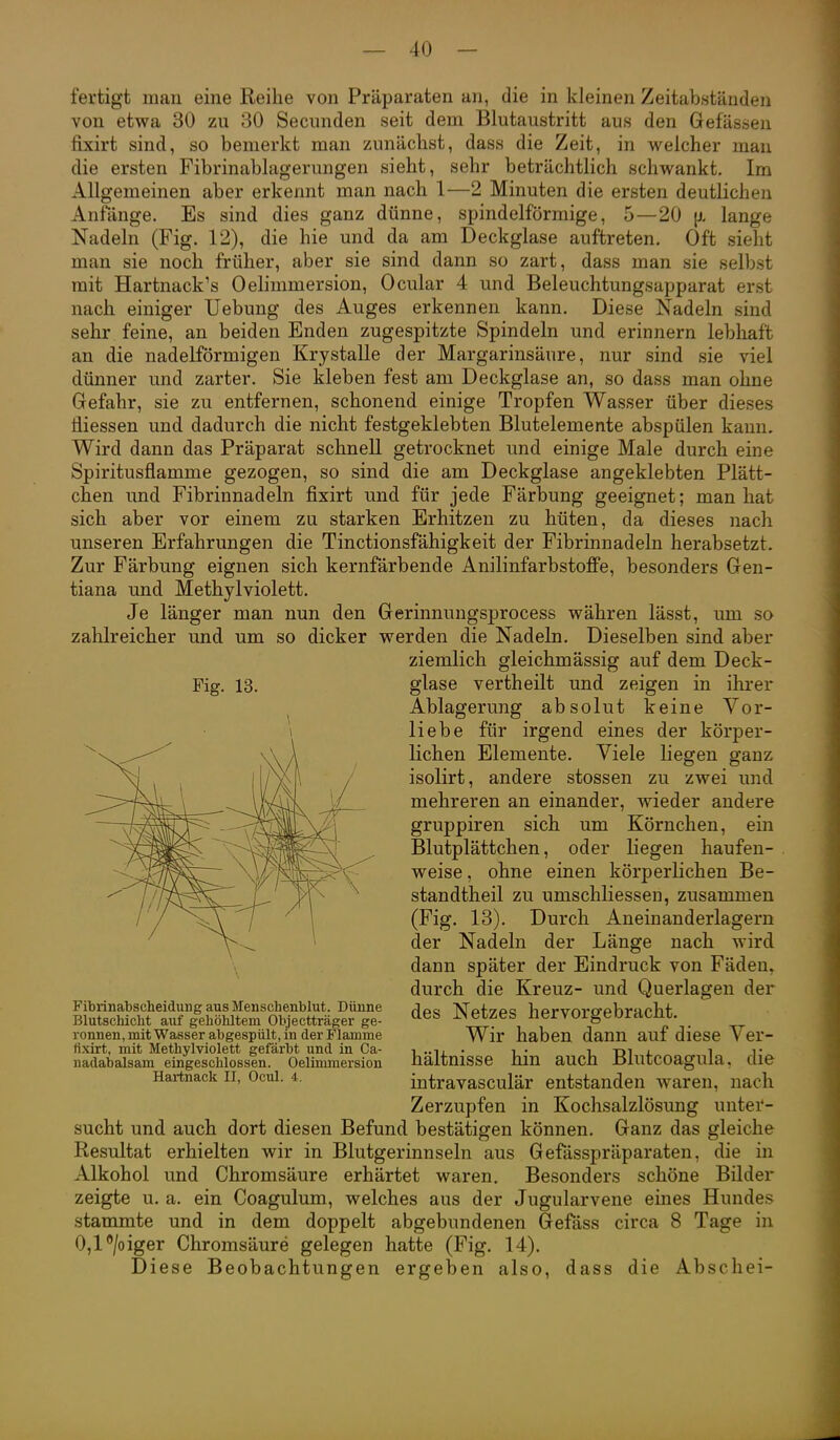 fertigt man eine Reihe von Präparaten an, die in kleinen Zeitabständen von etwa 30 zu 30 Secunden seit dem Blutaustritt aus den Gefässen fixirt sind, so bemerkt man zunächst, dass die Zeit, in welcher man die ersten Fibrinablagerungen sieht, sehr beträchtlich schwankt. Im Allgemeinen aber erkennt man nach 1—2 Minuten die ersten deutlichen Anfange. Es sind dies ganz dünne, spindelförmige, 5—20 [s. lange Nadeln (Fig. 12), die hie und da am Deckglase auftreten. Oft sieht man sie noch früher, aber sie sind dann so zart, dass man sie selbst mit Hartnack's Oelimmersion, Ocular 4 und Beleuchtungsapparat erst nach einiger Uebung des Auges erkennen kann. Diese Nadeln sind sehr feine, an beiden Enden zugespitzte Spindeln und erinnern lebhaft an die nadeiförmigen Krystalle der Margarinsäure, nur sind sie viel dünner und zarter. Sie kleben fest am Deckglase an, so dass man ohne Gefahr, sie zu entfernen, schonend einige Tropfen Wasser über dieses iiiessen und dadurch die nicht festgeklebten Blutelemente abspülen kann. Wird dann das Präparat schnell getrocknet und einige Male durch eine Spiritusflamme gezogen, so sind die am Deckglase angeklebten Plätt- chen imd Fibrinnadeln fixirt und für jede Färbung geeignet; man hat sich aber vor einem zu starken Erhitzen zu hüten, da dieses nach unseren Erfahrungen die Tinctionsfähigkeit der Fibrinnadeln herabsetzt. Zur Färbung eignen sich kernfärbende Anilinfarbstofi'e, besonders Gen- tiana und Methylviolett. Je länger man nun den Gerinnungsprocess währen lässt, um so zahlreicher und um so dicker werden die Nadeln. Dieselben sind aber ziemlich gleichmässig auf dem Deck- glase vertheilt und zeigen in ihrer Ablagerung absolut keine Vor- liebe für irgend eines der körper- lichen Elemente. Viele liegen ganz isolirt, andere stossen zu zwei und mehreren an einander, wieder andere gruppiren sich um Körnchen, ein Blutplättchen, oder liegen haufen- weise , ohne einen körperlichen Be- standtheil zu umschliessen, zusammen (Fig. 13). Durch Aneinanderlagern der Nadeln der Länge nach wird, dann später der Eindruck von Fäden, durch die Kreuz- und Querlagen der des Netzes hervorgebracht. Wir haben dann auf diese Ver- hältnisse hin auch Blutcoagula, die intravasculär entstanden waren, nach Zerzupfen in Kochsalzlösung unter- sucht und auch dort diesen Befund bestätigen können. Ganz das gleiche Resultat erhielten wir in Blutgerinnseln aus Gefässpräparaten, die in Alkohol und Chromsäure erhärtet waren. Besonders schöne Bilder zeigte u. a. ein Coagulum, welches aus der Jugularvene eines Hundes stammte und in dem doppelt abgebundenen Gefäss circa 8 Tage in Ojl^/oiger Chromsäure gelegen hatte (Fig. 14). Diese Beobachtungen ergeben also, dass die Abscliei- Fig. 13. Fibrinabscheidung aus Menschenblut. Dünne Blutschicht auf gehöhltem Objectträger ge- ronnen, mit Wasser abgespült, in der Flamme fixirt, mit Methylviolett gefärbt und in Ca- nadabalsam eingeschlossen. Oelimmersion Hartnack II, Ocul. 4.