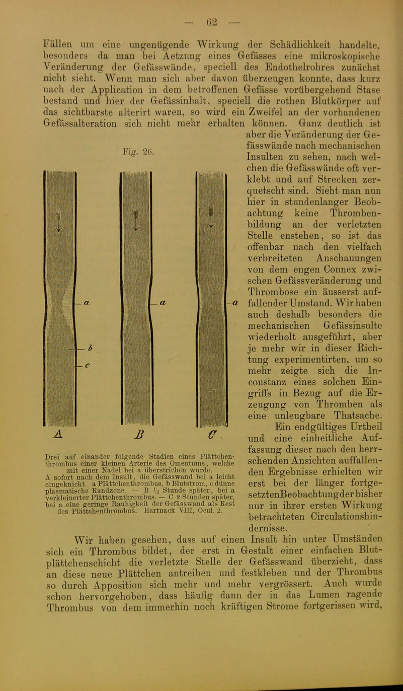 Fällen um eine ungenügende Wirkung der Schädlichkeit handelte, besonders da man bei Aetzung eines Gefässes eine mikroskopische Veränderung der Gefässwände, speciell des Endothelrohres zunächst nicht sieht. Wenn man sich aber davon überzeugen konnte, dass kurz nach der Application in dem betroffenen Gefässe vorübergehend Stase bestand und hier der Gefässinhalt, speciell die rothen Blutkörper auf das sichtbarste alterirt waren, so wird ein Zweifel an der vorhandenen Gefässalteration sich nicht mehr erhalten können. Ganz deutlich ist aber die Veränderung der Ge- Fig. 26. mmmm A ■ et -a W''W'''- '4 fässwände nach mechanischen Insulten zu sehen, nach wel- chen die Gefässwände oft ver- klebt und auf Strecken zer- quetscht sind. Sieht man nun hier in stundenlanger Beob- achtung keine Thromben- bildung an der verletzten Stelle enstehen, so ist das offenbar nach den vielfach verbreiteten Anschauungen von dem engen Connex zwi- schen Gefässveränderung und Thrombose ein äusserst auf- fallender Umstand. Wir haben auch deshalb besonders die mechanischen Gefässinsulte wiederholt ausgeführt, aber je mehr wir in dieser Rich- tung experimentirten, um so mehr zeigte sich die In- constanz eines solchen Ein- griffs in Bezug auf die Er- zeugung von Thromben als eine unleugbare Thatsache. Ein endgültiges Urtheil und eine einheitliche Auf- fassung dieser nach den herr- schenden Ansichten auffallen- den Ergebnisse erhielten wir erst bei der länger fortge- setztenBeobachtungder bisher nur in ihrer ersten Wirkung betrachteten Circulationshin- dernisse. Wir haben gesehen, dass auf einen Insult hin unter Umständen sich ein Thrombus bildet, der erst in Gestalt einer einfachen Blut- plättchenschicht die verletzte Stelle der Gefässwand überzieht, dass an diese neue Plättchen antreiben und festkleben und der Thrombus so durch Apposition sich mehr und mehr vergrössert. Auch wurde schon hervorgehoben, dass häufig dann der in das Lumen ragende Thrombus von dem immerhin noch kräftigen Strome fortgerissen wird, a Drei auf einander folgende Stadien eines Plätt.chen- tlirombus einer kleinen Arterie des Omentums, welclie mit einer Nadel bei a überstrichen wurde. A sofort nach dem Insult, die Gefässwand bei a leicht eingeknickt, a Plättchenthrombus, b Blutstrom, c dünne plasmatische Randzone. — B 1/2 Stunde später, bei a verkleinerter Plättchenthrombus. — 02 Stunden später, bei a eine geringe Rauhigkeit der Gefässwand als Rest