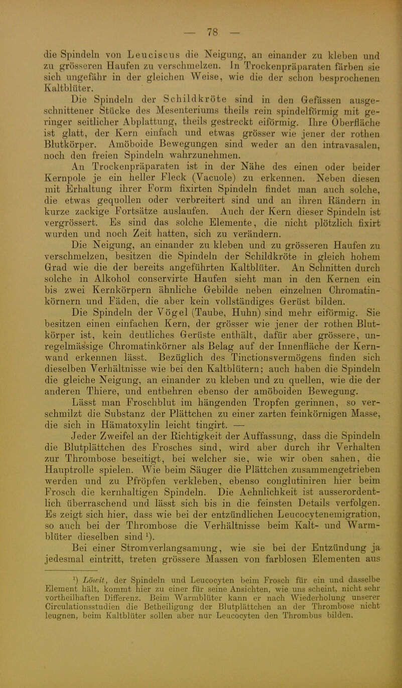 die Spindeln von Leuciscns die Neigung, an einander zu kleben und zu grösseren Haufen zu verschmelzen. In Trockenpräparaten färben öie sich ungefähr in der gleichen Weise, wie die der schon besprochenen Kaltblüter. Die Spindeln der Schildkröte sind in den Gefässen ausge- schnittener Stücke des Mesenteriums theils rein spindelförmig mit ge- ringer seitlicher Abplattung, theils gestreckt eiförmig. Ihre Oberfläche ist glatt, der Kern einfach und etwas grösser wie jener der rothen Blutkörper. Amöboide Bewegungen sind weder an den intravasalen, noch den freien Spindeln wahrzunehmen. An Trockenpräparaten ist in der Nähe des einen oder beider Kernpole je ein heller Fleck (Vacuole) zu erkennen. Neben diesen mit Erhaltung ihrer Form fixirten Spindeln findet man auch solche, die etwas gequollen oder verbreitert sind und an ihren Rändern in kurze zackige Fortsätze auslaufen. Auch der Kern dieser Spindeln ist vergrössert. Es sind das solche Elemente, die nicht plötzlich fixirt wurden und noch Zeit hatten, sich zu verändern. Die Neigung, an einander zu kleben und zu grösseren Haufen zu verschmelzen, besitzen die Spindeln der Schildkröte in gleich hohem Grad wie die der bereits angeführten Kaltblüter. An Schnitten durch solche in Alkohol conservirte Haufen sieht man in den Kernen ein bis zwei Kernkörpern ähnliche Gebilde neben einzelnen Chromatin- körnern und Fäden, die aber kein vollständiges Gerüst bilden. Die Spindeln der Vögel (Taube, Huhn) sind mehr eiförmig. Sie besitzen einen einfachen Kern, der grösser wie jener der rothen Blut- körper ist, kein deutliches Gerüste enthält, dafür aber grössere, un- regelmässige Chromatinkörner als Belag auf der Innenfläche der Kern- wand erkennen lässt. Bezüglich des Tinctionsvermögens finden sich dieselben Verhältnisse wie bei den Kaltblütern; auch haben die Spindeln die gleiche Neigung, an einander zu kleben und zu quellen, wie die der anderen Thiere, und entbehren ebenso der amöboiden Bewegung. Lässt man Froschblut im hängenden Tropfen gerinnen, so ver- schmilzt die Substanz der Plättchen zu einer zarten feinkörnigen Masse, die sich in Hämatoxylin leicht tingirt. — Jeder Zweifel an der Richtigkeit der Auffassung, dass die Spindeln die Blutplättchen des Frosches sind, wird aber durch ihr Verhalten zur Thrombose beseitigt, bei welcher sie, wie wir oben sahen, die Hauptrolle spielen. Wie beim Säuger die Plättchen zusammengetrieben werden und zu Pfröpfen verkleben, ebenso conglutiniren hier beim Frosch die kernhaltigen Spindeln. Die Aehnlichkeit ist ausserordent- lich überraschend und lässt sich bis in die feinsten Details verfolgen. Es zeigt sich hier, dass wie bei der entzündlichen Leucocytenemigration, so auch bei der Thrombose die Verhältnisse beim Kalt- und Warm- blüter dieselben sind Bei einer Stromverlangsamung, wie sie bei der Entzündung ja jedesmal eintritt, treten grössere Massen von farblosen Elementen aus ^) Löivit, der Spindeln und Leucocyten beim Frosch für ein und dasselbe Element hält, kommt hier zu einer für seine Ansichten, wie uns scheint, nicht sehr vortheilhaften Differenz. Beim Warmblüter kann er nach Wiederholung unserer Circulationsstudien die Betheiligung der Blutplättchen an der Thrombose nicht leugnen, beim Kaltblüter sollen aber nur Leucocyten den Thrombus bilden.