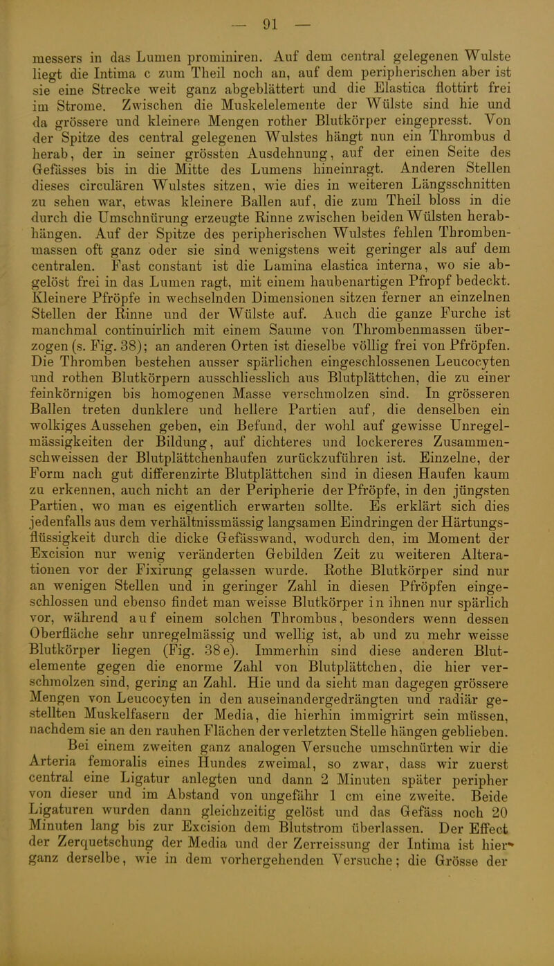 messers in das Lumen prominiren. Auf dem central gelegenen Wulste liegt die Intima c zum Theil noch an, auf dem peripherischen aber ist sie eine Strecke weit ganz abgeblättert und die Elastica flottirt frei im Strome. Zwischen die Muskelelemente der Wülste sind hie und da grössere und kleinere Mengen rother Blutkörper eingepresst. Von der Spitze des central gelegenen Wulstes hängt nun ein Thrombus d herab, der in seiner grössten Ausdehnung, auf der einen Seite des Gefasses bis in die Mitte des Lumens hineinragt. Anderen Stellen dieses circulären Wulstes sitzen, wie dies in weiteren Längsschnitten zu sehen war, etwas kleinere Ballen auf, die zum Theil bloss in die durch die Umschnürung erzeugte Rinne zwischen beiden Wülsten herab- hängen. Auf der Spitze des peripherischen Wulstes fehlen Thromben- massen oft ganz oder sie sind wenigstens weit geringer als auf dem centralen. Fast constant ist die Lamina elastica interna, wo sie ab- gelöst frei in das Lumen ragt, mit einem haubenartigen Pfropf bedeckt. Kleinere Pfropfe in wechselnden Dimensionen sitzen ferner an einzelnen Stellen der Rinne und der Wülste auf. Auch die ganze Furche ist manchmal continuirlich mit einem Saume von Thrombenmassen über- zogen (s. Fig. 38); an anderen Orten ist dieselbe völlig frei von Pfropfen. Die Thromben bestehen ausser spärlichen eingeschlossenen Leucocyten und rolhen Blutkörpern ausschliesslich aus Blutplättchen, die zu einer feinkörnigen bis homogenen Masse verschmolzen sind. In grösseren Ballen treten dunklere und hellere Partien auf, die denselben ein wolkiges Aussehen geben, ein Befund, der wohl auf gewisse Unregel- mässigkeiten der Bildung, auf dichteres und lockereres Zusammen- schweissen der Blutplättchenhaufen zurückzuführen ist. Einzelne, der Form nach gut differenzirte Blutplättchen sind in diesen Haufen kaum zu erkennen, auch nicht an der Peripherie der Pfröpfe, in den jüngsten Partien, wo man es eigentlich erwarten sollte. Es erklärt sich dies jedenfalls aus dem verhältnissmässig langsamen Eindringen der Härtungs- flüssigkeit durch die dicke Gefässwand, wodurch den, im Moment der Excision nur wenig veränderten Gebilden Zeit zu weiteren Altera- tionen vor der Fixirung gelassen wurde. Rothe Blutkörper sind nur an wenigen Stellen und in geringer Zahl in diesen Pfröpfen einge- schlossen und ebenso findet man weisse Blutkörper in ihnen nur spärlich vor, während auf einem solchen Thrombus, besonders wenn dessen Oberfläche sehr unregelmässig und wellig ist, ab und zu mehr weisse Blutkörper liegen (Fig. 38 e). Immerhin sind diese anderen Blut- elemente gegen die enorme Zahl von Blutplättchen, die hier ver- schmolzen sind, gering an Zahl. Hie und da sieht man dagegen grössere Mengen von Leucocyten in den auseinandergedrängten und radiär ge- stellten Muskelfasern der Media, die hierhin immigrirt sein müssen, nachdem sie an den rauhen Flächen der verletzten Stelle hängen geblieben. Bei einem zweiten ganz analogen Versuche umschnürten wir die Arteria femoralis eines Hundes zweimal, so zwar, dass wir zuerst central eine Ligatur anlegten und dann 2 Minuten später peripher von dieser und im Abstand von ungefähr 1 cm eine zweite. Beide Ligaturen wurden dann gleichzeitig gelöst und das Gefäss noch 20 Minuten lang bis zur Excision dem Blutstrom überlassen. Der Effect der Zerquetschung der Media und der Zerreissung der Intima ist hier- ganz derselbe, wie in dem vorhergehenden Versuche; die Grösse der