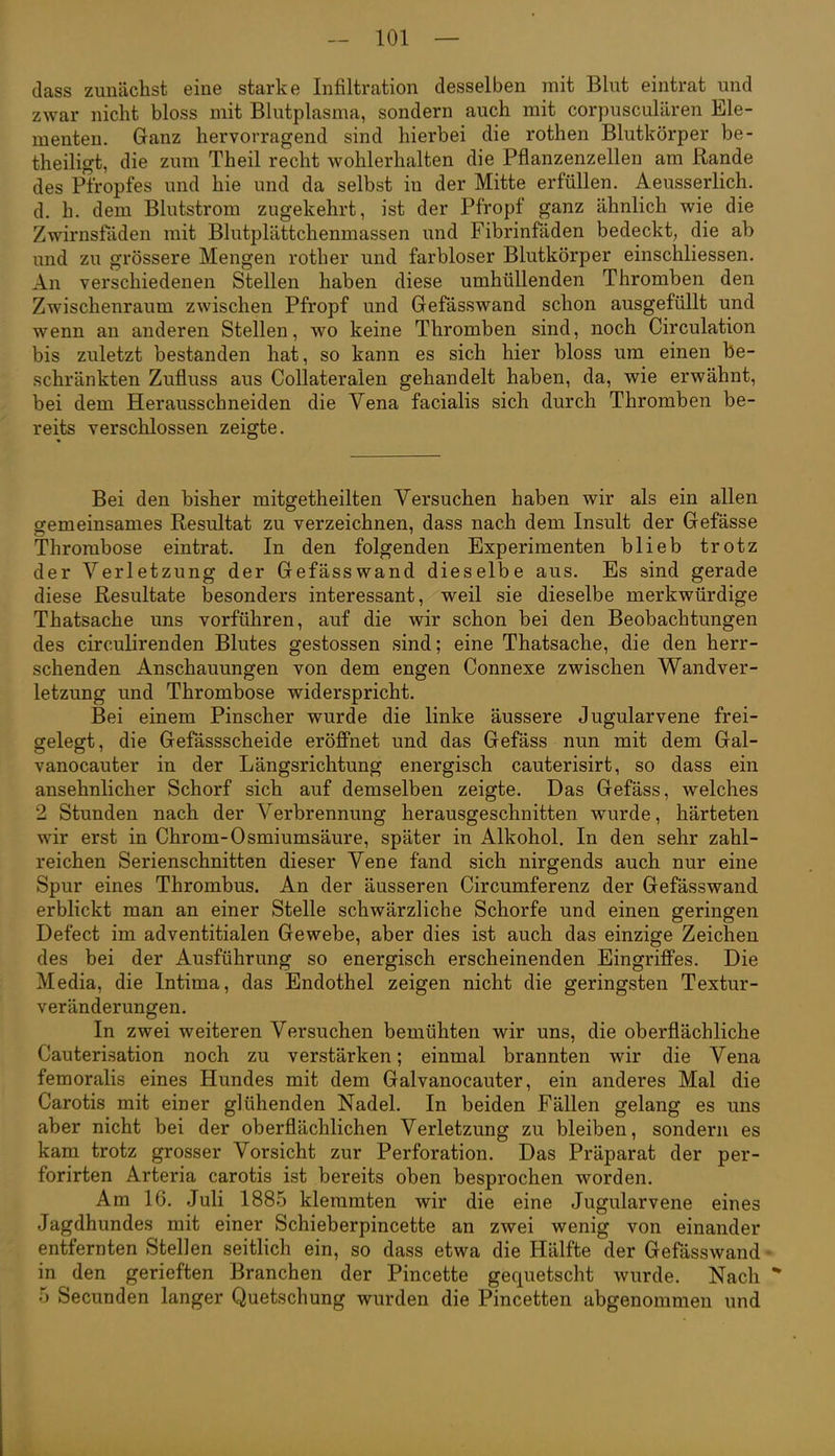 dass zuiiäclist eine starke Infiltration desselben mit Blut eintrat und zwar nicht bloss mit Blutplasma, sondern auch mit corpusculären Ele- menten. Ganz hervorragend sind hierbei die rothen Blutkörper be- theiligt, die zum Theil recht wohlerhalten die Pflanzenzellen am Rande des Pfropfes und hie und da selbst in der Mitte erfüllen. Aeusserlich. d. h. dem Blutstrom zugekehrt, ist der Pfropf ganz ähnlich wie die Zwirnsfaden mit Blutplättchenmassen und Fibrinfäden bedeckt, die ab und zu grössere Mengen rother und farbloser Blutkörper einschliessen. An verschiedenen Stellen haben diese umhüllenden Thromben den Zwischenraum zwischen Pfropf und Gefässwand schon ausgefüllt und wenn an anderen Stellen, wo keine Thromben sind, noch Circulation bis zuletzt bestanden hat, so kann es sich hier bloss um einen be- schränkten Zufluss aus Collateralen gehandelt haben, da, wie erwähnt, bei dem Herausschneiden die Vena facialis sich durch Thromben be- reits verschlossen zeigte. Bei den bisher mitgetheilten Versuchen haben wir als ein allen sremeinsames Resultat zu verzeichnen, dass nach dem Insult der Gefässe Thrombose eintrat. In den folgenden Experimenten blieb trotz der Verletzung der Gefässwand dieselbe aus. Es sind gerade diese Resultate besonders interessant, weil sie dieselbe merkwürdige Thatsache uns vorführen, auf die wir schon bei den Beobachtungen des circulirenden Blutes gestossen sind; eine Thatsache, die den herr- schenden Anschauungen von dem engen Connexe zwischen Wandver- letzung und Thrombose widerspricht. Bei einem Pinscher wurde die linke äussere Jugularvene frei- gelegt , die Gefässscheide eröffnet und das Gefäss nun mit dem Gal- vanocauter in der Längsrichtung energisch cauterisirt, so dass ein ansehnlicher Schorf sich auf demselben zeigte. Das Gefäss, welches 2 Stunden nach der Verbrennung herausgeschnitten wurde, härteten wir erst in Chrom-Osmiumsäure, später in Alkohol. In den sehr zahl- reichen Serienschnitten dieser Vene fand sich nirgends auch nur eine Spur eines Thrombus. An der äusseren Circumferenz der Gefässwand erblickt man an einer Stelle schwärzliche Schorfe und einen geringen Defect im adventitialen Gewebe, aber dies ist auch das einzige Zeichen des bei der Ausführung so energisch erscheinenden Eingriffes. Die Media, die Intima, das Endothel zeigen nicht die geringsten Textur- veränderungen. In zwei weiteren Versuchen bemühten wir uns, die oberflächliche Cauterisation noch zu verstärken; einmal brannten wir die Vena femoralis eines Hundes mit dem Galvanocauter, ein anderes Mal die Carotis mit einer glühenden Nadel. In beiden Fällen gelang es uns aber nicht bei der oberflächlichen Verletzung zu bleiben, sondern es kam trotz grosser Vorsicht zur Perforation. Das Präparat der per- forirten Arteria carotis ist bereits oben besprochen worden. Am 16. Juli 1885 klemmten wir die eine Jugularvene eines Jagdhundes mit einer Schieberpincette an zwei wenig von einander entfernten Stellen seitlich ein, so dass etwa die Hälfte der Gefässwand* in den gerieften Branchen der Pincette gequetscht wurde. Nach 5 Secunden langer Quetschung wurden die Pincetten abgenommen und