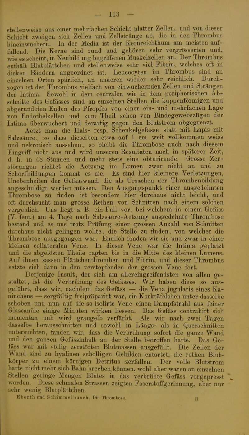 stellenweise aus einer mehrfachen Schicht platter Zellen, und von dieser Schicht zweigen sich Zellen und Zellstränge ab, die in den Thrombus hineinwuchern. In der Media ist der Kernreichthum am meisten auf- fallend. Die Kerne sind rund und gehören sehr vergrösserten und, wie es scheint, in Neubildung begriffenen Muskelzellen an. Der Thrombus enthält Blutplättchen und stellenweise sehr viel Fibrin, welches oft in dicken Bändern angeordnet ist. Leucocyten im Thrombus sind an einzelnen Orten spärlich, an anderen wieder sehr reichlich. Durch- zogen ist der Thrombus vielfach von einwuchernden Zellen und Strängen der Intima. Sowohl in dem centralen wie in dem peripherischen Ab- schnitte des Gefässes sind an einzelnen Stellen die kuppenförmigen und abgerundeten Enden des Pfropfes von einer ein- und mehrfachen Lage von Endothelzellen und zum Theil schon von Bindegewebszügen der Intima überwuchert und derartig gegen den Blutstrom abgegrenzt. Aetzt man die Hals- resp. Schenkelgefässe statt mit Lapis mit Salzsäure, so dass dieselben etwa auf 1 cm weit vollkommen weiss und nekrotisch aussehen, so bleibt die Thrombose auch nach diesem Eingriff nicht aus und wird unseren Resultaten nach in späterer Zeit, d. h. in 48 Stunden und mehr stets eine obturirende. Grosse Zer- störungen richtet die Aetzung im Lumen zwar nicht an und zu Schorfbildungen kommt es nie. Es sind hier kleinere Verletzungen, Unebenheiten der Gefässwand, die als Ursachen der Thrombenbildung angeschuldigt werden müssen. Den Ausgangspunkt einer ausgedehnten Thrombose zu finden ist besonders hier durchaus nicht leicht, und oft durchsucht man grosse Reihen von Schnitten nach einem solchen vergeblich. Uns liegt z. B. ein Fall vor, bei welchem in einem Gefäss (V. fem.) am 4. Tage nach Salzsäure-Aetzung ausgedehnte Thrombose bestand und es uns trotz Prüfung einer grossen Anzahl von Schnitten durchaus nicht gelingen wollte, die Stelle zu finden, von welcher die Thrombose ausgegangen war. Endlich fanden wir sie und zwar in einer kleinen collateralen Vene. In dieser Vene war die Intima geplatzt und die abgelösten Theile ragten bis in die Mitte des kleinen Lumens. Auf ihnen sassen Plättchenthromben und Fibrin, und dieser Thrombus setzte sich dann in den verstopfenden der grossen Vene fort. Derjenige Insult, der sich am allereingreifendsten von allen ge- staltet, ist die Verbrühung des Gefässes. Wir haben diese so aus- geführt, dass wir, nachdem das Gefäss — die Vena jugularis eines Ka- ninchens — sorgfältig freipräparirt war, ein Korktäfelchen unter dasselbe schoben und nun auf die so isolirte Vene einen Dampfstrahl aus feiner Glascanüle einige Minuten wirken liessen. Das Gefäss contrahirt sich momentan unh wird graugelb verfärbt. Als wir nach zwei Tagen dasselbe herausschnitten und sowohl in Längs- als in Querschnitten untersuchten, fanden wir, dass die Verbrühung sofort die ganze Wand und den ganzen Gefässinhalt an der Stelle betrofi'en hatte. Das Ge- fäss war mit völlig zerstörten Blutmassen ausgefüllt. Die Zellen der Wand sind zu hyalinen scholligen Gebilden entartet, die rothen Blut- körper zu einem körnigen Detritus zerfallen. Der volle Blutstrom hatte nicht mehr sich Bahn brechen können, wohl aber waren an einzelnen Stellen geringe Mengen Blutes in das verbrühte Gefäss vorgepresst worden. Diese schmalen Strassen zeigten Faserstoffgerinnung, aber nur sehr wenig Blutplättchen. Eberth und Schimmelbusch, Die Thrombose. ö
