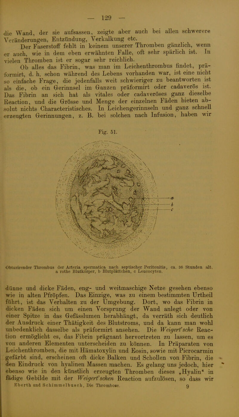 die Wand, der sie aufsassen, zeigte aber auch bei allen schwerere Veränderungen, Entzündung, Verkalkung etc. Der Faserstoff fehlt in keinem unserer Thromben gänzlich, wenn er auch, wie in dem eben erwähnten Falle, oft sehr spärlich ist. In vielen Thromben ist er sogar sehr reichlich. Ob alles das Fibrin, was man im Leichenthrombus findet, prä- formirt, d. h. schon während des Lebens vorhanden war, ist eine nicht so einfache Frage, die jedenfalls weit schwieriger zu beantworten ist als die, ob ein Gerinnsel im Ganzen präformirt oder cadaverös ist. Das Fibrin an sich hat als vitales oder cadaveröses ganz dieselbe Reaction, und die Grösse und Menge der einzelnen Fäden bieten ab- solut nichts Characteristisches. Li Leichengerinnseln und ganz schnell -erzeugten Gerinnungen, z. B. bei solchen nach Infusion, haben wir Fig. 51. Obturirender Thrombus der Arteria spermatica nach septischer Peritonitis, ca. 36 Stunden alt. a rothe Blutkörper, b Blutplättchen, c Leucocyten. dünne und dicke Fäden, eng- und weitmaschige Netze gesehen ebenso wie in alten Pfropfen. Das Einzige, was zu einem bestimmten Urtheil führt, ist das Verhalten zu der Umgebung. Dort, wo das Fibrin in dicken Fäden sich um einen Vorsprung der Wand anlegt oder von einer Spitze in das Gefässlumen herabhängt, da verräth sich deutlich der Ausdruck einer Thätigkeit des Blutstroms, und da kann man wohl unbedenklich dasselbe als präformirt ansehen. Die Weigert'sche Reac- tion ermöglicht es, das Fibrin prägnant hervortreten zu lassen, um es von anderen Elementen unterscheiden zu können. In Präparaten von Leichenthroraben, die mit Hämatoxylin und Eosin, sowie mit Picrocarmin gefärbt sind, erscheinen oft dicke Balken und Schollen von Fibrin, die den Eindruck von hyalinen Massen machen. Es gelang uns jedoch, hier ebenso wie in den künstlich erzeugten Thromben dieses „Hyalin in fadige Gebilde mit der Weujert'sehen Reaction aufzulösen, so dass wir Eberth und Schimmelbusch, Die Thrombose. Q