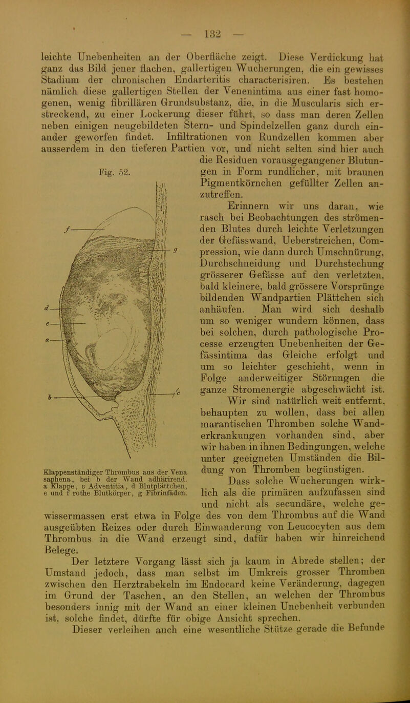 i — 132 — Fig. 52. leichte Unebenheiten an der Oberfläche zeigt. Diese Verdickung hat ganz das Bild jener Hachen, gallertigen Wucherungen, die ein gewisses Stadium der chronischen Endarteritis characterisiren. Es bestehen nämlich diese gallertigen Stellen der Venenintima aus einer fast homo- genen, wenig fibriliären Grundsubstanz, die, in die Muscularis sich er- streckend, zu einer Lockerung dieser führt, so dass man deren Zellen neben einigen neugebildeten Stern- und Spindelzellen ganz durch ein- ander geworfen findet. Infiltrationen von Rundzellen kommen aber ausserdem in den tieferen Partien vor, und nicht selten sind hier auch die Residuen vorausgegangener Blutun- gen in Form rundlicher, mit braunen Pigmentkörnchen gefüllter Zellen an- zutreffen. Erinnern wir uns daran, wie rasch bei Beobachtungen des strömen- den Blutes durch leichte Verletzungen der Grefässwand, Ueberstreichen, Com- pression, wie dann durch Umschnürung, Durchschneidung und Durchstechung grösserer Gefässe auf den verletzten, bald kleinere, bald grössere Vorsprünge bildenden Wandpartien Plättchen sich anhäufen. Man wird sich deshalb um so weniger wundern können, dass bei solchen, durch pathologische Pro- cesse erzeugten Unebenheiten der Ge- fässintima das Gleiche erfolgt und um so leichter geschieht, wenn in Folge anderweitiger Störungen die ganze Stromenergie abgeschwächt ist. Wir sind natürlich weit entfernt, behaupten zu wollen, dass bei allen marantischen Thromben solche Wand- erkrankungen vorhanden sind, aber wir haben in ihnen Bedingungen, welche unter geeigneten Umständen die Bil- dung von Thromben begünstigen. Dass solche Wucherungen wirk- lich als die primären aufzufassen sind und nicht als secundäre, welche ge- wissermassen erst etwa in Folge des von dem Thrombus auf die Wand ausgeübten Reizes oder durch Einwanderung von Leucocyten aus dem Thrombus in die Wand erzeugt sind, dafür haben wir hinreichend Belege. Der letztere Vorgang lässt sich ja kaum in Abrede stellen; der Umstand jedoch, dass man selbst im Umkreis grosser Thromben zwischen den Herztrabekeln im Endocard keine Veränderung, dagegen im Grund der Taschen, an den Stellen, an welchen der Thrombus besonders innig mit der Wand an einer kleinen Unebenheit verbunden ist, solche findet, dürfte für obige Ansicht sprechen. Dieser verleihen auch eine wesentliche Stütze gerade die Befunde Klappenständiger Thrombus aus der Vena saphena, bei b der Wand adhärirend, a Klappe, c Adventitia, d Blutplättchen, e und f rothe Blutkörper, g Fibrinfäden.