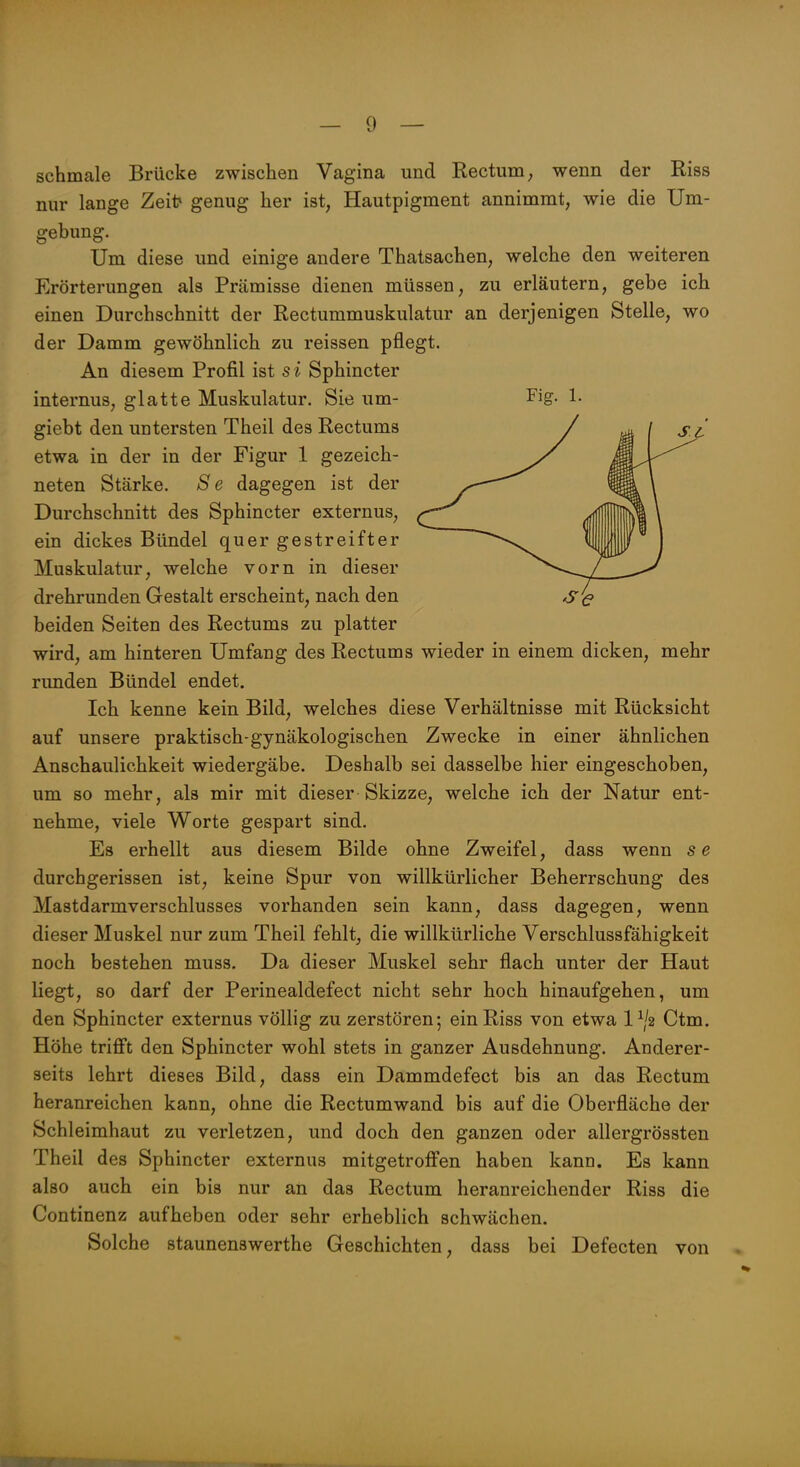 schmale Brücke zwischen Vagina und Rectum, wenn der Riss nur lange Zeit» genug her ist, Hautpigment annimmt, wie die Um- gebung. Um diese und einige andere Thatsachen, welche den weiteren Erörterungen als Prämisse dienen müssen, zu erläutern, gebe ich einen Durchschnitt der Rectummuskulatur an derjenigen Stelle, wo der Damm gewöhnlich zu reissen pflegt. An diesem Profil ist si Sphincter internus, glatte Muskulatur. Sie um- Fig- 1- giebt den untersten Theil des Rectums etwa in der in der Figur 1 gezeich- neten Stärke. Se dagegen ist der Durchschnitt des Sphincter externus, ein dickes Bündel quer gestreifter Muskulatur, welche vorn in dieser drehrunden Gestalt erscheint, nach den beiden Seiten des Rectums zu platter wird, am hinteren Umfang des Rectums wieder in einem dicken, mehr runden Bündel endet. Ich kenne kein Bild, welches diese Verhältnisse mit Rücksicht auf unsere praktisch-gynäkologischen Zwecke in einer ähnlichen Anschaulichkeit wiedergäbe. Deshalb sei dasselbe hier eingeschoben, um so mehr, als mir mit dieser Skizze, welche ich der Natur ent- nehme, viele Worte gespart sind. Es erhellt aus diesem Bilde ohne Zweifel, dass wenn se durchgerissen ist, keine Spur von willkürlicher Beherrschung des Mastdarmverschlusses vorhanden sein kann, dass dagegen, wenn dieser Muskel nur zum Theil fehlt, die willkürliche Verschlussfähigkeit noch bestehen muss. Da dieser Muskel sehr flach unter der Haut liegt, so darf der Perinealdefect nicht sehr hoch hinaufgehen, um den Sphincter externus völlig zu zerstören; ein Riss von etwa 1\^2 Ctm. Höhe trifft den Sphincter wohl stets in ganzer Ausdehnung. Anderer- seits lehrt dieses Bild, dass ein Dammdefect bis an das Rectum heranreichen kann, ohne die Rectumwand bis auf die Oberfläche der Schleimhaut zu verletzen, und doch den ganzen oder allergrössten Theil des Sphincter externus mitgetroffen haben kann. Es kann also auch ein bis nur an das Rectum heranreichender Riss die Continenz aufheben oder sehr erheblich schwächen. Solche staunenswerthe Geschichten, dass bei Defecten von