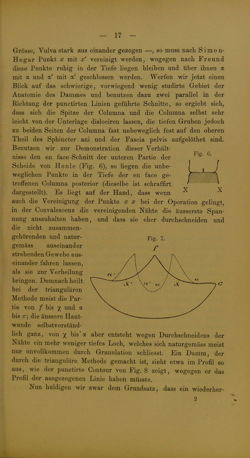 Fig. 6. Grösse, Vulva stark aus einander gezogen —, so muss nach Simon- Hegar Punkt x mit x' vereinigt werden, wogegen nach Freund diese Punkte ruhig in der Tiefe liegen bleiben und über ihnen a mit a und a' mit a' geschlossen werden. Werfen wir jetzt einen Blick auf das schwierige, vorwiegend wenig studirte Gebiet der Anatomie des Dammes und benutzen dazu zwei parallel in der Richtung der punctirten Linien geführte Schnitte, so ergiebt sich, dass sich die Spitze der Columna und die Columna selbst sehr leicht von der Unterlage dislociren lassen, die tiefen Gruben jedoch zu beiden Seiten der Columna fast unbeweglich fest auf den oberen Theil des Sphincter ani und der Fascia pelvis aufgelöthet sind. Benutzen wir zur Demonstration dieser Verhält- nisse den en face-Schnitt der unteren Partie der Scheide von Henle (Fig. 6), so liegen die unbe- weglichen Punkte in der Tiefe der en face ge- troffenen Columna posterior (dieselbe ist schraffirt dargestellt). Es liegt auf der Hand, dass wenn auch die Vereinigung der Punkte x x bei der Operation gelingt, in der Convalescenz die vereinigenden Nähte die äusserste Span- nung auszuhalten haben, und dass sie eher durchschneiden und die nicht zusammen- gehörenden und natur- gemäss auseinander strebenden Gewebe aus- einander fahren lassen, als sie zur Verheilung bringen. Demnach heilt bei der triangulären Methode meist die Par- tie von f bis / und a bis c; die äussere Haut- wunde selbstverständ- lich ganz, von / bis'a aber entsteht wegen Durchschneidens der Nähte ein mehr weniger tiefes Loch, welches sich naturgemäss meist nur unvollkommen durch Granulation schliesst. Ein Damm, der durch die trianguläre Methode gemacht ist, sieht etwa im Profil so aus, wie der punctirte Contour von Fig. 8 zeigt, wogegen er das Profil der ausgezogenen Linie haben müsste. Nun huldigen wir zwar dem Grundsatz, dass ein wiederher- 2