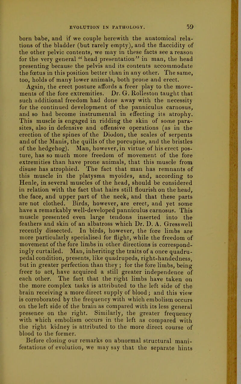 born babe, and if we couple herewith the anatomical rela- tions of the bladder (but rarely empty), and the flaccidity of the other pelvic contents, we may in these facts see a reason for the very general head presentation in man, the head presenting because the pelvis and its contents accommodate the foetus in this position better than in any other. The same, too, holds of many lower animals, both prone and erect. Again, the erect posture affords a freer play to the move- ments of the fore extremities. Dr. G. Rolleston taught that such additional freedom had done away with the necessity for the continued development of the panniculus carnosus, and so had become instrumental in effecting its atrophy. This muscle is engaged in ridding the skin of some para- sites, also in defensive and offensive operations (as in the erection of the spines of the Diodon, the scales of serpents and of the Manis, the quills of the porcupine, and the bristles of the hedgehog). Man, however, in virtue of his erect pos- ture, has so much more freedom of movement of the fore extremities than have prone animals, that this muscle from disuse has atrophied. The fact that man has remnants of this muscle in the platysma myoides, and, according to Henle, in several muscles of the head, should be considered in relation with the fact that hairs still flourish on the head, the face, and upper part of the neck, and that these parts are not clothed. Birds, however, are erect, and yet some have a remarkably well-developed panniculus carnosus. This muscle presented even large tendons inserted into the feathers and skin of an albatross which Dr. D. A. Gresswell recently dissected. In birds, however, the fore limbs are more particularly specialised for flight, while the freedom of movement of the fore limbs in other directions is correspond- ingly curtailed. Man, inheriting the traits of a once quadru - pedal condition, presents, like quadrupeds, right-handedness, but in greater perfection than they ; for the fore limbs, being freer to act, have acquired a still greater independence of each other. The fact that the right limbs have taken on the more complex tasks is attributed to the left side of the brain receiving a more direct supply of blood; and this view is corroborated by the frequency with which embolism occurs on the left side of the brain as compared with its less general presence on the right. Similarly, the greater frequency with which embolism occurs in the left as compared with the right kidney is attributed to the more direct course of blood to the former. Before closing our remarks on abnormal structural mani- festations of evolution, we may say that the separate hints