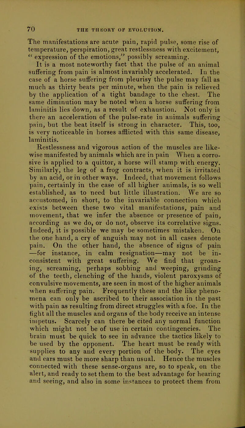 The manifestations are acute pain, rapid pulse, some rise of temperature, perspiration, great restlessness with excitement, expression of the emotions, possibly screaming. It is a most noteworthy fact that the pulse of an animal suffering from pain is almost invariably accelerated. In the case of a horse suffering from pleurisy the pulse may fall as much as thirty beats per minute, when the pain is relieved by the application of a tight bandage to the chest. The same diminution may be noted when a horse suffering from laminitis lies down, as a result of exhaustion. Not only is there an acceleration of the pulse-rate in animals suffering pain, but the beat itself is strong in character. This, too, is very noticeable in horses afflicted with this same disease, laminitis. Restlessness and vigorous action of the muscles are like- wise manifested by animals which are in pain When a corro- sive is applied to a quittor, a horse will stamp with energy. Similarly, the leg of a frog contracts, when it is irritated by an acid, or in other ways. Indeed, that movement follows pain, certainly in the case of all higher animals, is so well established, as to need but little illustration. We are so accustomed, in short, to the invariable connection which exists between these two vital manifestations, pain and movement, that we infer the absence or presence of pain, according as we do, or do not, observe its correlative signs. Indeed, it is possible we may be sometimes mistaken. On the one hand, a cry of anguish may not in all cases denote pain. On the other hand, the absence of signs of pain —for instance, in calm resignation—may not be in- consistent with great suffering. We find that groan- ing, screaming, perhaps sobbing and weeping, grinding of the teeth, clenching of the hands, violent paroxysms of convulsive movements, are seen in most of the higher animals when suffering pain. Frequently these and the like pheno- mena can only be ascribed to their association in the past with pain as resulting from direct struggles with a foe. In the fight all the muscles and organs of the body receive an intense impetus. Scarcely can there be cited any normal function which might not be of use in certain contingencies. The brain must be quick to see in advance the tactics likely to be used by the opponent. The heart must be ready with supplies to any and every portion of the body. The eyes and ears must be more sharp than usual. Hence the muscles connected with these sense-organs are, so to speak, on the alert, and ready to set them to the best advantage for hearing and seeing, and also in some instances to protect them from