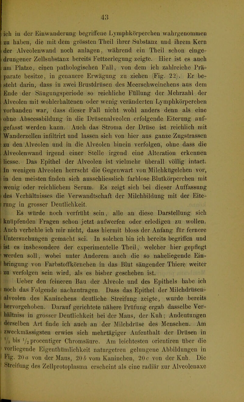 I ich in der Eiawauderung begriffeue Lymphkörpeiclien walirgenommen zu haben, die mit dem grössteu Theil ihrer Substanz und ihrem Kern (der Alveolenwand noch anlagen, während ein Theil schon einge- I drungener Zellsubstanz bereits Fettzerlegung zeigte. Hier ist es auch am Platze, einen pathologischen Fall, von dem ich zahlreiche Prä- parate besitze, in genauere Erwägung zu ziehen (Fig. 22). Er be- steht darin, dass in zwei Brustdrüsen des Meerschweinchens aus dem Ende der Säugungsperiode so reichliche Füllung der Mehrzahl der Alveolen mit wohlerhaltenen oder wenig veränderten Lymphkörperchen vorhanden war, dass dieser Fall nicht wohl anders denn als eine ohne Abscessbildung in die Drüsenalveolen erfolgende Eiterung auf- : gefasst werden kann. Auch das Stroma der Drüse ist reichlich mit Wanderzellen infiltrirt und lassen sich von hier aus ganze Zugstrassen : zu den Alveolen und in die Alveolen hinein verfolgen, ohne dass die Alveolenwand irgend einer Stelle irgend eine Alteration erkennen Hesse. Das Epithel der Alveolen ist vielmehr überall völlig intaet. In wenigen Alveolen herrscht die Gegenwart von Milchkügelchen vor, in den meisten finden sich ausschliesslich farblose Blutkörperchen mit wenig oder reichlichem Serum. Es zeigt sich bei dieser Auffassung I des Verhältnisses die Verwandtschaft der Milchbildung mit der Eite- I rung in grosser Deutlichkeit. Es würde noch verfrüht sein, alle an diese Darstellung sich 1 knüpfenden Fragen schon jetzt aufwerfen oder erledigen zu wollen. Auch verhehle ich mir nicht, dass hiermit bloss der Anfang für fernere Untersuchungen gemacht sei. In solchen bin ich bereits begriffen und I ist es insbesondere der experimentelle Theil, welcher hier gepflegt j- werden soll, wobei unter Anderem auch die so naheliegende Ein- ' bringnng von Farbstoffkörnchen in das Blut säugender Thiere weiter I zu verfolgen sein wird, als es bisher geschehen ist. lieber den feineren Bau der Alveole und des Epithels habe ich noch das Folgende nachzutragen. Dass das Epithel der Milchdrüseu- alveolen des Kaninchens deutliche Streifung zeigte, wurde bereits i hervorgehoben. Darauf gerichtete nähere Prüfung ergab dasselbe Ver- ! hältniss in grosser Deutlichkeit bei der Maus, der Kuh; Andeutungen I derselben Art finde ich auch an der Milchdrüse des Menschen. Am I zweckmässigsten erwies sich mehrtägiger Aufenthalt der Drüsen in Vs bis '/2 procentiger Chromsäurc. Am leichtesten orientiren Uber die ' vorliegende EigenthUmlichkeit naturgetreu gelungene Abbildungen in ii Fig. 20a von der Maus, 20b vom Kaninchen, 20c von der Kuh. Die '^treifung des Zcllprotoplasma erscheint als eine radiär zur Alveolenaxe