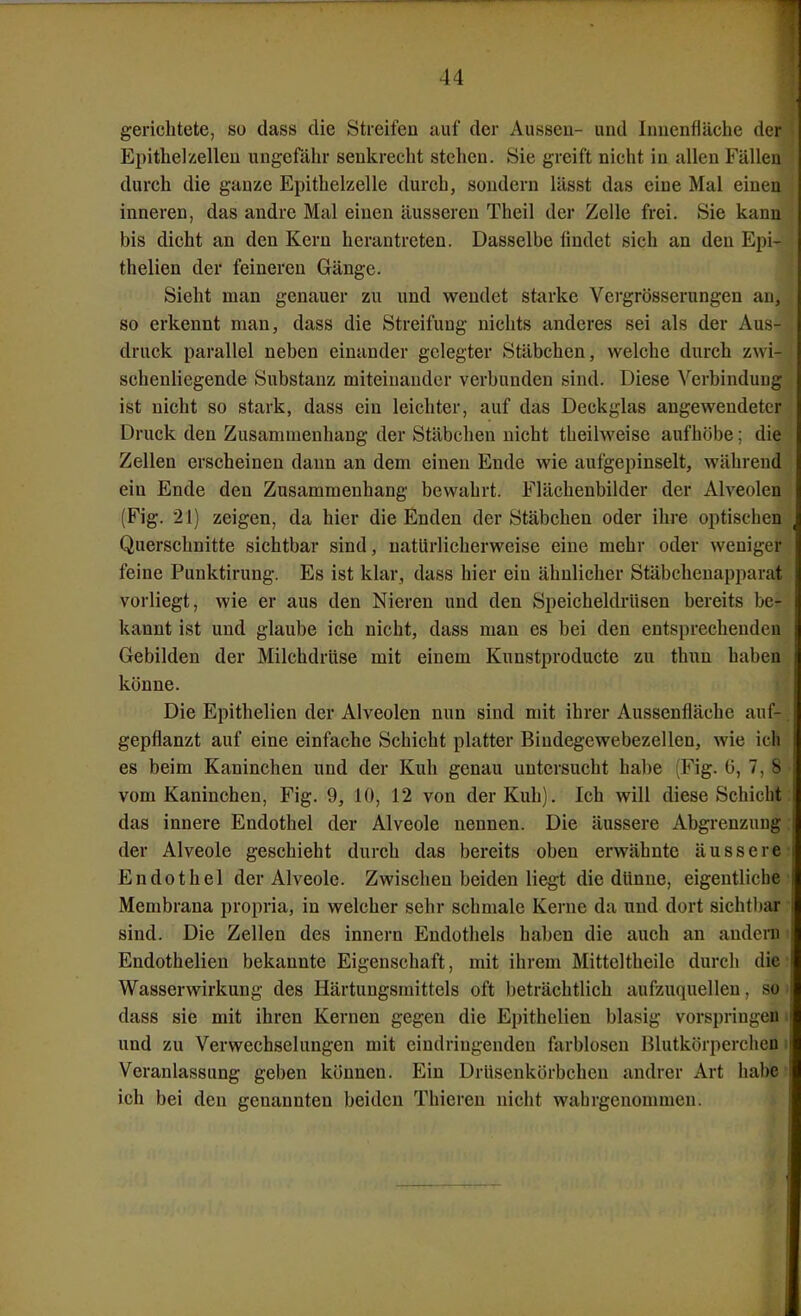 gerichtete, so dass die Streifen auf der Aussen- und Innenfläche der Epithelzelleu ungefähr senkrecht stehen. Sie greift nicht in allen Fällen durch die ganze Epithelzelle durch, sondern lässt das eine Mal einen inneren, das andre Mal einen äusseren Theil der Zelle frei. Sie kann bis dicht an den Kern herantreten. Dasselbe findet sich an den Epi- thelien der feineren Gänge. Sieht man genauer zu und wendet starke Vcrgrösserungen an, so erkennt man, dass die Streifung nichts anderes sei als der Aus- druck parallel neben einander gelegter Stäbchen, welche durch zwi- schenliegende Substanz miteinander verbunden sind. Diese Verbindung ist nicht so stark, dass ein leichter, auf das Deckglas angewendeter Druck den Zusammenhang der Stäbchen nicht theilweise aufhöbe; die Zellen erscheinen dann an dem einen Ende wie aufgepinselt, während ein Ende den Zusammenhang bewahrt. Flächenbilder der Alveolen (Fig. 21) zeigen, da hier die Enden der Stäbchen oder ihre optischen Querschnitte sichtbar sind, natürlicherweise eine mehr oder weniger feine Punktirung. Es ist klar, dass hier ein ähnlicher Stäbchenapparat vorliegt, wie er aus den Nieren und den Speicheldrüsen bereits be- kannt ist und glaube ich nicht, dass man es bei den entsprechenden Gebilden der Milchdrüse mit einem Kunstproducte zu thun haben könne. Die Epithelien der Alveolen nun sind mit ihrer Aussenfläche auf- gepflanzt auf eine einfache Schicht platter Bindegewebezellen, wie ich es beim Kaninchen und der Kuh genau untersucht habe (Fig. (5, 7, 8 vom Kaninchen, Fig. 9, 10, 12 von der Kuh). Ich will diese Schicht das innere Endothel der Alveole nennen. Die äussere Abgi'enzung der Alveole geschieht durch das bereits oben erwähnte äussere Endothel der Alveole. Zwischen beiden liegt die dünne, eigentliche Membrana propria, in welcher sehr schmale Kerne da und dort sichtbar sind. Die Zellen des Innern Endothels haben die auch an andeni' Endothelien bekannte Eigenschaft, mit ihrem Mitteitheile durch die' Wasserwirkung des Härtungsmittels oft beträchtlich aufzuquellen, so dass sie mit ihren Kernen gegen die Epithelien blasig vorspringen i und zu Verwechselungen mit eindringenden farblosen Blutkörperchen i Veranlassung geben können. Ein Drüsenkörbchen andrer Art habe ich bei den genannten beiden Thieren nicht wahrgenommen.