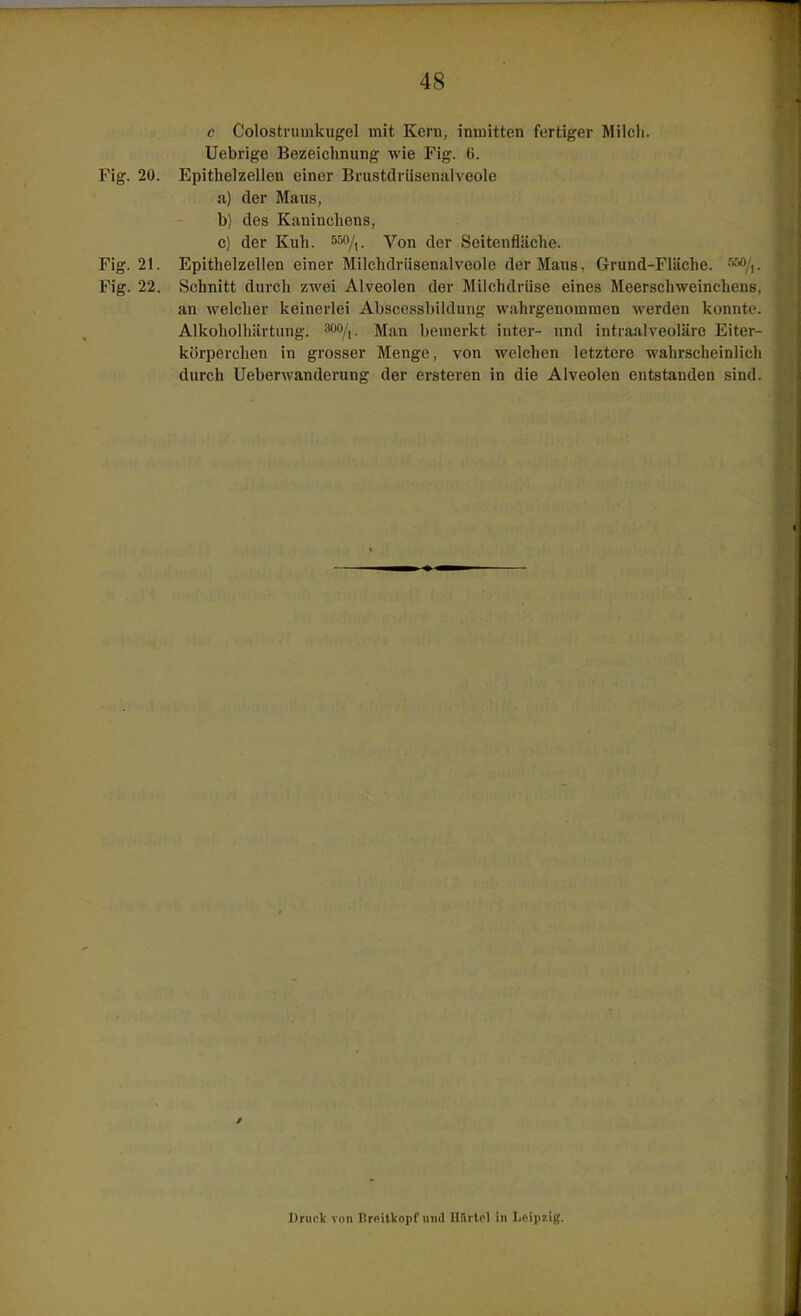 c Colostniinkugel mit Kern, inmitten fertiger Milcli. Uebrige Bezeichnung wie Fig. 6. Fig. 20. Epithelzellen einer Bnistdrüsenalveole a) der Maus, b) des Kaninchens, c) der Kuh. sso/,. Von der Seitenfläche. Fig. 21. Epithelzellen einer Milchdriisenalveole der Maus, Grund-Fläche. Fig. 22. Schnitt durch zwei Alveolen der Milchdrüse eines Meerschweinchens, an welcher keinerlei Abscessbildung wahrgenommen Averden konnte, Alkoholhärtung'. 300/|. jjrm bemerkt inter- und intraalveoläro Eiter- körperchen in grosser Menge, von welchen letztere wahrscheinlich durch Ueberwanderung der ersteren in die Alveolen entstanden sind. Druck von Brnitlcopf und Hilrtol in Leipzig.