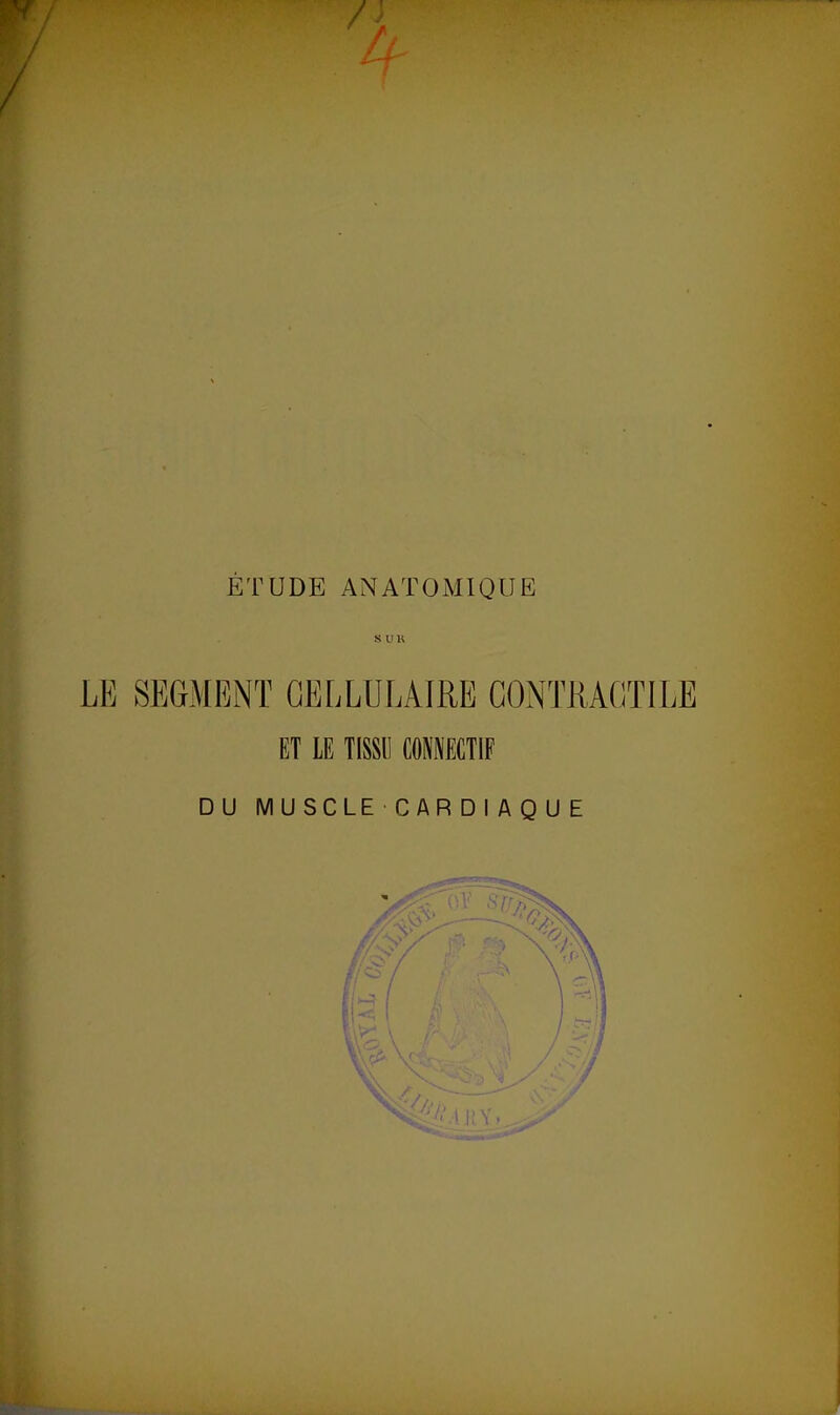 / ÉTUDE AN ATOMIQUE SUR LE SEGMENT CELLULAIRE CONTRACTILE ET LE TISSU COMECTIF DU MUSCLE CARDlAQUE