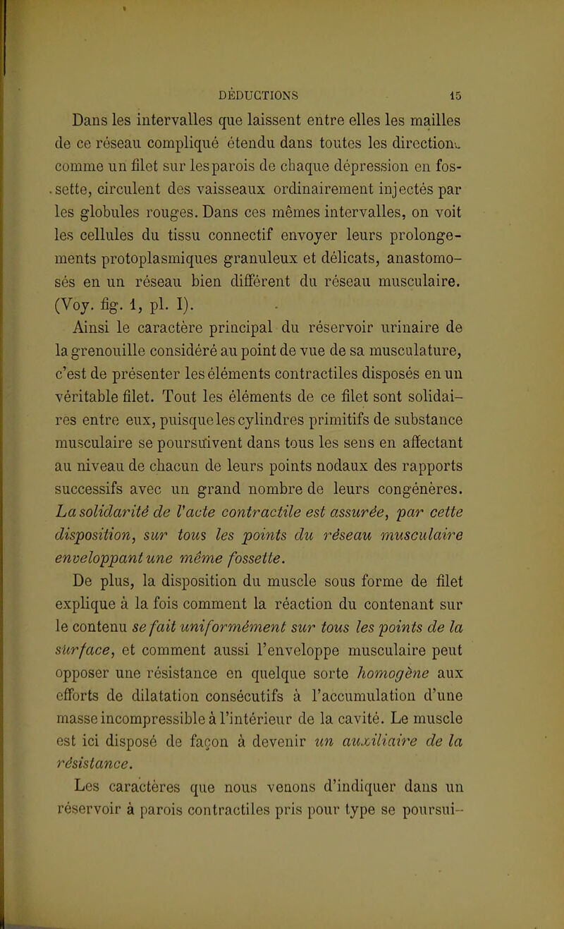 Dans les intervalles que laissent entre elles les mailles de ce réseau compliqué étendu dans toutes les directions comme un filet sur les parois de chaque dépression en fos- . sette, circulent des vaisseaux ordinairement injectés par les globules rouges. Dans ces mêmes intervalles, on voit les cellules du tissu connectif envoyer leurs prolonge- ments protoplasmiques granuleux et délicats, anastomo- sés en un réseau bien différent du réseau musculaire. (Voj. fig. 1, pl. I). Ainsi le caractère principal du réservoir urinaire de la grenouille considéré au point de vue de sa musculature, c'est de présenter les éléments contractiles disposés en un véritable filet. Tout les éléments de ce filet sont solidai- res entre eux, puisque les cylindres primitifs de substance musculaire se poursuivent dans tous les sens en affectant au niveau de chacun de leurs points nodaux des rapports successifs avec un grand nombre de leurs congénères. La solidarité de l'acte contractile est assurée, par cette disposition, sur tous les points du réseau musculaire enveloppant une même fossette. De plus, la disposition du muscle sous forme de filet explique à la fois comment la réaction du contenant sur le contenu se fait uniformément sur tous les points de la surface, et comment aussi l'enveloppe musculaire peut opposer une résistance en quelque sorte homogène aux efforts de dilatation consécutifs à l'accumulation d'une masse incompressible à l'intérieur de la cavité. Le muscle est ici disposé de façon à devenir un auxiliaire de la résistance. Les caractères que nous venons d'indiquer dans un réservoir à parois contractiles pris pour type se poursui-