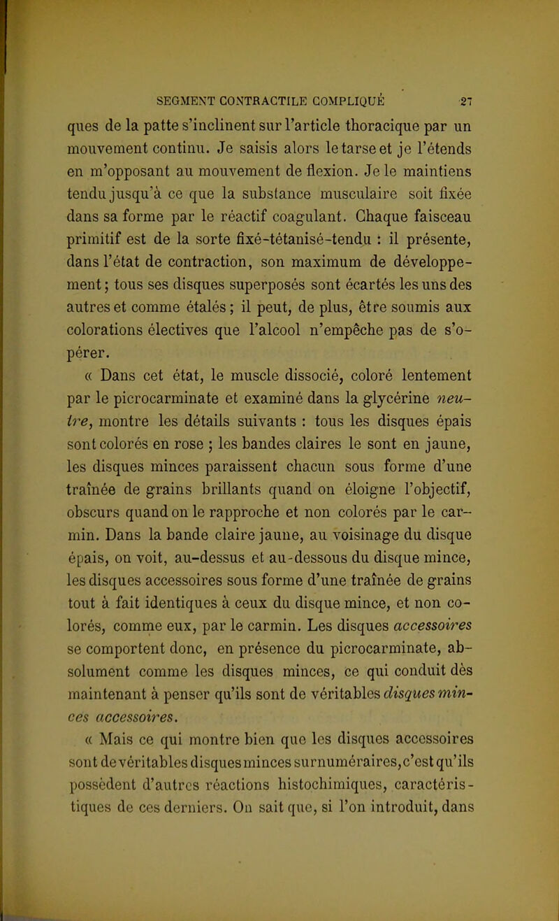 ques de la patte s'inclinent sur l'article thoracique par un mouvement continu. Je saisis alors le tarse et je l'étends en m'opposant au mouvement de flexion. Je le maintiens tendu jusqu'à ce que la substance musculaire soit fixée dans sa forme par le réactif coagulant. Chaque faisceau primitif est de la sorte fixé-tétanisé-tendu : il présente, dans l'état de contraction, son maximum de développe- ment ; tous ses disques superposés sont écartés les uns des autres et comme étalés; il peut, de plus, être soumis aux colorations électives que l'alcool n'empêche pas de s'o- pérer. « Dans cet état, le muscle dissocié, coloré lentement par le picrocarminate et examiné dans la glycérine neu- tre, montre les détails suivants : tous les disques épais sont colorés en rose ; les bandes claires le sont en jaune, les disques minces paraissent chacun sous forme d'une traînée de grains brillants quand on éloigne l'objectif, obscurs quand on le rapproche et non colorés par le car- min. Dans la bande claire jaune, au voisinage du disque épais, on voit, au-dessus et au-dessous du disque mince, les disques accessoires sous forme d'une traînée de grains tout à fait identiques à ceux du disque mince, et non co- lorés, comme eux, par le carmin. Les disques accessoires se comportent donc, en présence du picrocarminate, ab- solument comme les disques minces, ce qui conduit dès maintenant à penser qu'ils sont de véritables disques min- ces accessoires. « Mais ce qui montre bien que les disques accessoires sont de véritables disques minces surnuméraires,c'est qu'ils possèdent d'autres réactions histochimiques, caractéris- tiques de ces derniers. On sait que, si l'on introduit, dans