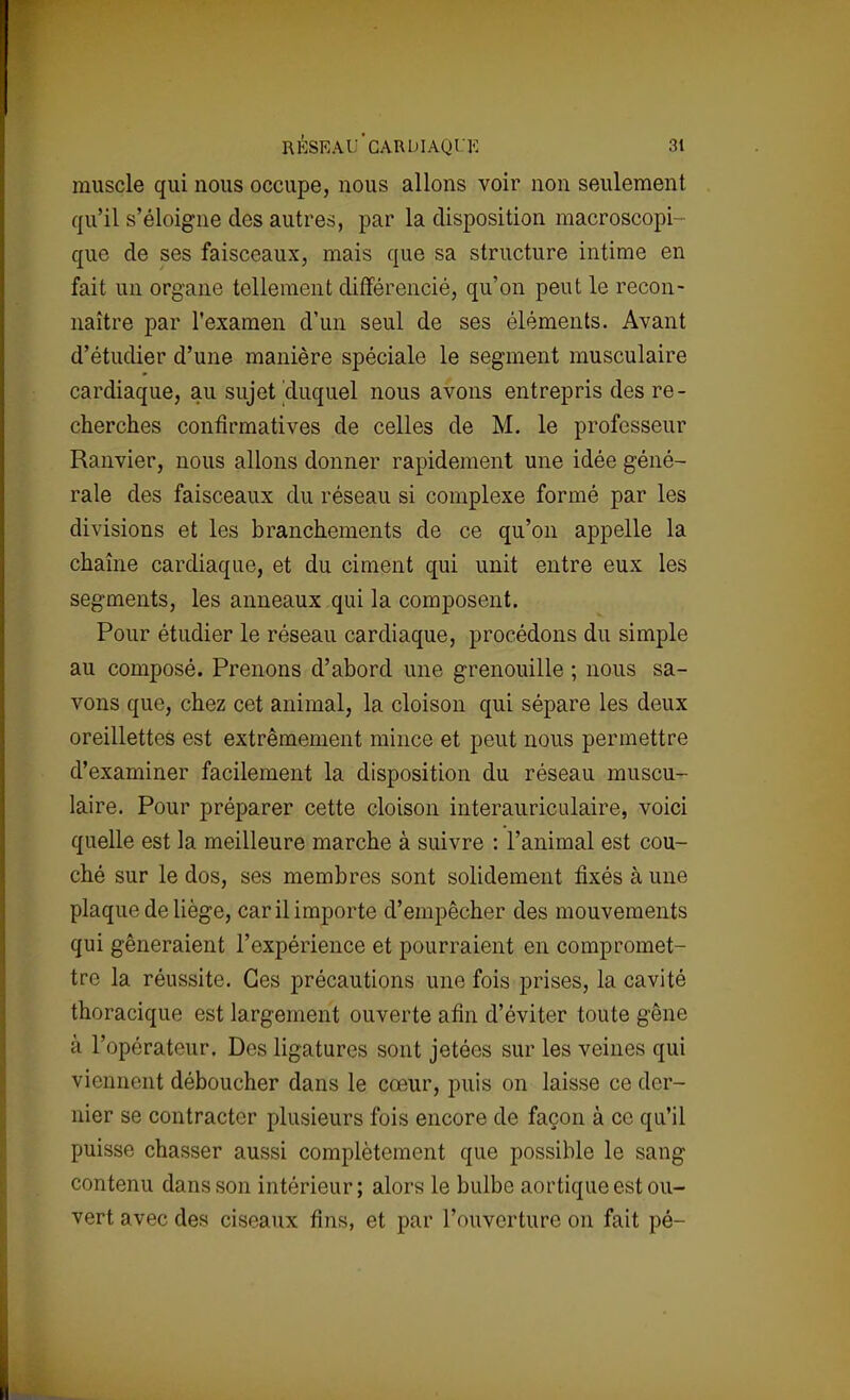 muscle qui nous occupe, nous allons voir non seulement qu'il s'éloigne des autres, par la disposition macroscopi- que de ses faisceaux, mais que sa structure intime en fait un organe tellement différencié, qu'on peut le recon- naître par l'examen d'un seul de ses éléments. Avant d'étudier d'une manière spéciale le segment musculaire cardiaque, au sujet duquel nous avons entrepris des re- cherches confîrmatives de celles de M. le professeur Ranvier, nous allons donner rapidement une idée géné- rale des faisceaux du réseau si complexe formé par les divisions et les branchements de ce qu'on appelle la chaîne cardiaque, et du ciment qui unit entre eux les segments, les anneaux qui la composent. Pour étudier le réseau cardiaque, procédons du simple au composé. Prenons d'abord une grenouille ; nous sa- vons que, chez cet animal, la cloison qui sépare les deux oreillettes est extrêmement mince et peut nous permettre d'examiner facilement la disposition du réseau muscu- laire. Pour préparer cette cloison interauriculaire, voici quelle est la meilleure marche à suivre : l'animal est cou- ché sur le dos, ses membres sont solidement fixés à une plaque de liège, car il importe d'empêcher des mouvements qui gêneraient l'expérience et pourraient en compromet- tre la réussite. Ces précautions une fois prises, la cavité thoracique est largement ouverte afin d'éviter toute gêne à l'opérateur. Des ligatures sont jetées sur les veines qui viennent déboucher dans le cœur, puis on laisse ce der- nier se contracter plusieurs fois encore de façon à ce qu'il puisse chasser aussi complètement que possible le sang contenu dans son intérieur; alors le bulbe aortique est ou- vert avec des ciseaux fins, et par l'ouverture on fait pé-