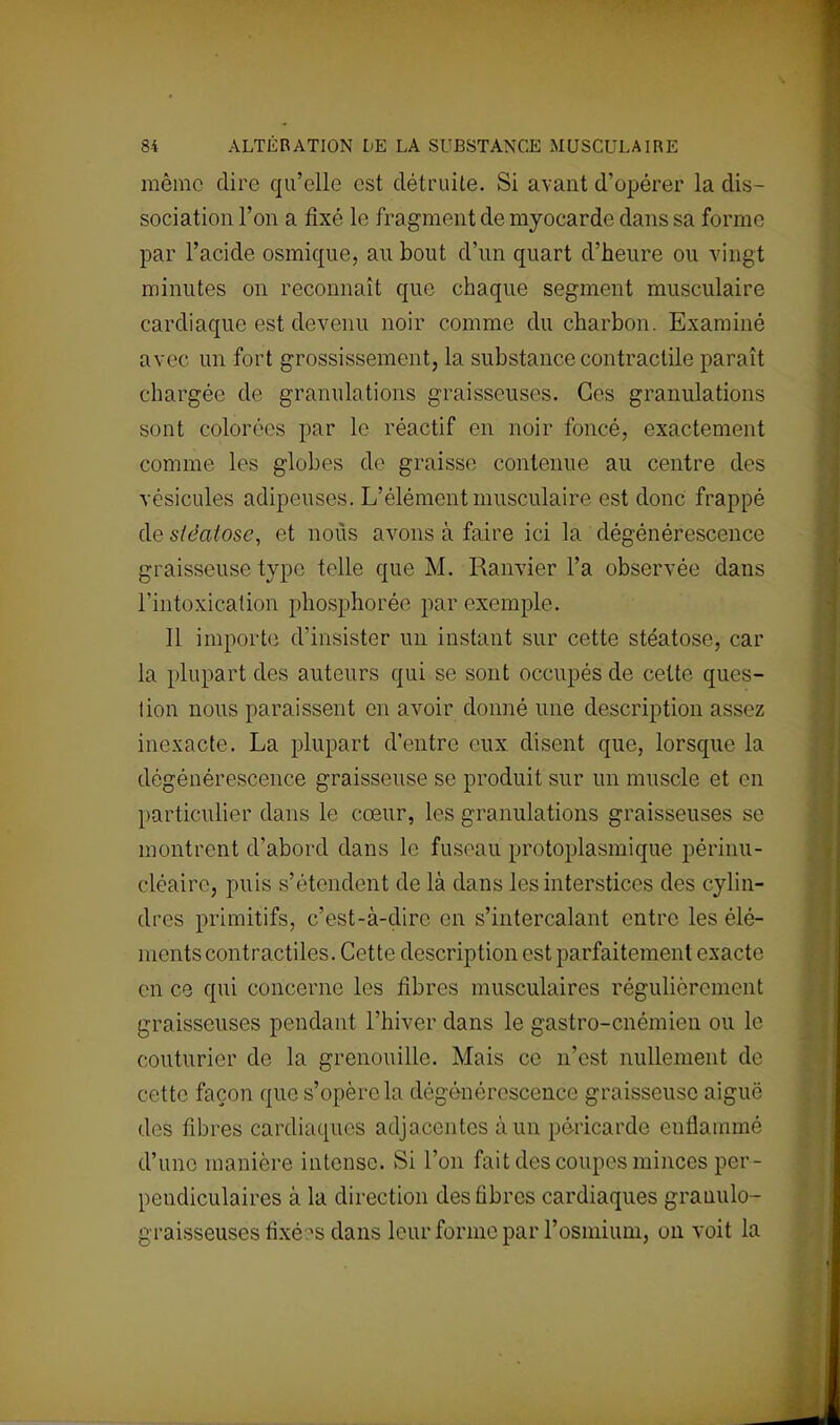 même dire qu'elle est détruite. Si avant d'opérer la dis- sociation l'on a fixé le fragment de myocarde dans sa forme par l'acide osmique, au bout d'un quart d'heure ou vingt minutes on reconnaît que chaque segment musculaire cardiaque est devenu noir comme du charbon. Examiné avec un fort grossissement, la substance contractile paraît chargée de granulations graisseuses. Ces granulations sont colorées par le réactif en noir foncé, exactement comme les globes de graisse contenue au centre des vésicules adipeuses. L'élément musculaire est donc frappé àesiéatose, et nous avons à faire ici la dégénérescence graisseuse type telle que M. Ranvier l'a observée dans l'intoxication phosphorée par exemple. Il importe d'insister un instant sur cette stéatose, car la plupart des auteurs qui se sont occupés de cette ques- tion nous paraissent en avoir donné une description assez inexacte. La plupart d'entre eux disent que, lorsque la dégénérescence graisseuse se produit sur un muscle et en particulier dans le cœur, les granulations graisseuses se montrent d'abord dans le fuseau protoplasmique périnu- cléaire, puis s'étendent de là dans les interstices des cylin- dres primitifs, c'est-à-dire en s'intercalant entre les élé- ments contractiles. Cette description est parfaitement exacte en ce qui concerne les fibres musculaires régulièrement graisseuses pendant l'hiver dans le gastro-cnémien ou le couturier de la grenouille. Mais ce n'est nullement de cette façon que s'opère la dégénérescence graisseuse aiguë des fibres cardiaques adjacentes à un péricarde enflammé d'une manière intense. Si l'on fait des coupes minces per- pendiculaires à la direction des fibres cardiaques grauulo- graisseuses fixées dans leur forme par l'osmium, on voit la