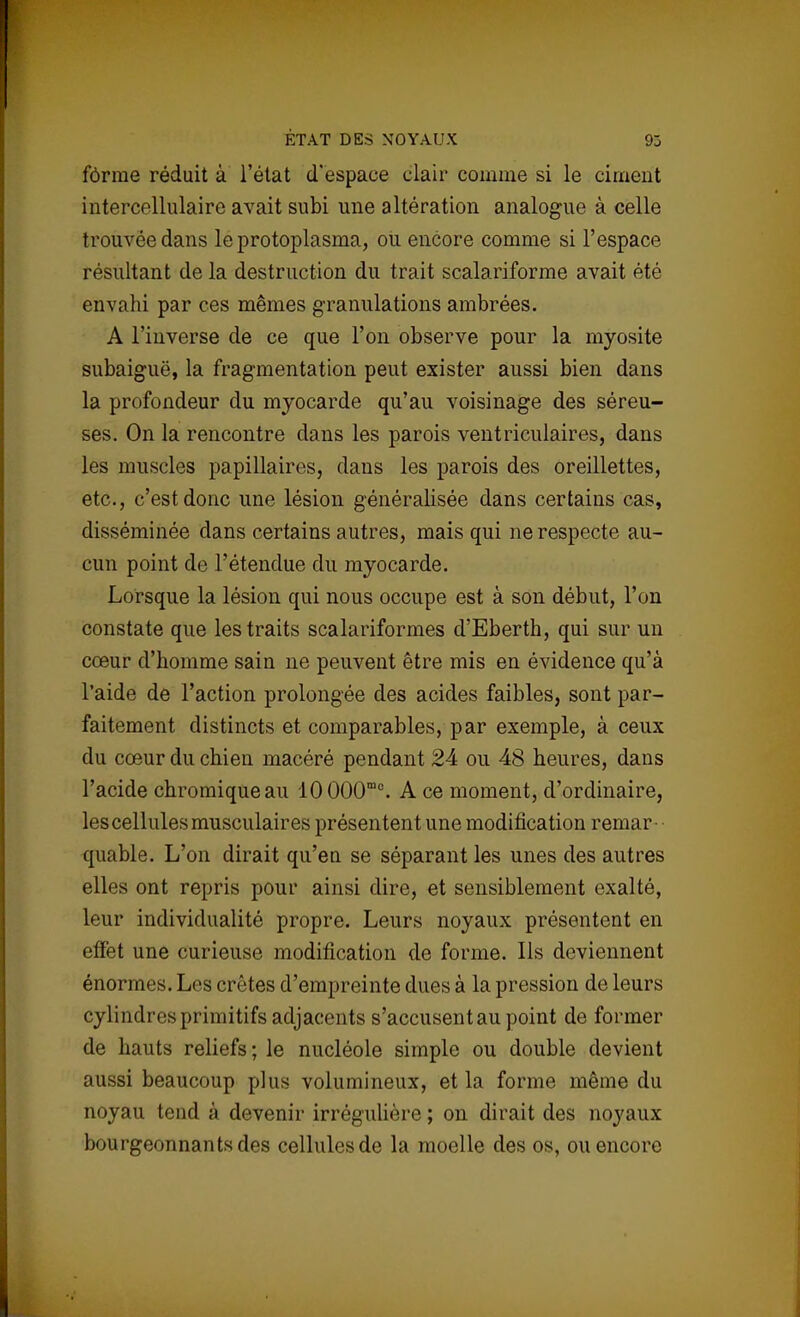 ÉTAT DES NOYAUX 93 forme réduit à l'état d'espace clair comme si le ciment intercellulaire avait subi une altération analogue à celle trouvée dans le protoplasma, ou encore comme si l'espace résultant de la destruction du trait scalariforme avait été envahi par ces mêmes granulations ambrées. A l'inverse de ce que l'on observe pour la myosite subaiguë, la fragmentation peut exister aussi bien dans la profondeur du myocarde qu'au voisinage des séreu- ses. On la rencontre dans les parois ventriculaires, dans les muscles papillaires, dans les parois des oreillettes, etc., c'est donc une lésion généralisée dans certains cas, disséminée dans certains autres, mais qui ne respecte au- cun point de l'étendue du myocarde. Lorsque la lésion qui nous occupe est à son début, l'on constate que les traits scalariformes d'Eberth, qui sur un cœur d'homme sain ne peuvent être mis en évidence qu'à l'aide de l'action prolongée des acides faibles, sont par- faitement distincts et comparables, par exemple, à ceux du cœur du chien macéré pendant 24 ou 48 heures, dans l'acide chromiqueau 10000mo. A ce moment, d'ordinaire, les cellules musculaires présentent une modification remar• ■ quable. L'on dirait qu'eu se séparant les unes des autres elles ont repris pour ainsi dire, et sensiblement exalté, leur individualité propre. Leurs noyaux présentent en effet une curieuse modification de forme. Ils deviennent énormes. Les crêtes d'empreinte dues à la pression de leurs cylindres primitif s adjacents s'accusent au point de former de hauts reliefs ; le nucléole simple ou double devient aussi beaucoup plus volumineux, et la forme même du noyau tend à devenir irrégulière ; on dirait des noyaux bourgeonnants des cellules de la moelle des os, ou encore