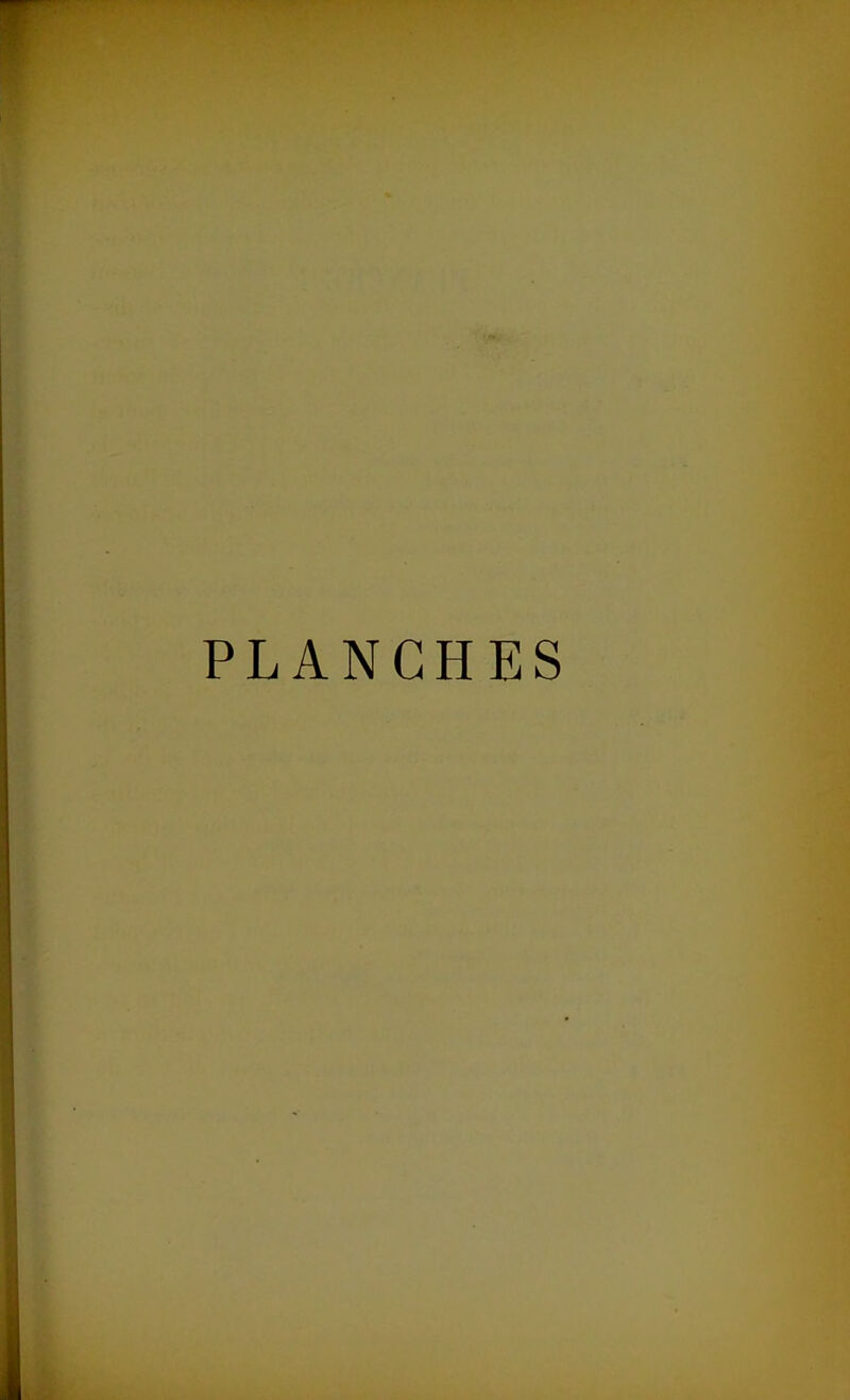 m PLANCHES