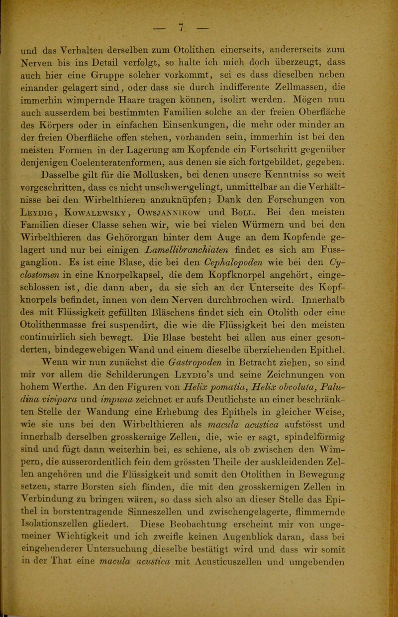 und das Verhalten derselben zum Otolithen einerseits, andererseits zum Nerven bis ins Detail verfolgt, so halte ich mich doch überzeugt, dass auch hier eine Gruppe solcher vorkommt, sei es dass dieselben neben einander gelagert sind, oder dass sie durch indifferente Zellmassen, die immerhin wimpernde Haare tragen können, isolirt werden. Mögen nun auch ausserdem bei bestimmten Familien solche an der freien Oberfläche des Körpers oder in einfachen Einsenkungen, die mehr oder minder an der freien Oberfläche offen stehen, vorhanden sein, immerhin ist bei den meisten Formen in der Lagerung am Kopfende ein Fortschritt gegenüber denjenigen Coelenteratenformen, aus denen sie sich fortgebildet, gegeben. Dasselbe gilt für die Mollusken, bei denen unsere Kenntniss so weit vorgeschritten, dass es nicht unschwer'gelingt, unmittelbar an die Verhält- nisse bei den Wirbelthieren anzuknüpfen: Dank den Forschungen von Leydig, Kowalewsky, Owsjannikow und Boll. Bei den meisten Familien dieser Classe sehen wir, wie bei vielen Würmern und bei den Wirbelthieren das Gehörorgan hinter dem Auge an dem Kopfende ge- lagert und nur bei einigen Lamellibranchiaten findet es sich am Fuss- ganglion. Es ist eine Blase, die bei den Cephalopoden wie bei den Cy- clostomen in eine Knorpelkapsel, die dem Kopfknorpel angehört, einge- schlossen ist, die dann aber, da sie sich an der Unterseite des Kopf- knorpels befindet, innen von dem Nerven durchbrochen wird. Innerhalb des mit Flüssigkeit gefüllten Bläschens findet sich ein Otolith oder eine Otolithenmasse frei suspendirt, die Avie die Flüssigkeit bei den meisten continuirlich sich bewegt. Die Blase besteht bei allen aus einer geson- derten, bindegewebigen Wand und einem dieselbe überziehenden Epithel. Wenn wir nun zunächst die Gastropoden in Betracht ziehen, so sind mir vor allem die Schilderungen Leydig’s und seine Zeichnungen von hohem Werthe. An den Figuren von Helix pomatia, Helix obvoluta, Pala- dinci vivipara und impuna zeichnet er aufs Deutlichste an einer beschränk- ten Stelle der Wandung eine Erhebung des Epithels in gleicher Weise, wie sie uns bei den Wirbelthieren als macida acustica aufstösst und innerhalb derselben grosskernige Zellen, die, wie er sagt, spindelförmig sind und fügt dann weiterhin bei, es schiene, als ob zAvischen den Wim- pern, die ausserordentlich fein dem grössten Theile der auskleidenden Zel- len angehören und die Flüssigkeit und somit den Otolithen in Bewegung setzen, starre Borsten sich fänden, die mit den grosskernigen Zellen in Verbindung zu bringen wären, so dass sich also an dieser Stelle das Epi- thel in borstentragende Sinneszellen und ZAvischengelagerte, flimmernde Isolationszellen gliedert. Diese Beobachtung erscheint mir von unge- meiner Wichtigkeit und ich zAveifle keinen Augenblick daran, dass bei eingehenderer Untersuchung dieselbe bestätigt Avird und dass Avir somit in der That eine macula actisitca mit Acusticuszellen und umgebenden