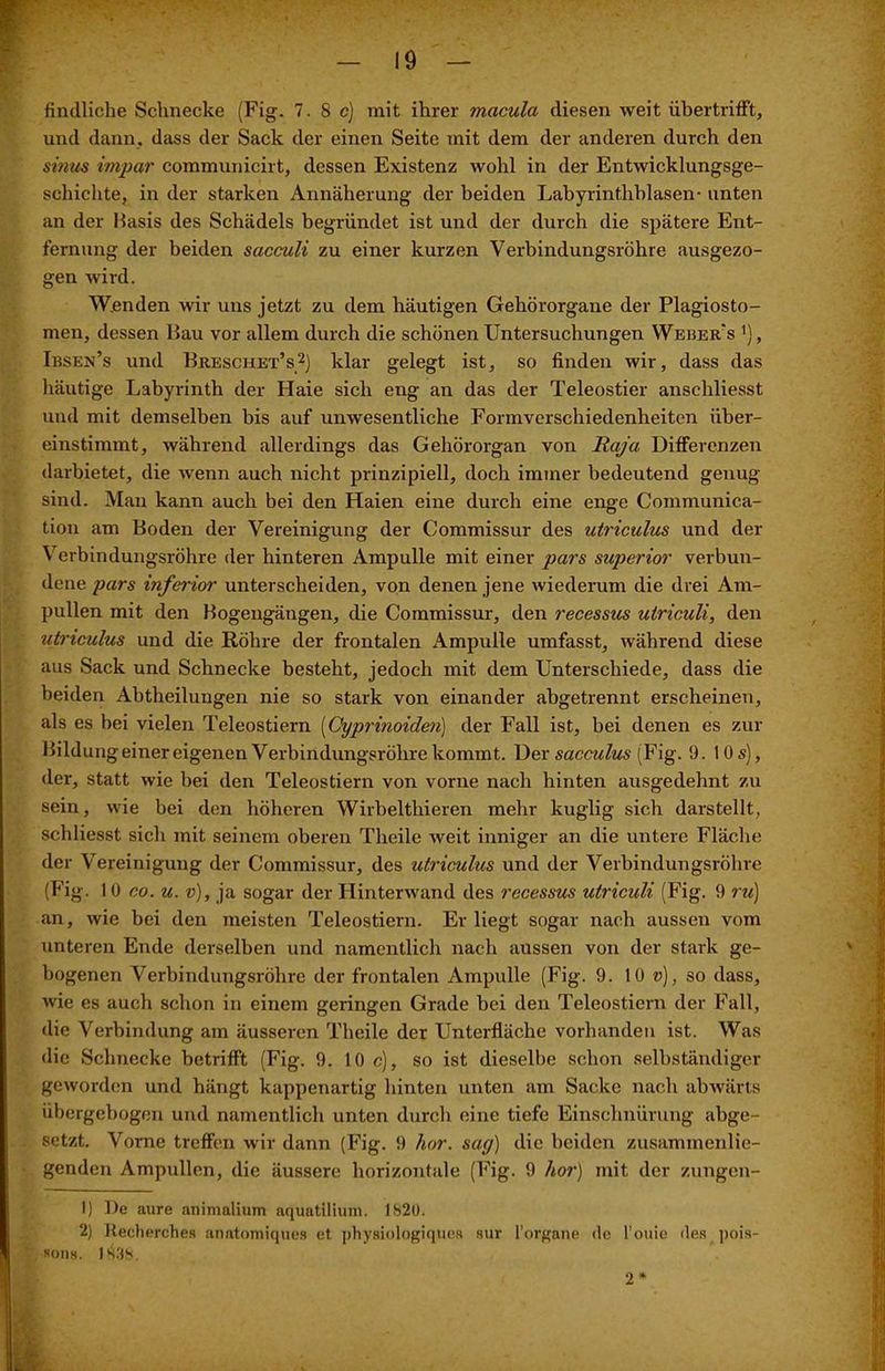 findliche Schnecke (Fig. 7.8 c) mit ihrer macula diesen weit übertrifft, und dann, dass der Sack der einen Seite mit dem der anderen durch den sinus impar communicirt, dessen Existenz wohl in der Entwicklungsge- schichte, in der starken Annäherung der beiden Labyrinthblasen- unten an der Basis des Schädels begründet ist und der durch die spätere Ent- fernung der beiden scicculi zu einer kurzen Verbindungsröhre ausgezo- gen wird. Wenden wir uns jetzt zu dem häutigen Gehörorgane der Plagiosto- men, dessen Bau vor allem durch die schönen Untersuchungen Weber's '), Ibsen’s und Breschet’s1 2) klar gelegt ist, so finden wir, dass das häutige Labyrinth der Haie sich eng an das der Teleostier anschliesst und mit demselben bis auf unwesentliche Formverschiedenheiten über- einstimmt, während allerdings das Gehörorgan von Raja Differenzen darbietet, die wenn auch nicht prinzipiell, doch immer bedeutend genug sind. Man kann auch bei den Haien eine durch eine enge Gommunica- tion am Boden der Vereinigung der Commissur des utriculus und der Verbindungsröhre der hinteren Ampulle mit einer pars superior verbun- dene pars inferior unterscheiden, von denen jene wiederum die drei Am- pullen mit den Bogengängen, die Commissur, den recessus utriculi, den utriculus und die Röhre der frontalen Ampulle umfasst, während diese aus Sack und Schnecke besteht, jedoch mit dem Unterschiede, dass die beiden Abtheilungen nie so stark von einander abgetrennt erscheinen, als es hei vielen Teleostiern (Cyprinoiden) der Fall ist, bei denen es zur Bildungeinereigenen Verbindungsröhre kommt. Der sacculus (Fig. 9. 1 Os), der, statt wie bei den Teleostiern von vorne nach hinten ausgedehnt zu sein, wie bei den höheren Wirbelthieren mehr kuglig sich darstellt, schliesst sich mit seinem oberen Theile weit inniger an die untere Fläche der Vereinigung der Commissur, des utriculus und der Verbindungsröhre (Fig. 10 co. u. v), ja sogar der Hinterwand des recessus utriculi (Fig. 9 ru) an, wie bei den meisten Teleostiern. Erliegt sogar nach aussen vom unteren Ende derselben und namentlich nach aussen von der stark ge- bogenen Verbindungsröhre der frontalen Ampulle (Fig. 9. 10 v), so dass, wie es auch schon in einem geringen Grade bei den Teleostiern der Fall, die Verbindung am äusseren Theile der Unterfläche vorhanden ist. Was die Schnecke betrifft (Fig. 9. 10 c), so ist dieselbe schon selbständiger geworden und hängt kappenartig hinten unten am Sacke nach abwärts übergebogen und namentlich unten durch eine tiefe Einschnürung abge- setzt. Vorne treffen wir dann (Fig. 9 kor. sag) die beiden zusammenlie- genden Ampullen, die äussere horizontale (Fig. 9 hör) mit der zungen- 1) De aure animalium aquatilium. 1820. 2) Recherches anatomiques et physiologiqueR sur l’organe de l’ouie des pois- sons. G3S. 2*