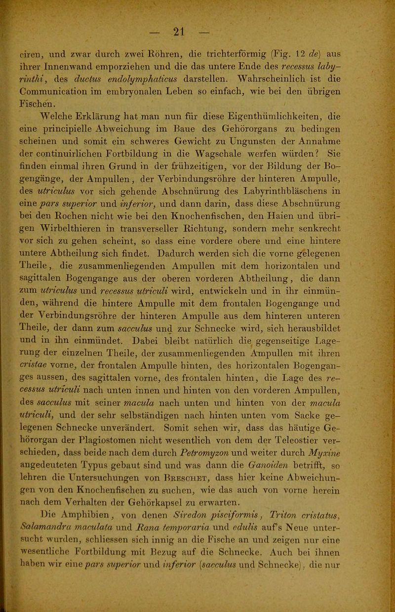ciren, und zwar durch zwei Röhren, die trichterförmig (Fig. 12 de) aus ihrer Innenwand emporziehen und die das untere Ende des recessus laby- rinthi, des ductus endolymphaticus darstellen. Wahrscheinlich ist die Communication im embryonalen Leben so einfach, wie bei den übrigen Fischen. / Welche Erklärung hat man nun für diese Eigenthümlichkeiten, die eine principielle Abweichung im Raue des Gehörorgans zu bedingen scheinen und somit ein schweres Gewicht zu Ungunsten der Annahme der continuirlichen Fortbildung in die Wagschale werfen würden? Sie finden einmal ihren Grund in der frühzeitigen, vor der Bildung der Bo- gengänge, der Ampullen, der Verbindungsröhre der hinteren Ampulle, des utriculus vor sich gehende Abschnürung des Labyrinthbläschens in eine pars superior und inferior, und dann darin, dass diese Abschnürung bei den Rochen nicht wie bei den Knochenfischen, den Haien und übri- gen Wirbelthieren in transverseller Richtung, sondern mehr senkrecht vor sich zu gehen scheint, so dass eine vordere obere und eine hintere untere Abtheilung sich findet. Dadurch werden sich die vorne gelegenen Theile, die zusammenliegenden Ampullen mit dem horizontalen und sagittalen Bogengänge aus der oberen vorderen Abtheilung, die dann zum utriculus und recessus utricidi wird, entwickeln und in ihr einmün- den, während die hintere Ampulle mit dem frontalen Bogengänge und der Verbindungsröhre der hinteren Ampulle aus dem hinteren unteren Theile, der dann zum sacculus und zur Schnecke wird, sich herausbildet und in ihn einmündet. Dabei bleibt natürlich die gegenseitige Lage- rung der einzelnen Theile, der zusammenliegenden Ampullen mit ihren cnstae vorne, der frontalen Ampulle hinten, des horizontalen Bogengan- ges aussen, des sagittalen vorne, des frontalen hinten, die Lage des re- cessus utriculi nach unten innen und hinten von den vorderen Ampullen, des sacculus mit seiner macula nach unten und hinten von der macula utriculi, und der sehr selbständigen nach hinten unten vom Sacke ge- legenen Schnecke unverändert. Somit sehen wir, dass das häutige Ge- hörorgan der Plagiostomen nicht wesentlich von dem der Teleostier ver- schieden, dass beide nach dem durch Petromyzon und weiter durch Myxine angedeuteten Typus gebaut sind und was dann die Ganoiden betrifft, so lehren die Untersuchungen von Breschkt, dass hier keine Abweichun- gen von den Knochenfischen zu suchen, wie das auch von vorne herein nach dem Verhalten der Gehörkapsel zu erwarten. Die Amphibien, von denen Siredon pisciformis, Triton cristatus, Salamandra maculata und llana temporaria und edulis aufs Neue unter- sucht wurden, schliessen sich innig an die Fische an und zeigen nur eine wesentliche Fortbildung mit Bezug auf die Schnecke. Auch bei ihnen haben wir eine pars superior und inferior (sacculus und Schnecke), die nur *