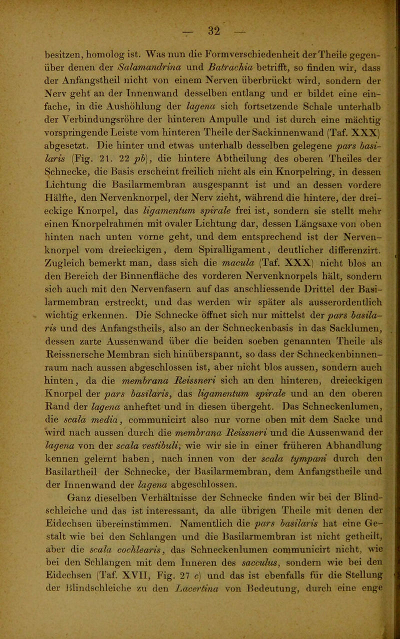 besitzen, homolog ist. Was nun die Formverschiedenheit derTheile gegen- über denen der Salamandrina und Batrachia betrifft, so finden wir, dass der Anfangstheil nicht von einem Nerven überbrückt wird, sondern der Nerv geht an der Innenwand desselben entlang und er bildet eine ein- fache, in die Aushöhlung der lagena sich fortsetzende Schale unterhalb der Verbindungsröhre der hinteren Ampulle und ist durch eine mächtig vorspringende Leiste vom hinteren Theile der Sackinnenwand (Taf. XXX) abgesetzt. Die hinter und etwas unterhalb desselben gelegene pars basi- laris (Fig. 21. 22 pb), die hintere Abtheilung des oberen Theiles der Schnecke, die Basis erscheint freilich nicht als ein Knorpelring, in dessen Lichtung die Basilarmembran ausgespannt ist und an dessen vordere Hälfte, den Nervenknorpel, der Nerv zieht, während die hintere, der drei- eckige Knorpel, das ligamentum spirale frei ist, sondern sie stellt mehr einen Knorpelrahmen mit ovaler Lichtung dar, dessen Längsaxe von oben hinten nach unten vorne geht, und dem entsprechend ist der Nerven- knorpel vom dreieckigen, dem Spiralligament, deutlicher differenzirt. Zugleich bemerkt man, dass sich die macula (Taf. XXX) nicht blos an den Bereich der Binnenfläche des vorderen Nervenknorpels hält, sondern sich auch mit den Nervenfasern auf das anschliessende Drittel der Basi- larmembran erstreckt, und das werden wir später als ausserordentlich wichtig erkennen. Die Schnecke öffnet sich nur mittelst der pars basila- ris und des Anfangstheils, also an der Schneckenbasis in das Sacklumen, dessen zarte Aussenwand über die beiden soeben genannten Theile als Reissnersche Membran sich hinüberspannt, so dass der Schneckenbinnen- raum nach aussen abgeschlossen ist, aber nicht blos aussen, sondern auch hinten, da die membrana Reissneri sich an den hinteren, dreieckigen Knorpel der pars basilaris, das ligamentum spirale und an den oberen Rand der lagena anheftet und in diesen übergeht. Das Schneckenlumen, die scala media, communicirt also nur vorne oben mit dem Sacke und wird nach aussen durch die membrana Reissneri und die Aussenwand der lagena von der scala vestibuli, wie wir sie in einer früheren Abhandlung kennen gelernt haben, nach innen von der scala tympani durch den Basilartheil der Schnecke, der Basilarmembran, dem Anfangstheile und der Innenwand der lagena abgeschlossen. Ganz dieselben Verhältnisse der Schnecke finden wir bei der Blind- schleiche und das ist interessant, da alle übrigen Theile mit denen der Eidechsen übereinstimmen. Namentlich die pars basilaris hat eine Ge- stalt wie bei den Schlangen und die Basilarmembran ist nicht getheilt, aber die scala cochlearis, das Schneckenlumen communicirt nicht, wie bei den Schlangen mit dem Inneren des sacculus, sondern wie bei den Eidechsen (Taf. XVII, Fig. 27 c) und das ist ebenfalls für die Stellung der Blindschleiche zu den Lacerlina von Bedeutung, durch eine enge