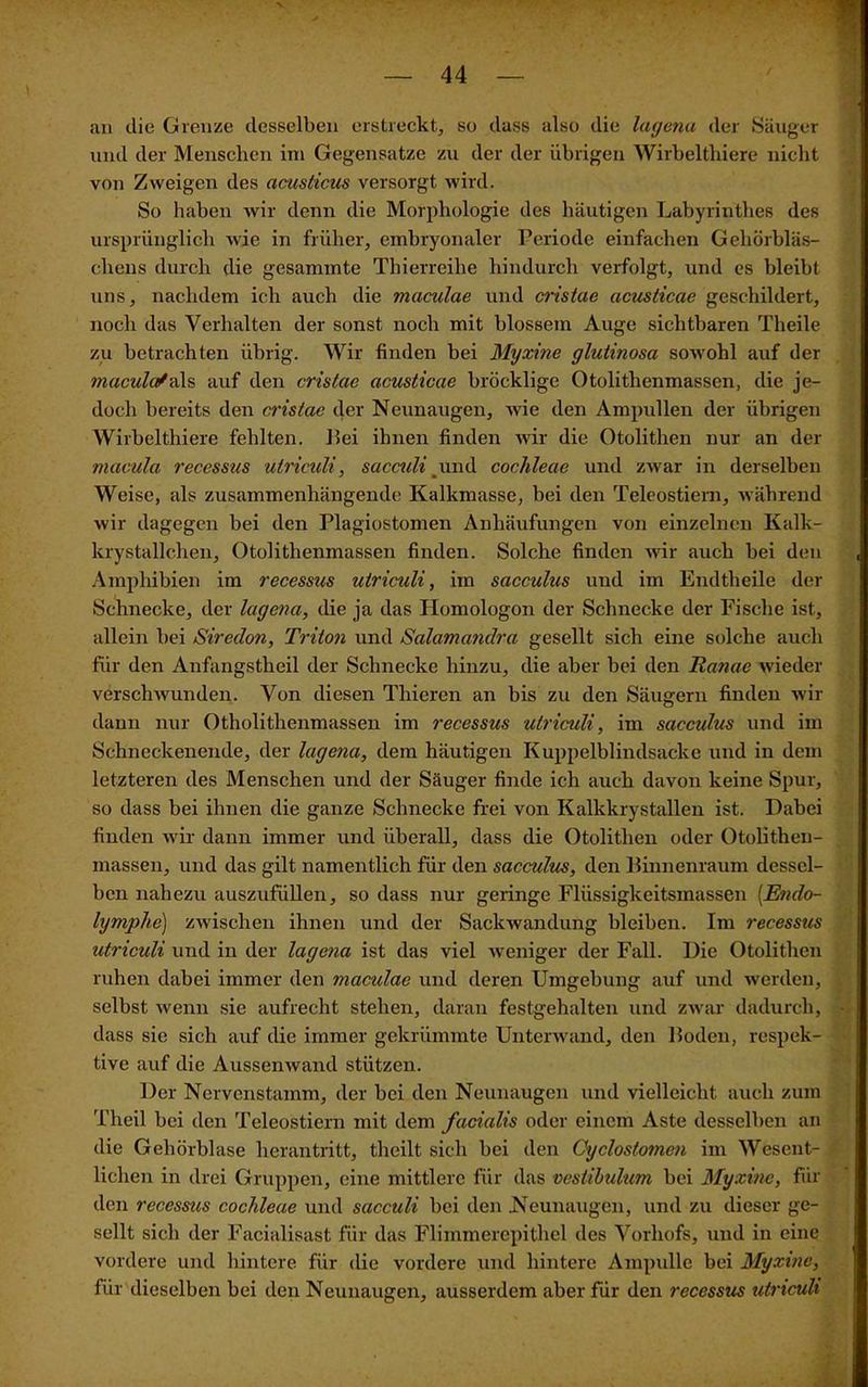 an die Grenze desselben erstreckt, so dass also die lagena der Säuger und der Menschen im Gegensätze zu der der übrigen Wirbelthiere nicht von Zweigen des acusticus versorgt wird. So haben wir denn die Morphologie des häutigen Labyrinthes des ursprünglich wie in früher, embryonaler Periode einfachen Gehörbläs- chens durch die gesammte Thierreihe hindurch verfolgt, und es bleibt uns, nachdem ich auch die maculcie und cristae ucusticae geschildert, noch das Verhalten der sonst noch mit blossem Auge sichtbaren Theile zu betrachten übrig. Wir finden bei Myxine glutinosa sowohl auf der maculatals auf den cristae acusticae bröcklige Otolithenmassen, die je- doch bereits den cristae der Neunaugen, wie den Ampullen der übrigen Wirbelthiere fehlten. Lei ihnen finden wir die Otolithen nur an der macula reccssus utriculi, sacculi _und coclileae und zwar in derselben Weise, als zusammenhängende Kalkmasse, bei den Teleostiern, während wir dagegen bei den Plagiostomen Anhäufungen von einzelnen Kalk- krystallchen, Otolithenmassen finden. Solche finden wir auch bei den , Amphibien im recessus utriculi, im sacculus und im Endtheile der Schnecke, der lagena, die ja das Homologon der Schnecke der Fische ist, allein bei Siredon, Triton und Salamandra gesellt sich eine solche auch für den Anfangstheil der Schnecke hinzu, die aber bei den Ranae wieder verschwunden. Von diesen Thieren an bis zu den Säugern finden wir dann nur Otholithenmassen im recessus utriculi, im sacculus und im Schneckenende, der lagena, dem häutigen Kuppelblindsacke und in dem letzteren des Menschen und der Säuger finde ich auch davon keine Spur, so dass bei ihnen die ganze Schnecke frei von Kalkkrystallen ist. Dabei finden wir dann immer und überall, dass die Otolithen oder Otolithen- massen, und das gilt namentlich für den sacculus, den Binnenraum dessel- ben nahezu auszufüllen, so dass nur geringe Flüssigkeitsmassen (Endo- lymphe) zwischen ihnen und der Sackwandung bleiben. Im recessus utriculi und in der lagena ist das viel weniger der Fall. Die Otolithen ruhen dabei immer den maculae und deren Umgebung auf und werden, selbst wenn sie aufrecht stehen, daran festgehalten und zwar dadurch, • dass sie sich auf die immer gekrümmte Unterwand, den Boden, respek- tive auf die Aussenwand stützen. Der Nervenstamm, der bei den Neunaugen und vielleicht auch zum Theil bei den Teleostiern mit dem facialis oder einem Aste desselben an die Gehörblase herantritt, theilt sich bei den Cyclostoinen im Wesent- lichen in drei Gruppen, eine mittlere für das vestibulum bei Myxine, für den recessus cochleae und sacculi bei den Neunaugen, und zu dieser ge- sellt sich der Facialisast für das Flimmerepithel des Vorhofs, und in eine vordere und hintere für die vordere und hintere Ampulle bei Myxine, für dieselben bei den Neunaugen, ausserdem aber für den recessus utriculi