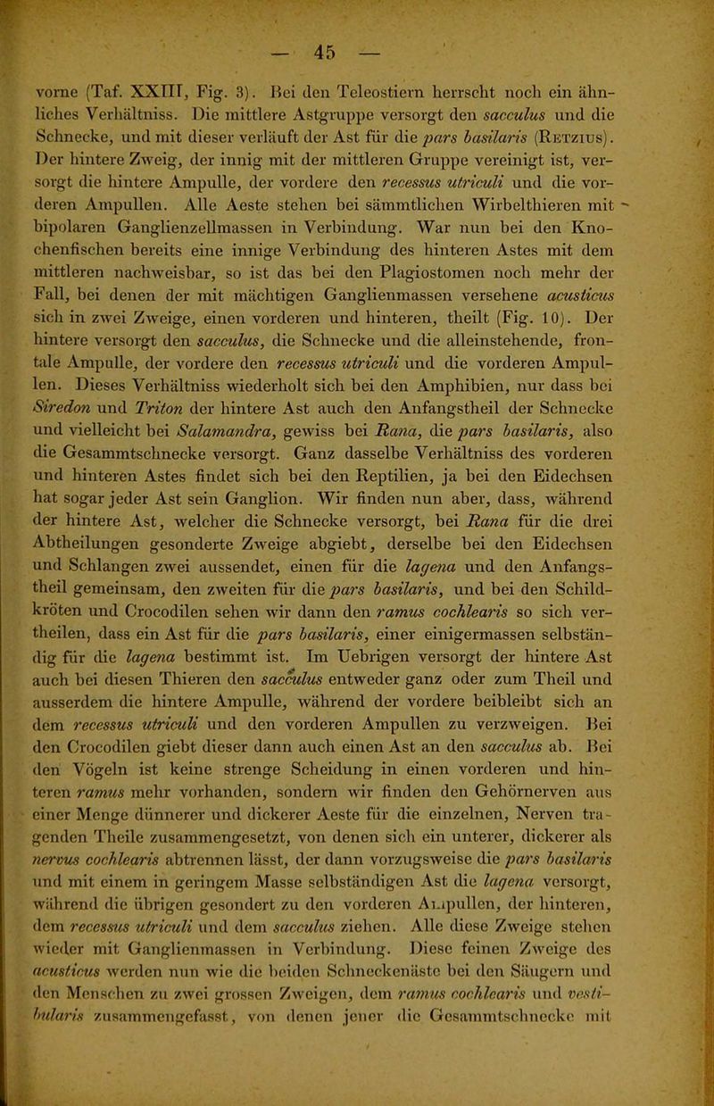 vorne (Taf. XXTIT, Fig. 3). Hei den Teleostiern herrscht noch ein ähn- liches Verhältniss. Die mittlere Astgruppe versorgt den sacculus und die Schnecke, und mit dieser verläuft der Ast für die pars basilaris (Rktzius) . Der hintere Zweig, der innig mit der mittleren Gruppe vereinigt ist, ver- sorgt die hintere Ampulle, der vordere den recessus utriculi und die vor- deren Ampullen. Alle Aeste stehen bei sämmtlichen Wirbelthieren mit - bipolaren Ganglienzellmassen in Verbindung. War nun bei den Kno- chenfischen bereits eine innige Verbindung des hinteren Astes mit dem mittleren nachweisbar, so ist das bei den Plagiostomen noch mehr der Fall, bei denen der mit mächtigen Ganglienmassen versehene acusticus sich in zwei Zweige, einen vorderen und hinteren, theilt (Fig. 10). Der hintere versorgt den sacculus, die Schnecke und die alleinstehende, fron- tale Ampulle, der vordere den recessus utriculi und die vorderen Ampul- len. Dieses Verhältniss wiederholt sich bei den Amphibien, nur dass bei Siredon und Triton der hintere Ast auch den Anfangstheil der Schnecke und vielleicht bei Salamandra, gewiss bei Rcma, die pars basilaris, also die Gesammtschnecke versorgt. Ganz dasselbe Verhältniss des vorderen und hinteren Astes findet sich bei den Reptilien, ja bei den Eidechsen hat sogar jeder Ast sein Ganglion. Wir finden nun aber, dass, während der hintere Ast, welcher die Schnecke versorgt, bei Rana für die drei Abtheilungen gesonderte Zweige abgiebt, derselbe bei den Eidechsen und Schlangen zwei aussendet, einen für die lagena und den Anfangs- theil gemeinsam, den zweiten für die pars basilaris, und bei den Schild- kröten und Crocodilen sehen wir dann den ramus cochlearis so sich ver- theilen, dass ein Ast für die pars basilaris, einer einigermassen selbstän- dig für die lagena bestimmt ist. Im Uebrigen versorgt der hintere Ast auch bei diesen Thieren den sacculus entweder ganz oder zum Theil und ausserdem die hintere Ampulle, während der vordere beibleibt sich an dem recessus utriculi und den vorderen Ampullen zu verzweigen. Hei den Crocodilen giebt dieser dann auch einen Ast an den sacculus ab. Hei den Vögeln ist keine strenge Scheidung in einen vorderen und hin- teren ramus mehr vorhanden, sondern wir finden den Gehörnerven aus einer Menge dünnerer und dickerer Aeste für die einzelnen, Nerven tra- genden Theile zusammengesetzt, von denen sich ein unterer, dickerer als nermcs cochlearis abtrennen lässt, der dann vorzugsweise die pars basilaris und mit einem in geringem Masse selbständigen Ast die lagena versorgt, während die übrigen gesondert zu den vorderen Ampullen, der hinteren, dem recessus utriculi und dem sacculus ziehen. Alle diese Zweige stehen wieder mit Ganglienmassen in Verbindung. Diese feinen Zweige des acusticus werden nun wie die beiden Schneckenästc bei den Säugern und den Menschen zu zwei grossen Zweigen, dem ramus cochlearis und vesti- bularis zusammengefasst, von denen jener die Gesammtschnecke mit J