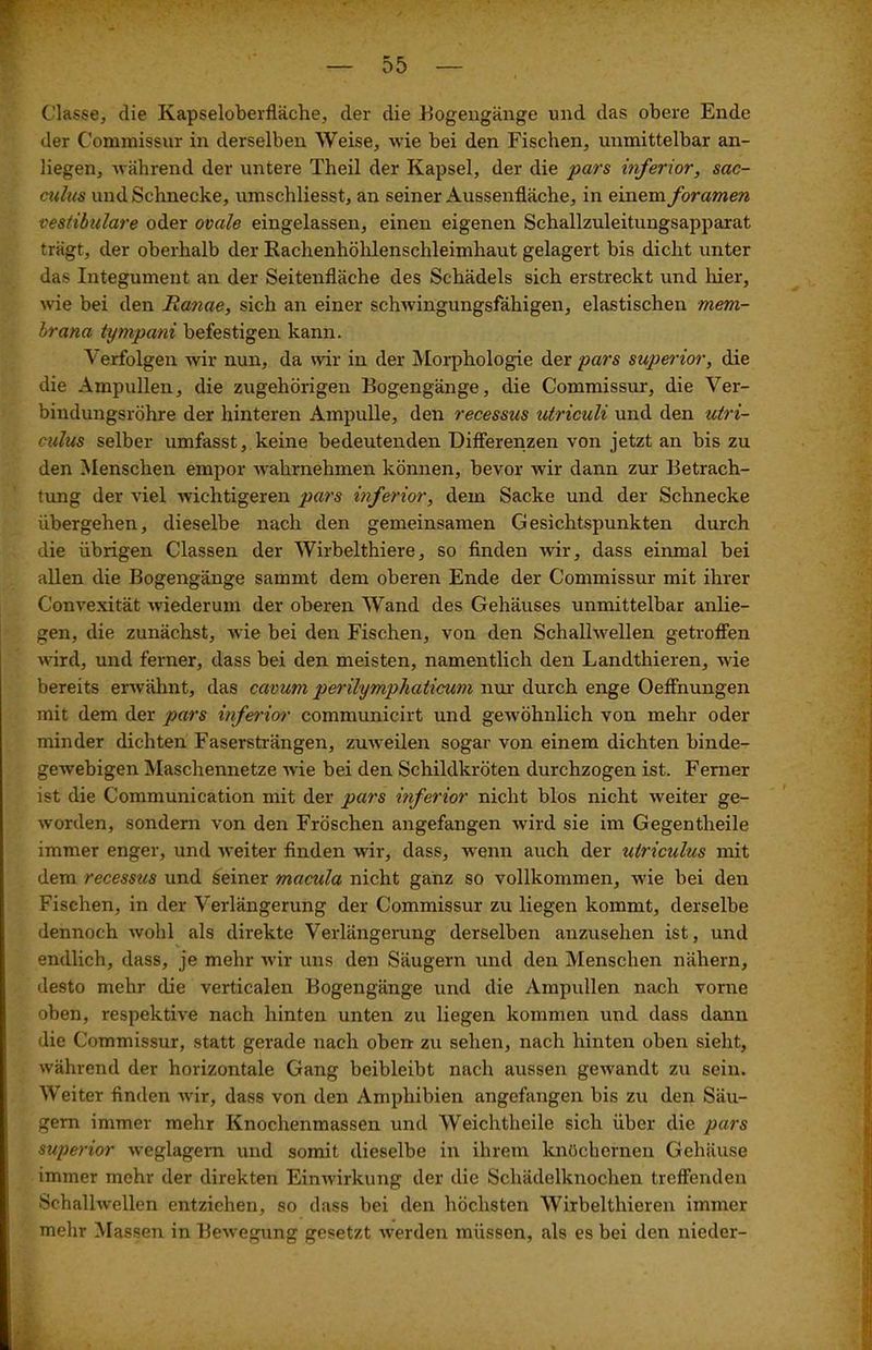 ('lasse, die Kapseloberfläche, der die Bogengänge und das obere Ende der Commissur in derselben Weise, wie bei den Fischen, unmittelbar an- liegen, während der untere Theil der Kapsel, der die pars inferior, sac- culus und Schnecke, umschliesst, an seiner Aussenfläche, in einem foramen vestibuläre oder ovale eingelassen, einen eigenen Schallzuleitungsapparat trägt, der oberhalb der Rachenhöhlenschleimhaut gelagert bis dicht unter das Integument an der Seitenfläche des Schädels sich erstreckt und hier, wie bei den Ranae, sich an einer schwingungsfähigen, elastischen mem- brana tympani befestigen kann. Verfolgen wir nun, da wir in der Morphologie der pars superior, die die Ampullen, die zugehörigen Bogengänge, die Commissur, die Ver- bindungsröhre der hinteren Ampulle, den recessus utriculi und den utri- culus selber umfasst, keine bedeutenden Differenzen von jetzt an bis zu den Menschen empor wahrnehmen können, bevor wir dann zur Betrach- tung der viel wichtigeren pars inferior, dem Sacke und der Schnecke übergehen, dieselbe nach den gemeinsamen Gesichtspunkten durch die übrigen Classen der Wirbelthiere, so finden wir, dass einmal bei allen die Bogengänge sammt dem oberen Ende der Commissur mit ihrer Convexität wiederum der oberen Wand des Gehäuses unmittelbar anlie- gen, die zunächst, wie bei den Fischen, von den Schalhvellen getroffen wird, und ferner, dass bei den meisten, namentlich den Landthieren, wie bereits erwähnt, das cavum perilymphaticum nur durch enge Oeffnungen mit dem der pars inferior communicirt und gewöhnlich von mehr oder minder dichten Fasersträngen, zuweilen sogar von einem dichten binde- gewebigen Maschennetze wie bei den Schildkröten durchzogen ist. Ferner ist die Communication mit der pars inferior nicht blos nicht weiter ge- worden, sondern von den Fröschen angefangen wird sie im Gegentheile immer enger, und weiter finden wir, dass, -wenn auch der utriculus mit dem recessus und seiner macula nicht ganz so vollkommen, wie bei den Fischen, in der Verlängerung der Commissur zu liegen kommt, derselbe dennoch wohl als direkte Verlängerung derselben anzusehen ist, und endlich, dass, je mehr wir uns den Säugern und den Menschen nähern, desto mehr die verticalen Bogengänge und die Ampullen nach vorne oben, respektive nach hinten unten zu liegen kommen und dass dann die Commissur, statt gerade nach oben zu sehen, nach hinten oben sieht, während der horizontale Gang beibleibt nach aussen gewandt zu sein. Weiter finden wir, dass von den Amphibien angefangen bis zu den Säu- gern immer mehr Knochenmassen und Weichtheile sich über die pars superior weglagern und somit dieselbe in ihrem knöchernen Gehäuse immer mehr der direkten Einwirkung der die Schädelknochen treffenden Schallwellen entziehen, so dass bei den höchsten Wirbelthieren immer mehr Massen in Bewegung gesetzt werden müssen, als es bei den nieder-