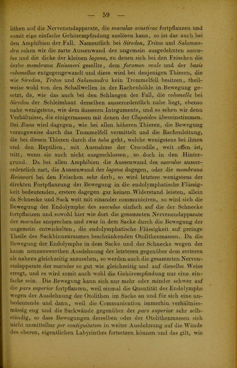lithen auf die Nervenerulapparate, die maculae acusticae fortpflanzen und somit eipe einfache Gehörempfindung auslösen kann, so ist das auch bei den Amphibien der Fall. Namentlich bei Siredon, Triton und Salaman- dra sahen wir die zarte Aussenwand des ungemein ausgedehnten saccu- lus und die dicke der kleinen lagena, zu denen sich bei den Fröschen die derbe membrana Reissneri gesellte, dem foramen ovale und der basis eolumellae entgegengewandt und diese wird bei denjenigen Thieren, die wie Siredon, Triton und Salatnandra kein Trommelfell besitzen, theil— weise wohl von den Schallwellen in der Rachenhöhle in Bewegung ge- setzt, da, wie das auch bei den Schlangen der Fall, die columella bei Siredon der Schleimhaut derselben ausserordentlich nahe liegt, ebenso nahe wenigstens, wie dem äusseren Integumente, und so sehen wir denn Verhältnisse, die einigermassen mit denen der Clupeiden übereinstimmen. Bei Rana wird dagegen, wie bei allen höheren Thieren, die Bewegung vorzugsweise durch das Trommelfell vermittelt und die Rachenleitung, die bei diesen Thieren durch die tuba geht, welche wenigstens bei ihnen und den Reptilien, mit Ausnahme der Crocodile, weit offen ist, tritt, wenn sie auch nicht ausgeschlossen, so doch in den Hinter- grund. Da bei allen Amphibien die Aussenwand des sacculus ausser- ordentlich zart, die Aussenwand der lagena dagegen, oder die membrana Reissneri bei den Fröschen sehr derb, so wird letztere wenigstens der direkten Fortpflanzung der Be-wegung in die endolymphatische Flüssig- keit bedeutenden, erstere dagegen gar keinen Widerstand leisten, allein da Schnecke und Sack weit mit einander communiciren, so wird sich die Bewegung der Endolymphe des sacculus einfach auf die der Schnecke fortpflanzen und sowohl hier wie dort die gesammten Nervenendapparate der maculae ansprechen und zwar in dem Sacke durch die Bewegung der ungemein entwickelten, die endolymphatische Flüssigkeit auf geringe Theile des Sackbinnenraumes beschränkenden Otolithenmassen. Da die Bewegung der Endolymphe in dem Sacke und der Schnecke wegen der kaum nennenswerthen Ausdehnung der letzteren gegenüber dem ersteren als nahezu gleichzeitig anzusehen, so werden auch die gesammten Nerven- endapparate der maculae so gut wie gleichzeitig und auf dieselbe Weise erregt, und es wird somit auch wohl die Gehörempfindung nur eine ein- fache sein. Die Bewegung kann sich nur mehr oder minder schwer auf die pars superior fortpflauzen, weil einmal die Quantität der Endolymphe wegen der Ausdehnung der Otolithen im Sacke an und für sich eine un- bedeutende und dann, weil die Communication immerhin verhältniss- mässig eng und die Sackwände gegenüber der pars superior sehr selb- ständig, so dass Bewegungen derselben oder der Otolithenmassen sich nicht unmittelbar per contiguitatem in weiter Ausdehnung auf die Wände des oberen, eigentlichen Labyrinthes fortsetzen können und das gilt, wie