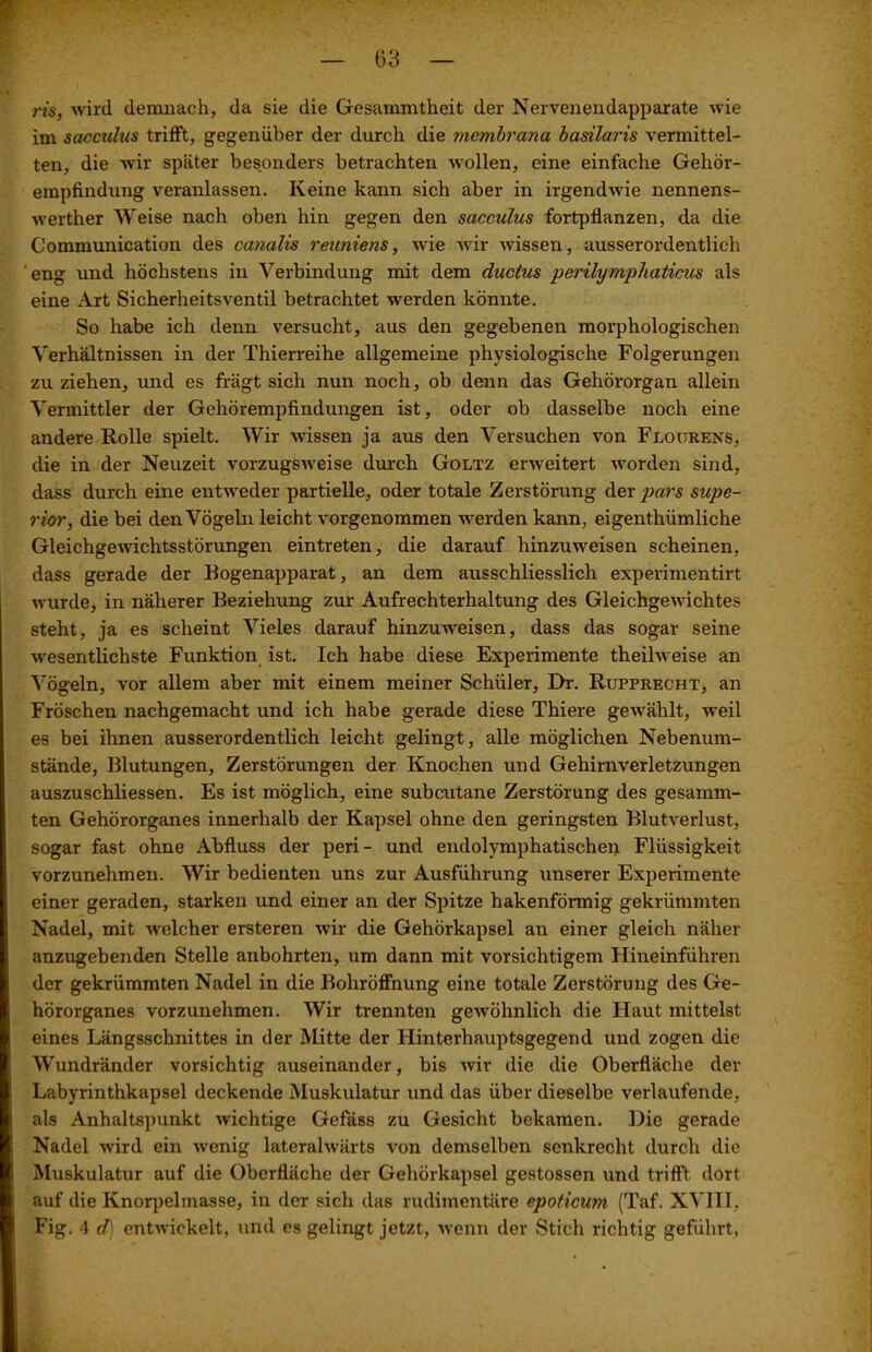 ris, wird demnach, da sie die Gesammtheit der Nervenendapparate wie im sacculus trifft, gegenüber der durch die membrana basilaris vermittel- ten, die wir später besonders betrachten wollen, eine einfache Gehör- empfindung veranlassen. Keine kann sich aber in irgendwie nennens- werther Weise nach oben hin gegen den sacculus fortpflanzen, da die Communication des canalis reuniens, wie wir wissen, ausserordentlich eng und höchstens in Verbindung mit dem ductus perilymphaticus als eine Art Sicherheitsventil betrachtet werden könnte. So habe ich denn versucht, aus den gegebenen morphologischen Verhältnissen in der Thierreihe allgemeine physiologische Folgerungen zu ziehen, und es fragt sich nun noch, ob denn das Gehörorgan allein Vermittler der Gehörempfindungen ist, oder ob dasselbe noch eine andere Rolle spielt. Wir wissen ja aus den Versuchen von Flourens, die in der Neuzeit vorzugsweise durch Goltz erweitert worden sind, dass durch eine entweder partielle, oder totale Zerstörung der pars Supe- rior, die bei den Vögeln leicht vorgenommen werden kann, eigentliiimliche Gleichgewichtsstörungen eintreten, die darauf hinzuweisen scheinen, dass gerade der Rogenapparat, an dem ausschliesslich experimentirt wurde, in näherer Beziehung zur Aufrechterhaltung des Gleichgewichtes steht, ja es scheint Vieles darauf hinzuwreisen, dass das sogar seine wesentlichste Funktion ist. Ich habe diese Experimente theilweise an Vögeln, vor allem aber mit einem meiner Schüler, Di-. Rupprecht, an Fröschen nachgemacht und ich habe gerade diese Thiere gewählt, weil es bei ihnen ausserordentlich leicht gelingt, alle möglichen Nebenum- stände, Blutungen, Zerstörungen der Knochen und Gehirnverletzungen auszuschliessen. Es ist möglich, eine subcutane Zerstörung des gesamm- ten Gehörorganes innerhalb der Kapsel ohne den geringsten Blutverlust, sogar fast ohne Abfluss der peri- und endolymphatischen Flüssigkeit vorzunehmen. Wir bedienten uns zur Ausführung unserer Experimente einer geraden, starken und einer an der Spitze hakenförmig gekrümmten Nadel, mit welcher ersteren wir die Gehörkapsel an einer gleich näher anzugebenden Stelle anbohrten, um dann mit vorsichtigem Hineinführen der gekrümmten Nadel in die Bohröffnung eine totale Zerstörung des Ge- hörorganes vorzunehmen. Wir trennten gewöhnlich die Haut mittelst eines Längsschnittes in der Mitte der Hinterhauptsgegend und zogen die Wundränder vorsichtig auseinander, bis wir die die Oberfläche der Labyrinthkapsel deckende Muskulatur und das über dieselbe verlaufende, als Anhaltspunkt wichtige Gefäss zu Gesicht bekamen. Hie gerade Nadel wird ein wenig lateralwärts von demselben senkrecht durch die Muskulatur auf die Oberfläche der Gehörkapsel gestossen und trifft dort auf die Knorpelmasse, in der sich das rudimentäre epoticum (Taf. XVIII, Fig. 4 d] entwickelt, und es gelingt jetzt, wenn der Stich richtig geführt,