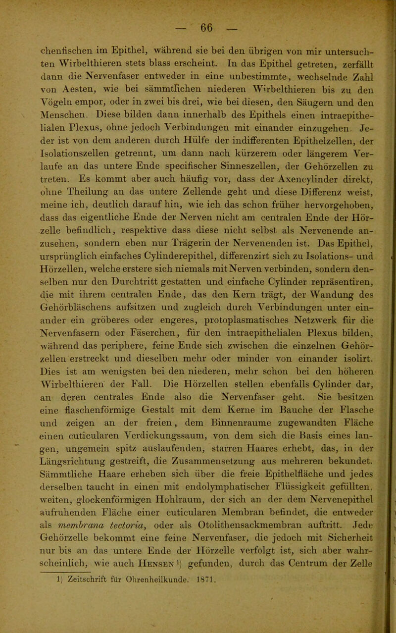 chenfischen im Epithel, während sie bei den übrigen von mir untersuch- ten Wirbelthieren stets blass erscheint. In das Epithel getreten, zerfällt dann die Nervenfaser entweder in eine unbestimmte, wechselnde Zahl von Aesten, wie bei sämmtl'ichen niederen Wirbelthieren bis zu den Vögeln empor, oder in zwei bis drei, wie bei diesen, den Säugern und den Menschen. Diese bilden dann innerhalb des Epithels einen intraepithe- lialen Plexus, ohne jedoch Verbindungen mit einander einzugehen. Je- der ist von dem anderen durch Hülfe der indifferenten Epithelzellen, der Isolationszellen getrennt, um dann nach kürzerem oder längerem Ver- laufe an das untere Ende specifischer Sinneszellen, der Gehörzellen zu treten. Es kommt aber auch häufig vor, dass der Axencylinder direkt, ohne Theilung an das untere Zellende geht und diese Differenz weist, meine ich, deutlich daraufhin, wie ich das schon früher hervorgehoben, dass das eigentliche Ende der Nerven nicht am centralen Ende der Hör- zelle befindlich, respektive dass diese nicht selbst als Nervenende an- zusehen, sondern eben nur Trägerin der Nervenenden ist. Das Epithel, ursprünglich einfaches Cylinderepithel, differenzirt sich zu Isolations- und . Hörzellen, welche erstere sich niemals mit Nerven verbinden, sondern den- selben nur den Durchtritt gestatten und einfache Cylinder repräsentiren, die mit ihrem centralen Ende, das den Kern trägt, der Wandung des Gehörbläschens aufsitzen und zugleich durch Verbindungen unter ein- ander ein gröberes oder engeres, protoplasmatisclies Netzwerk für die Nervenfasern oder Fäserchen, für den intraepithelialen Plexus bilden, während das periphere, feine Ende sich zwischen die einzelnen Gehör- zellen erstreckt und dieselben mehr oder minder von einander isolirt. Dies ist am wenigsten bei den niederen, mehr schon bei den höheren Wirbelthieren der Fall. Die Hörzellen stellen ebenfalls Cylinder dar, an deren centrales Ende also die Nervenfaser geht. Sie besitzen eine flaschenförmige Gestalt mit dem Kerne im Bauche der Flasche und zeigen an der freien, dem Binnenraume zugewandten Fläche einen cuticularen Verdickungssaum, von dem sich die Basis eines lan- . gen, ungemein spitz auslaufenden, starren Haares erhebt, das, in der Längsrichtung gestreift, die Zusammensetzung aus mehreren bekundet. Sämmtliche Haare erheben sich über die freie Epithelfläche und jedes derselben taucht in einen mit endolymphatischer Flüssigkeit gefüllten. ... weiten, glockenförmigen Hohlraum, der sich an der dem Nervenepithel aufruhenden Fläche einer cuticularen Membran befindet, die entweder als membrana tectoria, oder als Otolithensackmembran auftritt. Jede Gehörzelle bekommt eine feine Nervenfaser, die jedoch mit Sicherheit nur bis an das untere Ende der Hörzelle verfolgt ist, sich aber wahr- scheinlich, wie auch IIensex gefunden, durch das Centrum der Zelle 1) Zeitschrift für Ohrenheilkunde. 1871.