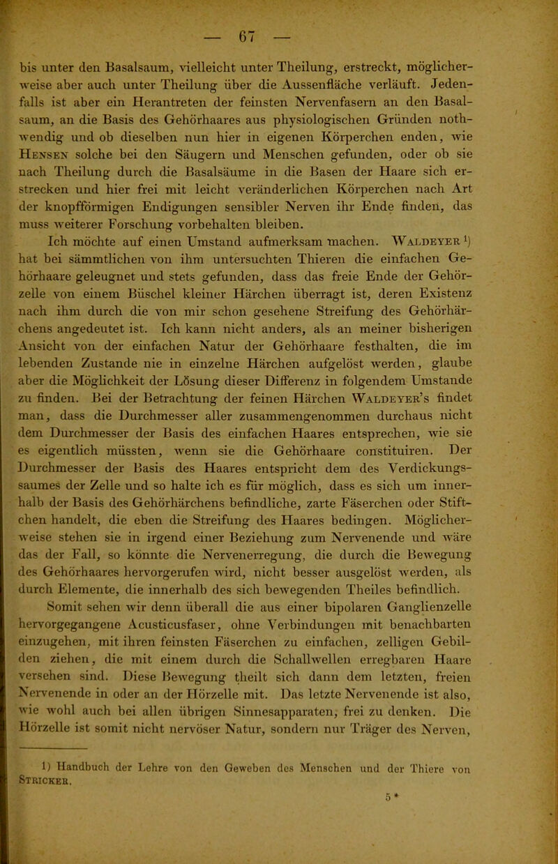 bis unter den Basalsaum, vielleicht unter Theilung, erstreckt, möglicher- weise aber auch unter Theilung über die Aussenfläche verläuft. Jeden- falls ist aber ein Herantreten der feinsten Nervenfasern an den Basal- saum, an die Basis des Gehörhaares aus physiologischen Gründen noth- wendig und ob dieselben nun hier in eigenen Körperchen enden, wie Hensen solche bei den Säugern und Menschen gefunden, oder ob sie nach Theilung durch die Basalsäume in die Basen der Haare sich er- strecken und hier frei mit leicht veränderlichen Körperchen nach Art der knopfförmigen Endigungen sensibler Nerven ihr Ende finden, das muss weiterer Forschung Vorbehalten bleiben. Ich möchte auf einen Umstand aufmerksam machen. Waldeyer1) hat bei sämmtlichen von ihm untersuchten Thieren die einfachen Ge- hörhaare geleugnet und stets gefunden, dass das freie Ende der Gehör- zelle von einem Büschel kleiner Härchen überragt ist, deren Existenz nach ihm durch die von mir schon gesehene Streifung des Gehörhär- chens angedeutet ist. Ich kann nicht anders, als an meiner bisherigen Ansicht von der einfachen Natur der Gehörhaare festhalten, die im lebenden Zustande nie in einzelne Härchen aufgelöst werden, glaube aber die Möglichkeit der Lösung dieser Differenz in folgendem Umstande zu finden. Bei der Betrachtung der feinen Härchen Waldeyer’s findet man, dass die Durchmesser aller zusammengenommen durchaus nicht dem Durchmesser der Basis des einfachen Haares entsprechen, Avie sie es eigentlich müssten, Avenn sie die Gehörhaare constituiren. Der Durchmesser der Basis des Haares entspricht dem des Verdickungs- saumes der Zelle und so halte ich es für möglich, dass es sich um inner- halb der Basis des Gehörhärchens befindliche, zarte Fäserchen oder Stift— chen handelt, die eben die Streifung des Haares bedingen. Möglicher- Aveise stehen sie in irgend einer Beziehung zum Nervenende und Aväre das der Fall, so könnte die Nervenerregung, die durch die Bewegung des Gehörhaares hervorgerufen Avird, nicht besser ausgelöst Averden, als durch Elemente, die innerhalb des sich beAvegenden Theiles befindlich. Somit sehen Avir denn überall die aus einer bipolaren Ganglienzelle hervorgegangene Acusticusfaser, ohne Verbindungen mit benachbarten einzugehen, mit ihren feinsten Fäserchen zu einfachen, zelligen Gebil- den ziehen, die mit einem durch die Schalhvellen erregbaren Haare versehen sind. Diese BeAvegung theilt sich dann dem letzten, freien Nervenende in oder an der Hörzelle mit. Das letzte Nervenende ist also, Avie Avohl auch bei allen übrigen Sinnesapparaten, frei zu denken. Die Hörzelle ist somit nicht nervöser Natur, sondern nur Träger des Nerven, 1) Handbuch der Lehre von den Geweben des Menschen und der 'l'hiere von Stricker. 5 *