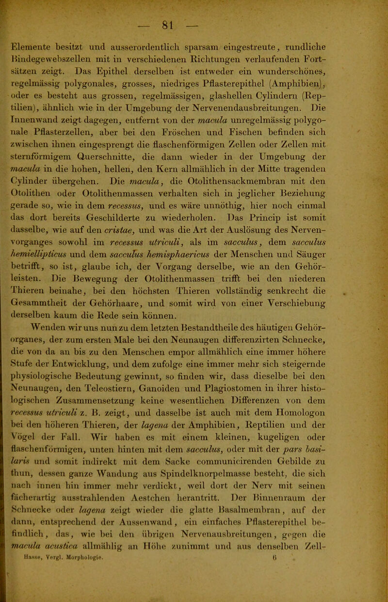 f Elemente besitzt und ausserordentlich sparsam eingestreute, rundliche Bindegewebszellen mit in verschiedenen Richtungen verlaufenden Fort- sätzen zeigt. Das Epithel derselben ist entweder ein wunderschönes, regelmässig polygonales, grosses, niedriges Pflasterepithel (Amphibien), oder es besteht aus grossen, regelmässigen, glashellen Cylindern (Rep- tilien), ähnlich wie in der Umgebung der Nervenendausbreitungen. Die Innenwand zeigt dagegen, entfernt von der macula unregelmässig polygo- nale Pflasterzellen, aber bei den Fröschen und Fischen befinden sich zwischen ihnen eingesprengt die flaschenförmigen Zellen oder Zellen mit sternförmigem Querschnitte, die dann wieder in der Umgebung der macula in die hohen, hellen, den Kern allmählich in der Mitte tragenden Cylinder übergehen. Die macula, die Otolithensackmembran mit den Otolithen oder Otolithenmassen verhalten sich in jeglicher Beziehung gerade so, wie in dem recessus, und es wäre unnöthig, hier noch einmal das dort bereits Geschilderte zu wiederholen. Das Princip ist somit dasselbe, wie auf den cristae, und was die Art der Auslösung des Nerven- vorganges sowohl im recessus utriculi, als im sacculus, dem sacculus hemiellipticus und dem sacculus hemisphaericus der Menschen und Säuger betrifft, so ist, glaube ich, der Vorgang derselbe, wie an den Gehör- leisten. Die Bewegung der Otolithenmassen trifft bei den niederen Thieren beinahe, bei den höchsten Thieren vollständig senkrecht die Gesammtheit der Gehörhaare, und somit wird von einer Verschiebung derselben kaum die Rede sein können. Wenden wir uns nun zu dem letzten Bestandteile des häutigen Gehör- organes, der zum ersten Male bei den Neunaugen differenzirten Schnecke, die von da an bis zu den Menschen empor allmählich eine immer höhere Stufe der Entwicklung, und dem zufolge eine immer mehr sich steigernde physiologische Bedeutung gewinnt, so finden wir, dass dieselbe bei den Neunaugen, den Teleostiern, Ganoiden und Plagiostomen in ihrer histo- logischen Zusammensetzung keine wesentlichen Differenzen von dem recessus utriculi z. B. zeigt, und dasselbe ist auch mit dem Homologon bei den höheren Thieren, der lagena der Amphibien, Reptilien und der Vögel der Fall. Wir haben es mit einem kleinen, kugeligen oder flaschenförmigen, unten hinten mit dem sacculus, oder mit der pars basi- laris und somit indirekt mit dem Sacke communicirenden Gebilde zu thun, dessen ganze Wandung aus Spindelknorpelmasse besteht, die sich nach innen hin immer mehr verdickt, weil dort der Nerv mit seinen fächerartig ausstrahlenden Aestchen herantritt. Der Binnenraum der Schnecke oder lagena zeigt wieder die glatte Basalmembran, auf der dann, entsprechend der Aussenwand, ein einfaches Pflasterepithel be- findlich, das, wie bei den übrigen Nervenausbreitungen, gegen die macula acustica allmählig an Höhe zunimmt und aus denselben Zell- Hasfie, Yergl. Morphologie. (i