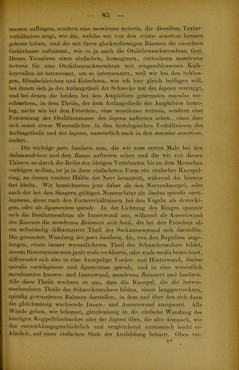 nrassen aufliegen, sondern eine membrana tectoria, die dieselben Textur- verhältnisse zeigt, wie die, welche wir von den cristae acusticae kennen gelernt haben, und die mit ihren glockenförmigen Räumen die einzelnen Gehörhaare aufnimmt, wie es ja auch die Otolithensackmembran tliut. Dieses Vicariiren einer einfachen, homogenen, cuticularen membrana tectoria für eine Otolithensackmembran mit eingeschlossenen Kalk- krystallen ist interessant, um so interessanter, weil wir hei den Schlan- gen, Blindschleichen und Eidechsen, wie ich hier gleich beifügen will, bei denen sich ja der Anfangstheil der Schnecke mit d,er lagena vereinigt, und bei denen die beiden bei den Amphibien getrennten maculae ver- schmelzen, in dem Theile, der dem Anfangstheile der Amphibien homo- log, nicht wie bei den Fröschen, eine membrana tectoria, sondern eine Fortsetzung der Otolitkenmassc der lagena auftreten sehen, ohne dass sich sonst etwas Wesentliches in den histologischen Verhältnissen des Aufangstheils und der lagena, namentlich auch in den maculae acusticae, ändert. Die wichtige pars basilaris nun, die wir zum ersten Male hei den Salamandrinae und den Ranae auftreten sehen und die wir von diesen Thieren an durch die Reihe der übrigen Vertebraten bis zu dem Menschen verfolgen wollen, ist ja in ihrer einfachsten Form ein einfacher Knorpel- ring, an dessen vordere Hälfte der Nerv herantritt, während die hintere frei bleibt. Wir bezeichueten jene daher als den Nervenknorpel, oder nach der hei den Säugern gültigen Nomenclatur als limbus spiralis carti- lagmeus, diese nach den Formverhältnissen hei den Vögeln als dreiecki- gen, oder als ligamentum spirale. In der Lichtung des Ringes spannte sich die Hasilarmembran als Innenwand aus, während als Aussenwand des Raumes die membrana Reissneri sich fand, die bei den Fröschen als ein selbständig differenzirter Theil der Sack aussenwand sich darstellte. Die gesammte Wandung der pars basilaris, die, von den Reptilien ange- fangen, einen immer wesentlicheren Theil des Schneckenrohres bildet, dessen Binnenraum man ja als scala cochlearis, oder scala media bezeichnet, differenzirt sich also in eine knorpelige Vorder- und Hinterwand, limbus spiralis cartilagineus und ligamentum spirale, und in eine wesentlich membranöse Aussen- und Innenwand, membrana Reissneri und basilaris. Alle diese Theile wachsen so aus, dass die Knorpel, die die hervor- stechendsten Theile des Schneckenrohres bilden, einen langgestreckten, spiralig gewundenen Rahmen darstellen, in dem und über den sich dann die gleichmässig wachsende Innen- und Aussenwand ausspannt. Alle Wände gehen, wie bekannt, gleichmässig in die einfache Wandung des häutigen Kuppelblindsackes oder der lagena über, die also demnach, wie das entwicklungsgeschichtlich und vergleichend anatomisch leicht er- klärlich, auf einer einfachen Stufe der Ausbildung beharrt. Oben ver- 6*