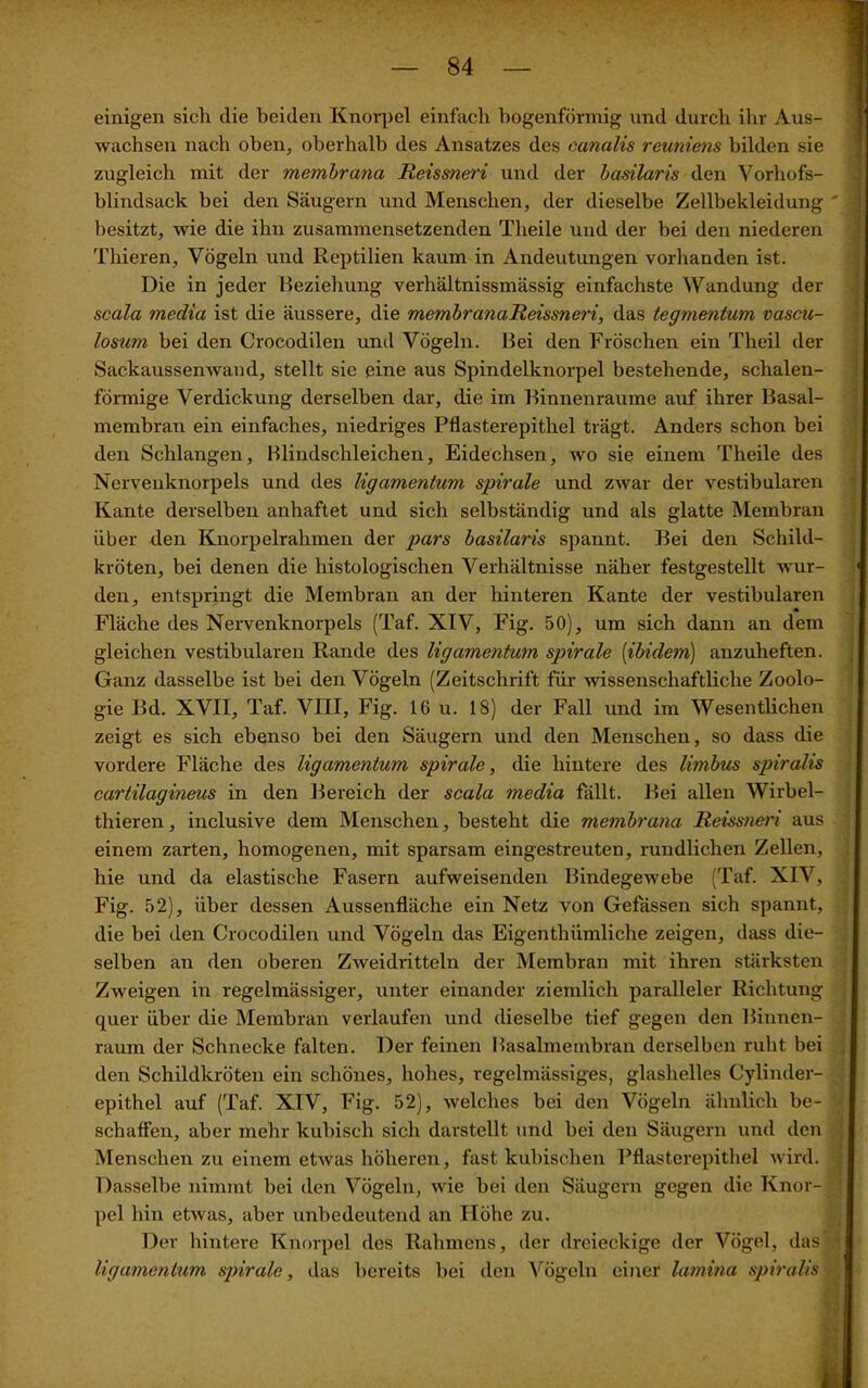 einigen sich die beiden Knorpel einfach bogenförmig und durch ihr Aus- wachsen nach oben, oberhalb des Ansatzes des canalis reuniens bilden sie zugleich mit der membrana Reissneri und der basilaris den Vorhofs- blindsack bei den Säugern und Menschen, der dieselbe Zellbekleidung ' ■ besitzt, wie die ihn zusammensetzenden Tlieile und der bei den niederen Thieren, Vögeln und Reptilien kaum in Andeutungen vorhanden ist. Die in jeder Beziehung verhältnissmässig einfachste Wandung der scala media ist die äussere, die membranaReissneri, das tegmentum vasca- losum bei den Crocodilen und Vögeln. Bei den Fröschen ein Theil der Sackaussemvand, stellt sie eine aus Spindelknorpel bestehende, schalen- förmige Verdickung derselben dar, die im Binnenraume auf ihrer Basal- membran ein einfaches, niedriges Pflasterepithel trägt. Anders schon bei den Schlangen, Blindschleichen, Eidechsen, wo sie einem Theile des Nervenknorpels und des ligamentum spirale und zwar der vestibulären Kante derselben anhaftet und sich selbständig und als glatte Membran über den Knorpelrahmen der pars basilaris spannt. Bei den Schild- kröten, bei denen die histologischen Verhältnisse näher festgestellt wur- den, entspringt die Membran an der hinteren Kante der vestibulären Fläche des Nervenknorpels (Taf. XIV, Fig. 50), um sich dann an dem gleichen vestibulären Rande des ligamentum spirale (ibidem) anzuheften. Ganz dasselbe ist bei den Vögeln (Zeitschrift für wissenschaftliche Zoolo- gie Bd. XVII, Taf. VIII, Fig. 16 u. 18) der Fall und im Wesentlichen zeigt es sich ebenso bei den Säugern und den Menschen, so dass die vordere Fläche des ligamentum spirale, die hintere des limbus spiralis cartilagineus in den Bereich der scala media fällt. Bei allen Wirbel- thieren, inclusive dem Menschen, besteht die membrana Reissneri aus einem zarten, homogenen, mit sparsam eingestreuten, rundlichen Zellen, hie und da elastische Fasern aufweisenden Bindegewebe (Taf. XIV, Fig. 52), über dessen Aussenfläche ein Netz von Gelassen sich spannt, die hei den Crocodilen und Vögeln das Eigenthiimliche zeigen, dass die- selben an den oberen Zweidritteln der Membran mit ihren stärksten Zweigen in regelmässiger, unter einander ziemlich paralleler Richtung quer über die Membran verlaufen und dieselbe tief gegen den Binnen- raum der Schnecke falten. Der feinen Basalmembran derselben ruht bei den Schildkröten ein schönes, hohes, regelmässiges, glashelles Cylinder- epithel auf (Taf. XIV, Fig. 52), welches bei den Vögeln ähnlich be- schaffen, aber mehr kubisch sich darstellt und bei den Säugern und den Menschen zu einem etwas höheren, fast kubischen Pflasterepithel wird. Dasselbe nimmt hei den Vögeln, wie bei den Säugern gegen die Knor-8 pel hin etwas, aber unbedeutend an Höhe zu. Der hintere Knorpel des Rahmens, der dreieckige der Vögel, das ; ligamentum spirale, das bereits bei den Vögeln einer lamina spiralis 1