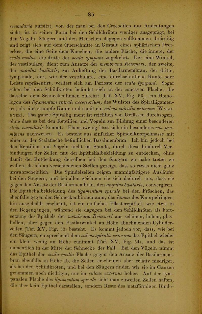 A — 85 — secundaria aufsitzt, von der man bei den Crocodilen nur Andeutungen sieht, ist in seiner Form bei den Schildkröten weniger ausgeprägt, bei den Vögeln, Säugern und den Menschen dagegen vollkommen dreiseitig und zeigt sich auf dem Querschnitte in Gestalt eines sphärischen Drei- eckes, die eine Seite dem Knochen, die andere Fläche, die innere, der scala media, die dritte der scala tympani zugekehrt. Der eine Winkel, der vestibuläre, dient zum Ansätze der membrana Reissneri, der zweite, der angulus basilaris, zur Anheftung der Basilarmembran, der dritte, tympanale, der, wie der vestibuläre, eine durchschnittene Kante oder Leiste repräsentirt, verliert sich am Perioste der scala tympani. Sogar schon bei den Schildkröten befindet sich an der concaven Fläche, die dasselbe dem Schneckenlumen zukehrt (Taf. XV, Fig. 53), ein Homo- logon des ligamentum spirale accessorium, des Wulstes des Spiralligamen- tes, als eine stumpfe Kante und somit ein sulcas spiralis externus (Wald- eyer) . Das ganze Spiralligament ist reichlich von Gefässen durchzogen, ohne dass es bei den Reptilien und Vögeln zur Bildung einer besonderen stria vascularis kommt. Ebensowenig lässt sich ein besonderes vas pro- minens nachweisen. Es besteht aus einfacher Spindelknorpelmasse mit einer an der Scalafläche befindlichen Basalmembran. Ich bin jedoch bei den Reptilien und Vögeln nicht im Stande, durch diese hindurch Ver- bindungen der Zellen mit der Epithelialbekleidung zu entdecken, ohne damit der Entdeckung derselben bei den Säugern zu nahe treten zu wollen, da ich an verschiedenen Stellen gezeigt, dass so etwas nicht ganz unwahrscheinlich. Die Spindelzellen zeigen mannigfaltigere Ausläufer bei den Säugern, und bei allen zeichnen sie sich dadurch aus, dass sie gegen den Ansatz der Basilarmembran, den angulus basilaris, convergiren. Die Epithelialbekleidung des ligamentum spirale bei den Fröschen, das ebenfalls gegen den Schneckenbinnenraum, das lumen des Knorpelringes, hin ausgehöhlt erscheint, ist ein einfaches Pflasterepithel, wie etwa in den Bogengängen, während sie dagegen bei den Schildkröten als Fort- setzung des Epithels der membrana Reissneri aus schönen, hohen, glas- hellen, aber gegen den Basilarwinkel an Höhe abnehmenden Cylinder- zellen (Taf. XV, Fig. 53) besteht. Es kommt jedoch vor, dass, wie bei den Säugern, entsprechend dem sulcus spiralis externus das Epithel wieder ein klein wenig an Höhe zunimmt (Taf. XV, Fig. 54), und das ist namentlich in der Mitte der Schnecke der Fall. Bei den Vögeln nimmt das Epithel der scala-media-YY&.c\ie gegen den Ansatz der Basilarmem- bran ebenfalls an Höhe ab, die Zellen erscheinen aber relativ niedriger, als bei den Schildkröten, und bei den Säugern finden wir sie im Ganzen genommen noch niedriger, nur im Stiletts externus höher. Auf der tym- panalen Fläche des ligamentum spirale sicht man zuweilen Zellen haften, die aber kein Epithel darstellen, sondern Reste des netzförmigen Binde-