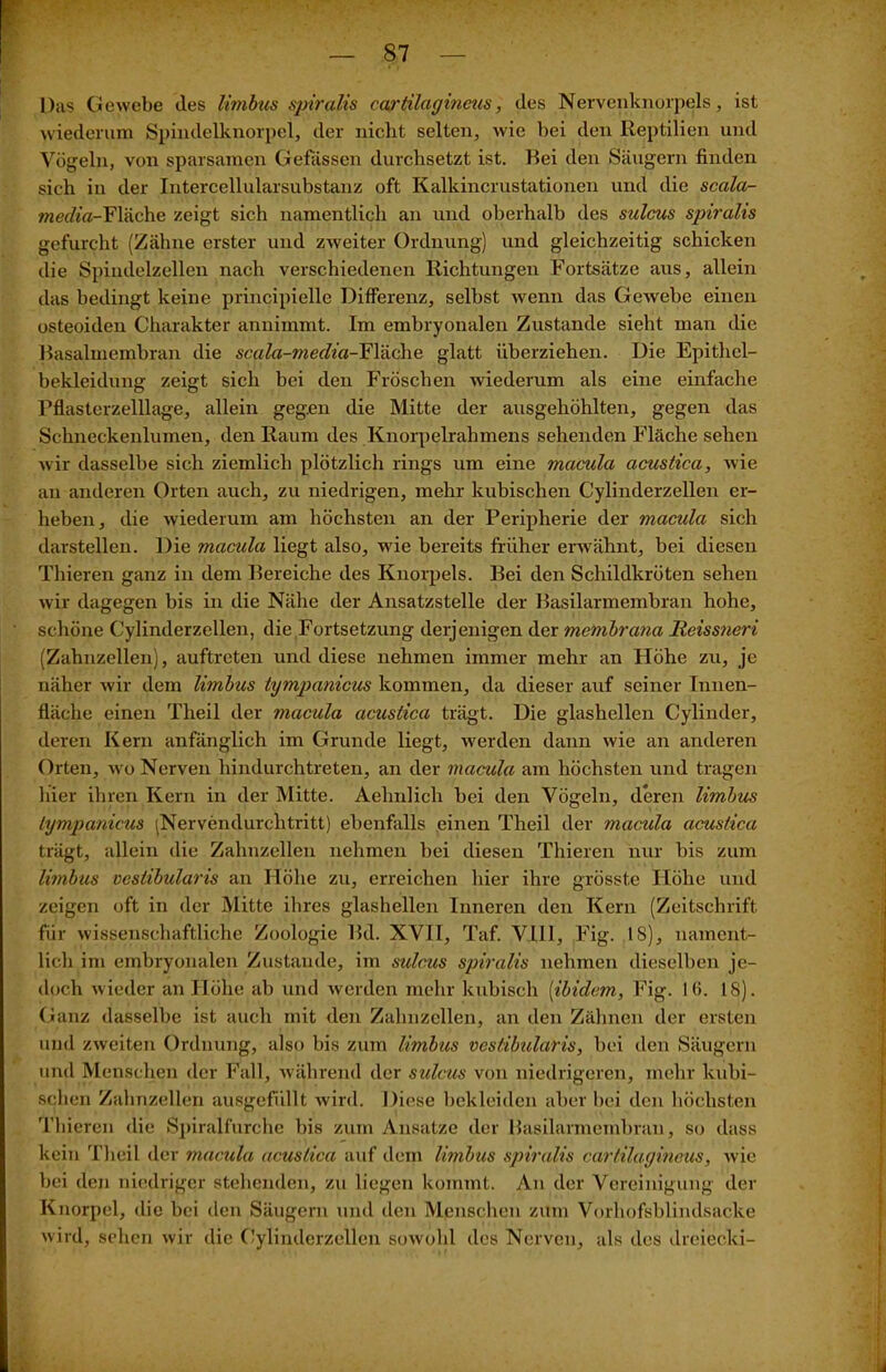 Das Gewebe des limbus sjnralis cartilagincus, des Nervenknorpels, ist wiederum Spindelknorpel, der nicht selten, wie bei den Reptilien und Vögeln, von sparsamen Gebissen durchsetzt ist. Bei den Säugern finden sich in der Intercellularsubstanz oft Kalkincrustationen und die scala- ?«e<7m-Fläche zeigt sich namentlich an und oberhalb des sulcus spiralis gefurcht (Zähne erster und zweiter Ordnung) und gleichzeitig schicken die Spindelzellen nach verschiedenen Richtungen Fortsätze aus, allein das bedingt keine principielle Differenz, selbst wenn das Gewebe einen osteoiden Charakter annimmt. Im embryonalen Zustande sieht man die Basalmembran die scala-media-Fläche glatt überziehen. Die Epithcl- bekleidung zeigt sich bei den Fröschen wiederum als eine einfache Pflasterzelllage, allein gegen die Mitte der ausgehöhlten, gegen das Schneckenlumen, den Raum des Knorpelrahmens sehenden Fläche sehen wir dasselbe sich ziemlich plötzlich rings um eine maculci acustica, wie an anderen Orten auch, zu niedrigen, mehr kubischen Cylinderzellen er- heben, die wiederum am höchsten an der Peripherie der macula sich darstellen. Die macula liegt also, wrie bereits früher erwähnt, bei diesen Thieren ganz in dem Bereiche des Knorpels. Bei den Schildkröten sehen wir dagegen bis in die Nähe der Ansatzstelle der Basilarmembran hohe, schöne Cylinderzellen, die Fortsetzung derjenigen der membrana Reissneri (Zahnzellen), auftreten und diese nehmen immer mehr an Höhe zu, je näher wir dem limbus tympanicus kommen, da dieser auf seiner Innen- fläche einen Theil der macula acustica trägt. Die glashcllen Cylinder, deren Kern anfänglich im Grunde liegt, werden dann wie an anderen Orten, wo Nerven hindurch treten, an der macula am höchsten und tragen hier ihren Kern in der Mitte. Aelmlich bei den Vögeln, deren limbus tympanicus (Nervendurclitritt) ebenfalls einen Theil der macula acustica trägt, allein die Zahnzellen nehmen bei diesen Thieren nur bis zum limbus vcstibularis an Höhe zu, erreichen hier ihre grösste Höhe und zeigen oft in der Mitte ihres glashellen Inneren den Kern (Zeitschrift für wissenschaftliche Zoologie Bd. XVII, Taf. Vll 1, Fig. IS), nament- lich im embryonalen Zustande, im sulmts spiralis nehmen dieselben je- doch wieder an Höhe ab und werden mehr kubisch (ibidem, Fig. 1 B. 18). Ganz dasselbe ist auch mit den Zahnzellen, an den Zähnen der ersten und zweiten Ordnung, also bis zum limbus vcstibularis, bei den Säugern und Menschen der Fall, während der sulcus von niedrigeren, mehr kubi- schen Zahnzellen ausgefüllt wird. Diese bekleiden aber bei den höchsten Thieren die Spiralfurche bis zum Ansätze der Basilarmembran, so dass kein Theil der macula acustica auf dem limbus spiralis cartilagincus, wie bei den niedriger stehenden, zu liegen kommt. An der Vereinigung der Knorpel, die bei den Säugern und den Menschen zum Vorhofsblindsacke wird, sehen wir die Cylinderzellen sowohl des Nerven, als des drciecki-