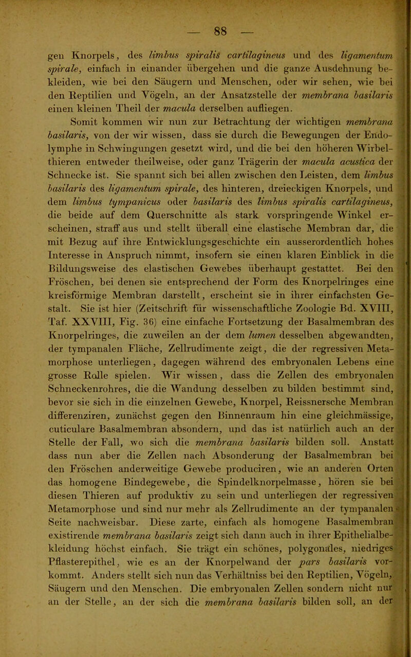 1 gen Knorpels, des limbus spiralis cartilagineus und des ligamentum spirale, einfach in einander übergehen und die ganze Ausdehnung be- : kleiden, wie bei den Säugern und Menschen, oder wir sehen, wie bei den Reptilien und Vögeln, an der Ansatzstelle der membrana basilaris einen kleinen Theil der macula derselben aufliegen. Somit kommen wir nun zur Betrachtung der wichtigen membrana basilaris, von der wir wissen, dass sie durch die Bewegungen der Endo- i lymphe in Schwingungen gesetzt wird, und die bei den höheren Wirbel- thieren entweder theilweise, oder ganz Trägerin der macula acustica der Schnecke ist. Sie spannt sich bei allen zwischen den Leisten, dem limbus basilaris des ligamentum spirale, des hinteren, dreieckigen Knorpels, und dem limbus tympanicus oder basilaris des limbus spiralis cartilagineus, die beide auf dem Querschnitte als stark vorspringende Winkel er- scheinen, straff aus und stellt überall eine elastische Membran dar, die mit Bezug auf ihre Entwicklungsgeschichte ein ausserordentlich hohes Interesse in Anspruch nimmt, insofern sie einen klaren Einblick in die Bildungsweise des elastischen Gewebes überhaupt gestattet. Bei den Fröschen, bei denen sie entsprechend der Form des Knorpelringes eine kreisförmige Membran darstellt, erscheint sie in ihrer einfachsten Ge- stalt. Sie ist hier (Zeitschrift für wissenschaftliche Zoologie Bd. XVIII, Taf. XXVIII, Fig. 36) eine einfache Fortsetzung der Basalmembran des Knorpelringes, die zuweilen an der dem lumen desselben abgewandten, der tympanalen Fläche, Zellrudimente zeigt, die der regressiven Meta- morphose unterliegen, dagegen während des embryonalen Lebens eine grosse Rolle spielen. Wir wissen, dass die Zellen des embryonalen Schneckenrohres, die die Wandung desselben zu bilden bestimmt sind, bevor sie sich in die einzelnen Gewebe, Knorpel, Reissnersche Membran differenziren, zunächst gegen den Binnenraum hin eine gleichmässige, cuticulare Basalmembran absondern, und das ist natürlich auch an der Stelle der Fall, wo sich die membrana basilaris bilden soll. Anstatt dass nun aber die Zellen nach Absonderung der Basalmembran bei den Fröschen anderweitige Gewebe produciren, wie an anderen Orten das homogene Bindegewebe, die Spindelknorpelmasse, hören sie bei diesen Thieren auf produktiv zu sein und unterliegen der regressiven Metamorphose und sind nur mehr als Zellrudimente an der tympanalen j Seite nachweisbar. Diese zarte, einfach als homogene Basalmembran existirende membrana basilaris zeigt sich dann auch in ihrer Epithelialbe- kleidung höchst einfach. Sie trägt ein schönes, polygonales, niedriges Pflasterepithel, wie es an der Knorpelwand der pars basilaris vor- kommt. Anders stellt sich nun das Verhältniss bei den Reptilien, Vögeln, Säugern und den Menschen. Die embryonalen Zellen sondern nicht nur an der Stelle, an der sich die membrana basilaris bilden soll, an der