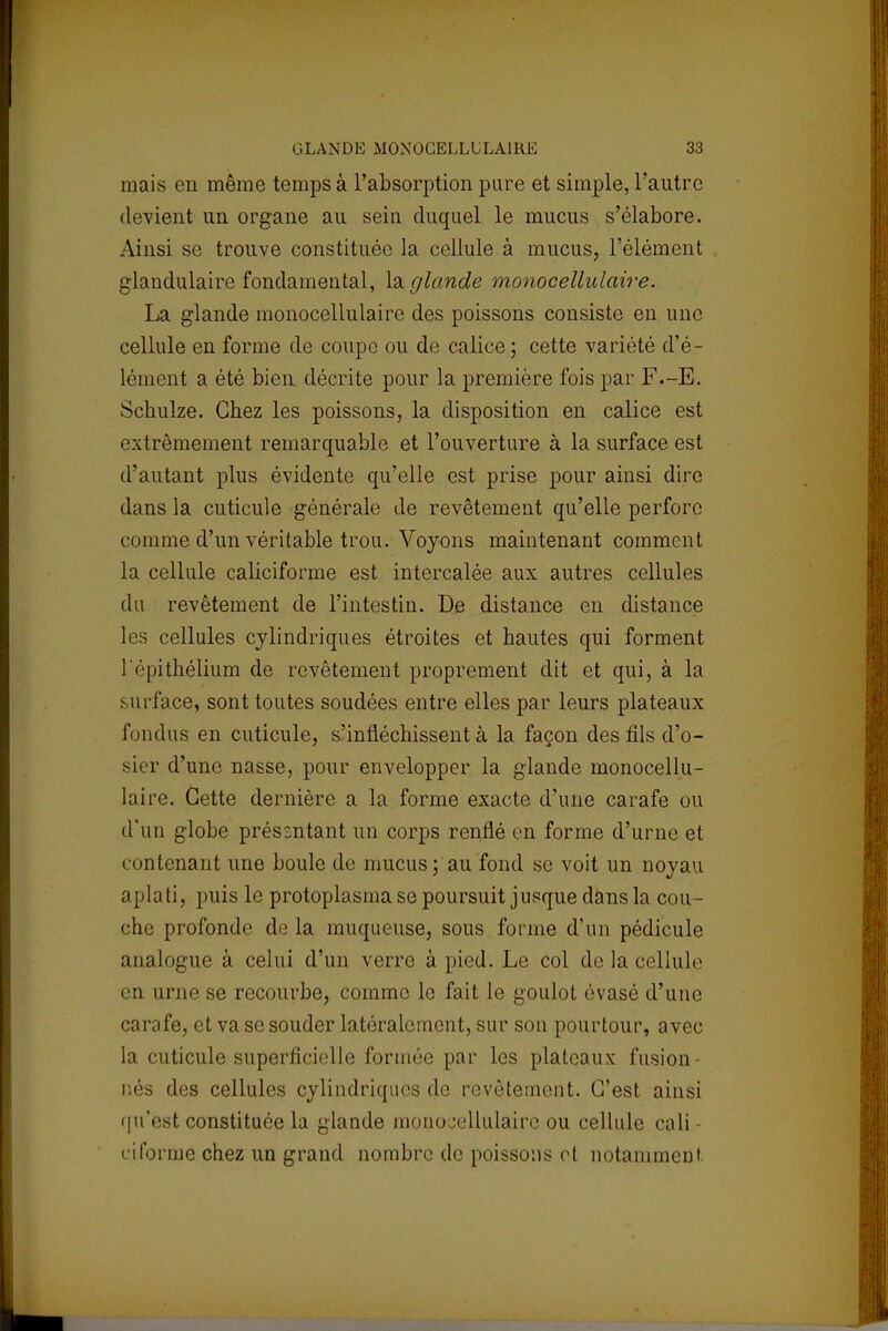 mais en même temps à l'absorption pure et simple, l'autre devient un organe au sein duquel le mucus s'élabore. Ainsi se trouve constituée la cellule à mucus, l'élément glandulaire fondamental, la glande monocellulaire. La glande monocellulaire des poissons consiste en une cellule en forme de coupe ou de calice ; cette variété d'é- lément a été bien décrite pour la première fois par F.-E. Schulze. Chez les poissons, la disposition en calice est extrêmement remarquable et l'ouverture à la surface est d'autant plus évidente qu'elle est prise pour ainsi dire dans la cuticule générale de revêtement qu'elle perfore comme d'un véritable trou. Voyons maintenant comment la cellule caliciforme est intercalée aux autres cellules du revêtement de l'intestin. De distance en distance les cellules cylindriques étroites et hautes qui forment répithélium de revêtement proprement dit et qui, à la surface, sont toutes soudées entre elles par leurs plateaux fondus en cuticule, s'infléchissent à la façon des fils d'o- sier d'une nasse, pour envelopper la glande monocellu- laire. Cette dernière a la forme exacte d'une carafe ou d'un globe présentant un corps renflé en forme d'urne et contenant une boule de mucus; au fond se voit un noyau aplati, puis le protoplasma se poursuit jusque dans la cou- che profonde de la muqueuse, sous forme d'un pédicule analogue à celui d'un verre à pied. Le col de la cellule en urne se recourbe, comme le fait le goulot évasé d'une carafe, et va se souder latéralement, sur son pourtour, avec la cuticule superficielle formée par les plateaux fusion- nés des cellules cylindriques de revêtement. C'est ainsi qu'est constituée la glande monocellulaire ou cellule cali - iiforme chez un grand nombre de poissons et notamment