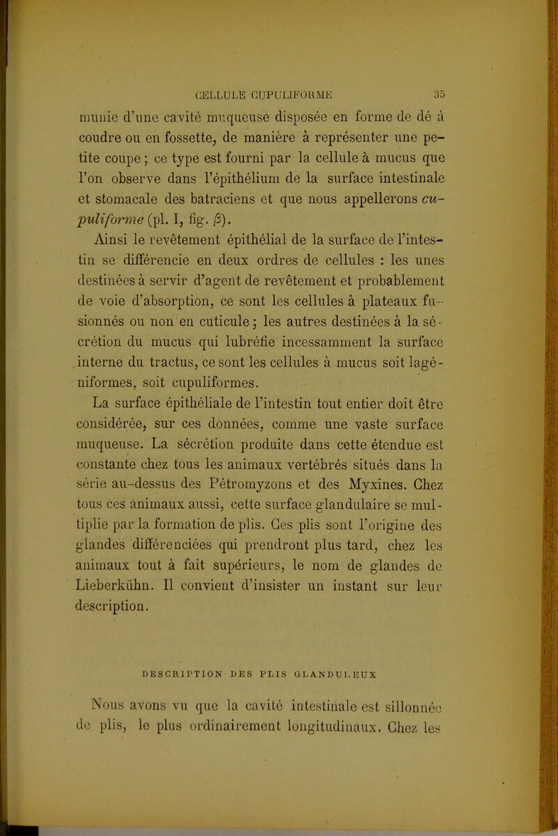 munie d'une cavité muqueuse disposée en forme de dé à coudre ou en fossette, de manière à représenter une pe- tite coupe ; ce type est fourni par la cellule à mucus que l'on observe dans l'épithélium de la surface intestinale et stomacale des batraciens et que nous appellerons cu- ■puliforme (pl. I, %. /3). Ainsi le revêtement épithélial de la surface de l'intes- tin se différencie en deux ordres de cellules : les unes destinées à servir d'agent de revêtement et probablement de voie d'absorption, ce sont les cellules à plateaux fu- sionnés ou non en cuticule ; les autres destinées à la sé - crétion du mucus qui lubréfie incessamment la surface interne du tractus, ce sont les cellules à mucus soit lagé- niformes, soit cupuliformes. La surface épithéliale de l'intestin tout entier doit être considérée, sur ces données, comme une vaste surface muqueuse. La sécrétion produite dans cette étendue est constante cbez tous les animaux vertébrés situés dans la série au-dessus des Pétromyzons et des Myxines. Chez tous ces animaux aussi, cette surface glandulaire se mul- tiplie par la formation de plis. Ces plis sont l'origine des glandes différenciées qui prendront plus tard, chez les animaux tout à fait supérieurs, le nom de glandes de Lieberkiihn. Il convient d'insister un instant sur leur description. DESCRIPTION DES PLIS GLANDULEUX Nous avons vu que la cavité intestinale est sillonnée de plis, le plus ordinairement longitudinaux. Chez les