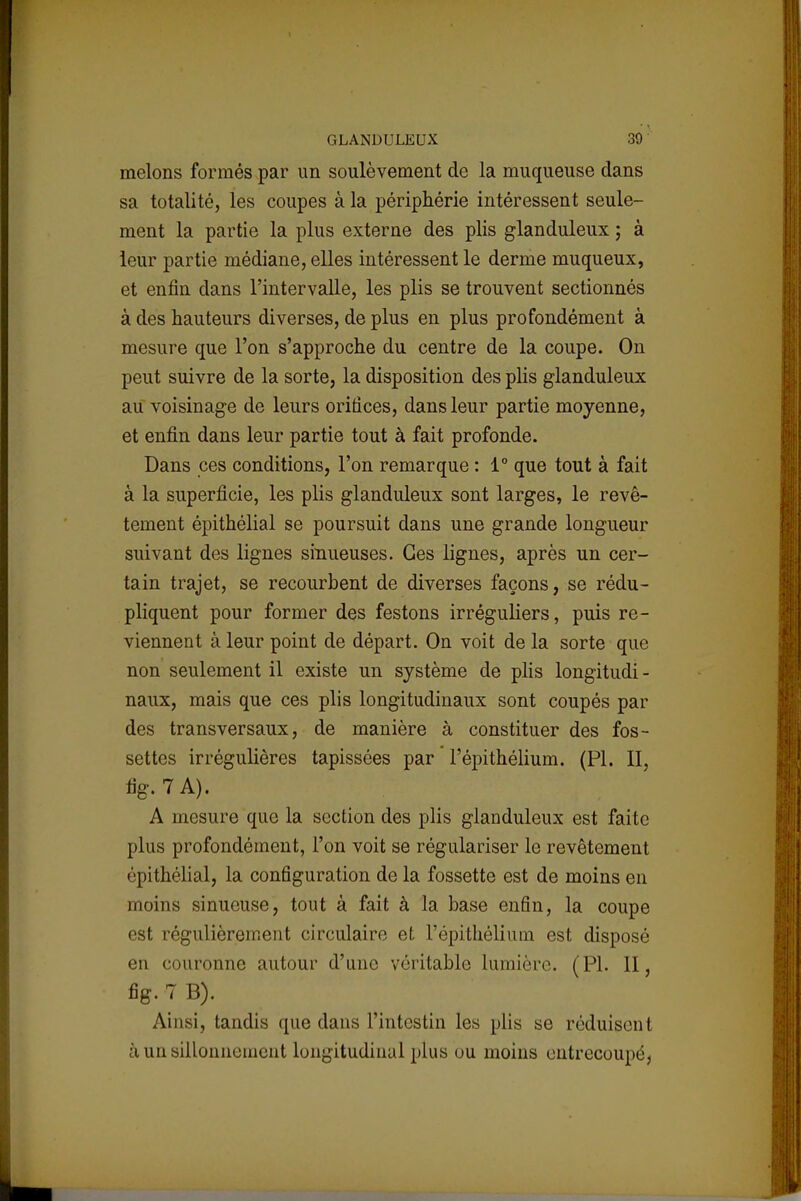 melons formés par un soulèvement de la muqueuse dans sa totalité, les coupes à la périphérie intéressent seule- ment la partie la plus externe des plis glanduleux ; à leur partie médiane, elles intéressent le derme muqueux, et enfin dans l'intervalle, les plis se trouvent sectionnés à des hauteurs diverses, de plus en plus profondément à mesure que l'on s'approche du centre de la coupe. On peut suivre de la sorte, la disposition des plis glanduleux au voisinage de leurs orifices, dans leur partie moyenne, et enfin dans leur partie tout à fait profonde. Dans ces conditions, l'on remarque : 1° que tout à fait à la superficie, les plis glanduleux sont larges, le revê- tement épithélial se poursuit dans une grande longueur suivant des lignes sinueuses. Ces lignes, après un cer- tain trajet, se recourbent de diverses façons, se rédu- pliquent pour former des festons irréguliers, puis re- viennent à leur point de départ. On voit de la sorte que non seulement il existe un système de plis longitudi - naux, mais que ces plis longitudinaux sont coupés par des transversaux, de manière à constituer des fos- settes irrégulières tapissées par l'épithélium. (Pl. II, %.7A). A mesure que la section des plis glanduleux est faite plus profondément, l'on voit se régulariser le revêtement épithélial, la configuration de la fossette est de moins en moins sinueuse, tout à fait à la base enfin, la coupe est régulièrement circulaire et l'épithélium est disposé en couronne autour d'une véritable lumière. (Pl. II, fig.TB). Ainsi, tandis que dans l'intestin les plis se réduisent à un siltonnement longitudinal plus ou moins entrecoupé,