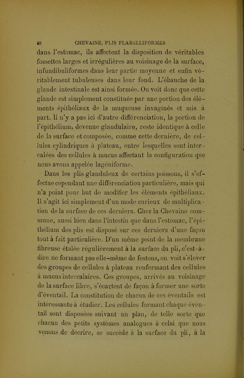 dans l'estomac, ils affectent la disposition de véritables fossettes larges et irrégulières au voisinage de la surface, infundibuliformes dans leur partie moyenne et enfin vé- ritablement tubuleuses dans leur fond. L'ébauche de la glande intestinale est ainsi formée. On voit donc que cette glande est simplement constituée par une portion des élé- ments épithéliaux de la muqueuse invaginés et mis à part. 11 n'y a pas ici d'autre différenciation, la portion de l'épithélium, devenue glandulaire, reste identique à celle de la surface et composée, comme cette dernière, de cel- lules cylindriques à plateau, entre lesquelles sont inter- calées des cellules à mucus affectant, la configuration que nous avons appelée lagéniforme. Dans les plis glanduleux de certains poissons, il s'ef- fectue cependant une différenciation particulière, mais qui n'a point pour but de modifier les éléments épithéliaux. Il s'agit ici simplement d'un mode curieux de multiplica - tion delà surface de ces derniers. Chez la Chevaine com- mune, aussi bien dans l'intestin que dans l'estomac, l'épi- thélium des plis est disposé sur ces derniers d'une façon tout à fait particulière. D'un même point de la membrane fibreuse étalée régulièrement à la surface du pli, c'est-à- dire ne formant pas elle-même de festons, on voit s'élever des groupes de cellules à plateau renfermant des cellules à mucus intercalaires. Ces groupes, arrivés au voisinage de la surface libre, s'écartent de façon à former une sorte d'éventail. La constitution de chacun de ces éventails est intéressante à étudier. Les cellules formant chaque éven tail sont disposées suivant un plan, de telle sorte que chacun des petits systèmes analogues à celui que nous venons de décrire, se succède à la surface du pli, à la